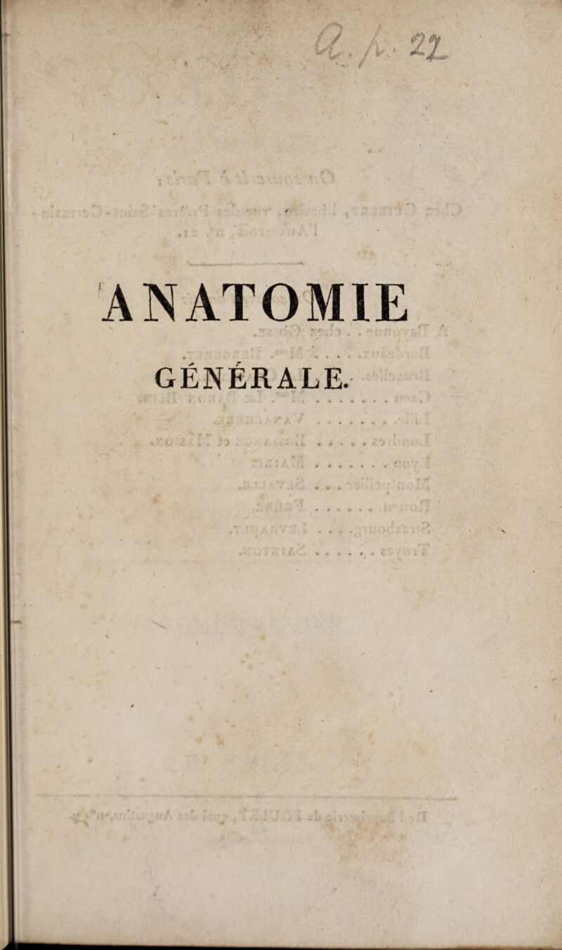 f? / ' *0*1 ‘ - / ANATOMIE « « < • GENERALE.