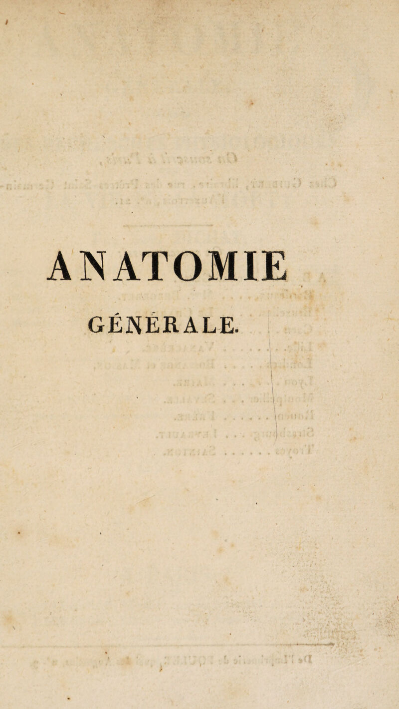 ? ANATOMIE GÉNÉRALE. • ■*.' I * , . • * , 4 * * ’ * ' ' ! V / T /