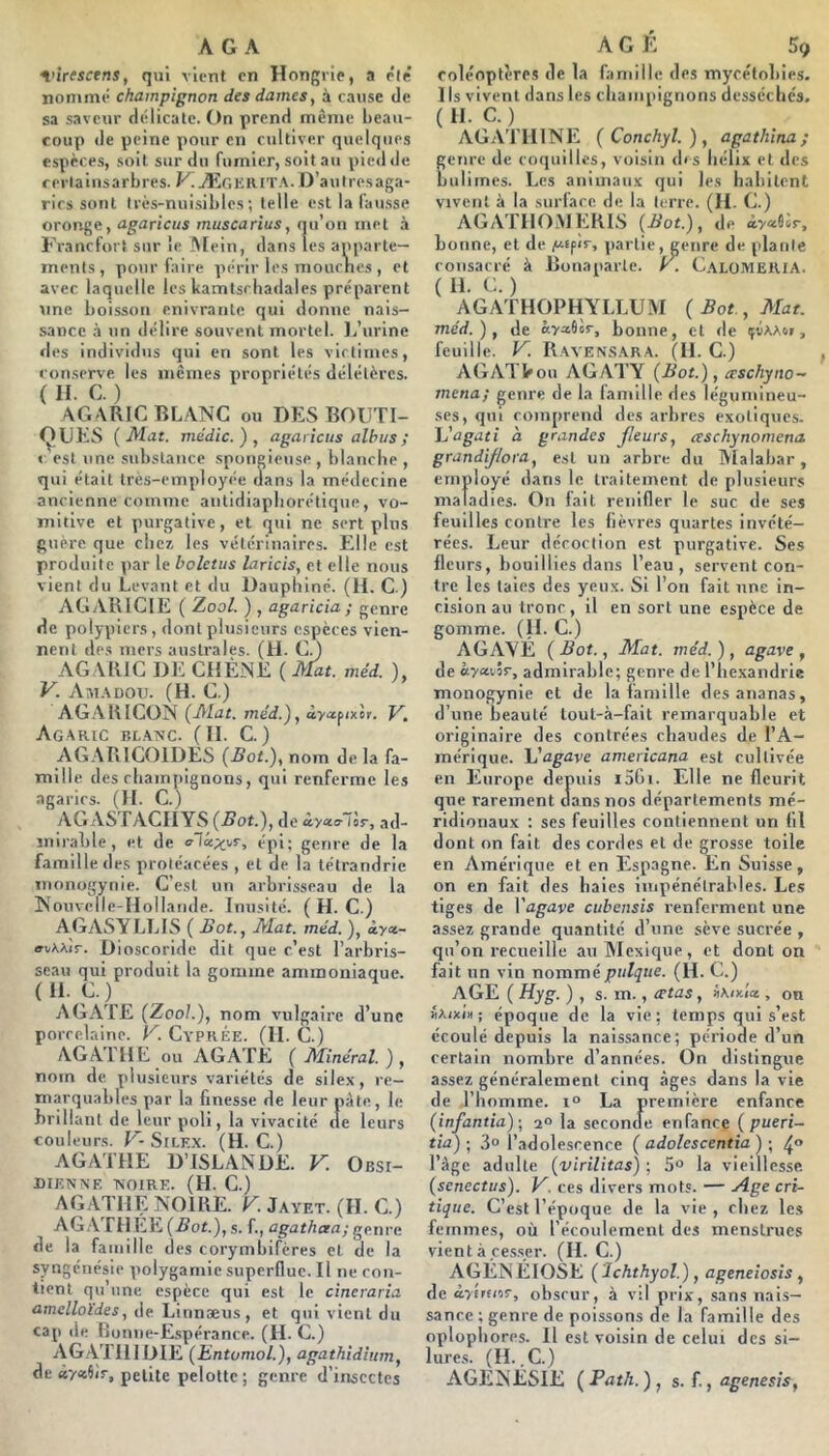 ^'irtsctns, qui vient en Hongrie, a vit nommé champignon des dames, à cause de sa saveur délicate. On prend même beau- coup de peine pour en cultiver quelques espèce.s, soit sur du furnicr, soit au pied de rerlainsarbres. KÆriKHlT.\. D’au très aga- rics sont très-nui.sil)les ; telle est la lausse oror»ge, agaricus muscarius, qu’on met à Francfort sur le Afein, dans les apparte- ments , pour faire périr les mouenes , et avec laquelle les kamtschadales préparent tine boisson enivrante qui donne nais- sance à un délire souvent mortel. lAirine des individus qui en sont les victimes, conserve les memes i)roprlétés délétères. ( H. C. ) AGARIC BL.\NC ou DES BOIJTI- ODES ( Alut. médic. ) , agaricus alhus ; c est une substance spongietise , blanche , qui était très-employée dans la médecine ancienne comme antidiapliorétique , vo- mitive et purgative, et qui ne sert plus guère que chez les vétérinaires. Elle est produite par le boletus laricis, et elle nous vient du Levant et du Dauphiné. (H, C.) AGARICIE ( Zool. ) , agaricia ; genre de polypiers, dont plusieurs espèces vien- nent des mers australes. (U. CO AGARIC DE CHENE ( Mat. méd. ), V. Am.\dou. (H. C.) AGAKICON (Jilat. méd.^, àyaipixL. F. Agaric bl.anc. (II. C. ) AGARICOIDES (.Bot.), nom de la fa- mille des champignons, qui renferme les agarics. (II. C.) AGASTACIIYS (5ot.), de àyccc-llr, ad- mirable, et de alUx'^v, épi; genre de la famille des proléacées , et de la télrandrie monogynie. C’est un arbrisseau de la Nouvelle-Hollande. Inusité. ( H. C.) AGASYLLIS ( Bot., Mat. méd. ), iya,- D ioscoride dit que c’est l’arbris- seau qui produit la gomme ammoniaque. (H. C.) AGATE (Zool.), nom vulgaire d’une porcelaine. K Cypkée. (II. C.) AGATHE ou AGATE (Minéral.), nom de plusieurs variétés de silex, re- marquables par la finesse de leur pâte, le brillant de leur poli, la vivacité (le leurs couleurs. V- StCF.X. (H. C.) AGATHE D’ISLANDE. V. Obsi- dienne NOIRE. (H. C.) AGATHE NOIRE, Jayet. (H. C.) AG.ATHEE (Bot.), s. f., agatheea; genre de la famille des corymbifères cl de la syngenésie polygamie supernuc. Il ne con- tient qu’une espèce qui est le cineraria amelloïdes, de Linnæus, et qui vient du cap de Bonue-E.spérance. (H. C.) AGATHIDIE (Entomol.), agathidium, de à'/abr, petite pelotte; genre d’insectes coléoptères de la famille des mycétobies. 1 Is vivent dans les champignons desséchés. ( H. C. ) AGATIIINE ( Conchyl. ) , agathina; genre de coquilles, voisin (bs hélix et des buliines. Les animau.x qui les habitent vivent à la surface de la terre. (H- C.) AGATHOxMERLS (Bot.), de bonne, et de partie, genre de plante consacré à Bonaparte, y. CalüMERIA. ( II. C. ) AGATHOPHYLLUM (Bot , Mat. méd.), de bonne, et de ifvAAoi, feuille, y. Ravensara. (H. C.) AGATleou AGATY (Bot.), erschyno- mena; genre de la famille des légumineu- ses, qui comprend des arbres exotiques. E'agati à grandes fleurs, ceschynomena. grandiflora, e.sl un arbre du IVIalabar, employé dans le traitement de plusieurs maladies. On fait renifler le suc de ses feuilles contre les fièvres quartes invété- rées. Leur décoction est purgative. Ses fleurs, bouillies dans l’eau, servent con- tre les taies des yeux. Si l’on fait une in- cision au tronc, il en sort une espèce de gomme. (H. C.) , AGAYÉ ( Bot., Mat. méd. ), agave , de ayctvnT, admirable; genre de l’hexandrie monogynie cl de la famille des ananas, d’une beauté loul-à-fait remarquable et originaire des contrées chaudes de l’A- mérique. y agave americana est cultivée en Europe depuis i5Gi. Elle ne fleurit que rarement dans nos départements mé- ridionaux ; ses feuilles contiennent un fil dont on fait des cordes et de grosse toile en Amérique et en Espagne. En Suisse, on en fait des haies impénétrables. Les tiges de Vagave cubensis renferment une assez grande quantité d’une sève sucrée , qu’on recueille au IMcxique, et dont on fait un vin nommépulque. (H. C.) AGE ( Hyg. ) , s. m., œtas, tiKmlii, on l'/ixi» ; époque de la vie; temps qui s’est écoulé depuis la naissance; période d’un certain nombre d’années. On distingue assez généralement cinq âges dans la vie de l’homme. i° La première enfance (infantia)-, 2° la scconcîe enfance (pueri- tia) •, 3° l’adolescence (adolescentia) •, l’àge adulte (virilitas) ; S*» la vieillesse (senectus). V. ces divers mots. — Zlge cri- tique. C’est l’époque de la vie , chez les femmes, où l’écoulement des menstrues vient à cesser. (H. C.) AGENEIOSE ( Ichthyol.), ageneiosis, de ày'irens-, obscur, à vil prix, sans nais- sance ; genre de poissons de la famille des oplophores. Il est voisin de celui des si- lures. (H. ,C.) AGENESIE (Path.) , s. f., a.genes!s,