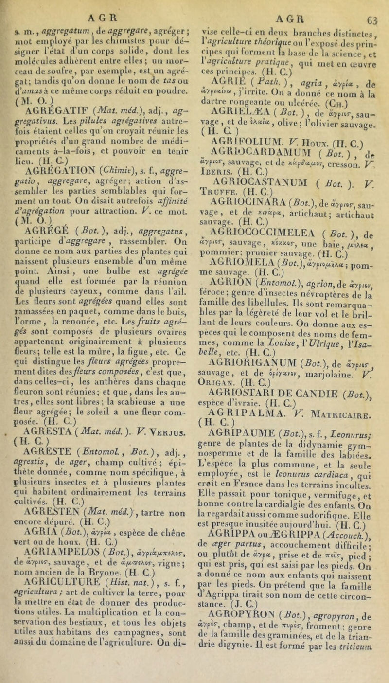9- in., aggregatum, de aggrfgare, agre'ger ; mot employé par les cliimisles pour dé- signer l’étal d’un corps solide, dont les molécules adlièrent entre elles; un luor- reau de soufre, par exemple, est un agré- gat; tandis qu’on donne le nom de tJsou d’amas à ce même corps réduit en poudre. (M. O.) AGHÈGATIF (Mat. mé</.), adj., ag~ gregativus. Les pilules agrégatives autre- fois étaient celles qu’on croyait réunir les propriétés d’un grand nombre de médi- caments à-la-fois, et pouvoir en tenir lieu. (11; G.) AGRÉGATION (Chimie), s. f., aggre- gatio, aggregare, agréger; action d'as- sembler les parties semblables qui for- ment un tout. On disait autrefois affinité d’agrégation pour attraction. É. ce mot. (M. O.)^ . AGRÉGÉ (Bot.), adj., aggregatus , participe d'aggregare , rassembler. On donne ce nom aux parties des plantes qui naissent plusieurs ensemble d’un même point. Ainsi , une bulbe est agrégée quand elle est formée par la réunion de plusieurs cayeux, comme dans l’ail. Les fleurs sont agrégées quand elles sont ramassées en paquet, comme dans le buis, l’orme , la renouée, etc. Les fruits agré- gés sont composés de plusieurs ovaires appartenant originairement à plusieurs fleurs; telle est la mûre, la ligue, etc. Ce qui distingue les fleurs agrégées propre- ment dites ries fleurs composées, c’est que, dans celles-ci, les anthères dans chaque fleuron sont réunies; et que, dans les au- tres, elles sont libres; la scabieuse a une fleur agrégée; le soleil a une fleur com- posée. (H. C.) AGRÉSTA ( Mat. méd. ). V. VerjüS. (H. C.) AGRESTE (Entomol, Bot.), adj., agrestis, de ager, champ cultivé ; épi- thète donnée, comme nom spécifique, à plu'ieurs insectes et à plusieurs plantes qui habitent ordinairement les terrains cultivés. (H. C.) AGRESTEN (Mat. méd.) , tartre non encore dépuré. (H. C.) AGRIA (Bot.), à'/pi'a , espèce de chêne vert ou de houx. (H. C.) AGRlAIVIPELÜS (Bot.), d.y^ia.wKtKitT, de âyp'ür, sauvage, et de vigne; nom ancien de la Bryone. (H. C.) AGRICULTURE (Hist.nat.), s. f., agricultura ; art de cultiver la terre, pour la mettre en étal de donner des produc- tions utiles. La multiplication et la con- servation des bestiaux, et tous les objets utiles aux habitans des campagnes, sont aussi du domaine de ragricullure. ün di- A G U C3 vise celle-ci en deux branches distinctes, \ agriculture théoriaue o\\ l’exposé des prin- cipes qui Cormenl la base de la .science, et Vagriculture pratique, qui met en œuvre ces principes, (il. C.) , AGRIE ( Far/;. ) , agria , àyfm , de , j irrite. Ou a donné ce nom à la dartre rongeante ou ulcérée. (Ch.) AGRl El..E A ( Bot. ) , de arpi^r, sau— *C ) olive ; l’olivier sauvage. AGRIKOLIUM. V. Houx. (II C ) AGRIOCARDAMUM ( Fut. ) , de ày^ar, sauvage, cl de y-Ufiaiaon, cresson. F. IcERtS. (11. C.) AGRIüCASTANUM ( Bot. ) V Truffe. (II. C.) AGRIOCINAR A (Bot.), de sau- vage , et de artichaut; artichaut sauvage. (H. C.) ^ AGRIOCOCCIMELEA (Bot.), de arf‘«r, sauvage , xGx.r, une baie, /xnAta pommier; prunier .sauvage. (II. C.) AGRIOMELA (For.},âyp/0;UÎA«; pom- me sauvage. (H. C.) AGRION (Entomol.), agrion,(ie ayfny, féroce; genre d’insectes névroptères de la famille des libellules. Ils sont remarqua— blés par la légèreté de leur vol et le bril- lant de leurs couleurs. On donne aux es- pèces qui le composent des noms de fem- mes, comme la Louise, ['Ulrique, V Isa- belle, etc. (H. C.) AGRIORIGANUM (For ), de ârp,«r, sauvage, et de ifiyaytiY, marjolaine. F.* Orig.vn. (H. C.) AGRIOSTARI DE CANDIE (Bot.), espèce d’ivraie. (II. C.) (^^ÉIPALMA. F M.\TRtCAIRE. AGRIPAUME (Bot.), s. [., Leonurus; genre de plantes de la didynamie gyrn— nospennie et de la famille des labiées. L’e.spèce la plus commune, et la seule employée, est le leonurus cardiaca, qui croit en France dans les terrains incultes. Elle pa.ssait pour tonique, vermifuge, et bonne contre la cardialgie des enfants. On la regardait aussi comme sudorifique. Elle est presque inusitée aujourd’hui. (II. C ) AGRIPPA ouÆGRlPPA (Accouch.), de reger partus, accouchement difficile; ou plutôt de àyfct, prise et de îroCr^ pied ■ qui est pris, qui est saisi par les pieds. Oiî a donné ce nom aux enfants qui naissent Sar les pieds. On prétend que la famille Agrippa lirait son nom de cette circon- stance. (.1. C.) AGROPYRON (Bot.), agropyron, Se ayper^ champ, et de irtpir, froment; genre de la famille des graminées, et de la trian- drie digynie- H est formé par les triticum.