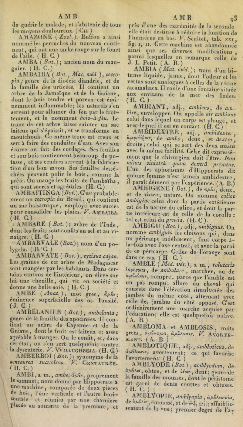 «le guérir le malade, et s’abstenir de tous lesiiiDyens douloureux. ( (jH. ) AiMAZONli (Zoo/.). Bufl’on a ainsi noininé les perruches du nouveau conti- nent, qui ont une tache rouge sur le fouet de l’aile. ( II. C. ) AMBA ( .Bot.) ; ancien nom du man- guier. (II. C. ) AINIBAI HA ( Bot., Æat. méd. ), cecro- pia ; genre de la dioécie diandrie, et de la famille des urticées. II contient un arbre de la Jamaïque et de la Guiane, dont le bois tendre et poreux est émi- nemment inflammable; les naturels s’en servent pour allumer du feu par le frot- tement, et le nomment bois-à-Jèu. Le tronc de cet arbre laisse suinter un suc laiteux qui s’ÿ)aissit, et se transforme en caoutebouk. Ce même tronc est creux et sert à faire des conduites d’eau. Avec son écorce on fait des cordages. Ses feuilles et son bois contiennent beaucoup de po- tasse , et scs cendres servent à la fabrica- tion d’un bon savon. Ses feuilles dessé- chées peuvent polir le bois, comme la prèle, ün mange les fruits de l’ambaïba, qui sont sucrés et agriUbles. (H. C.) AMBAIÏINGA (j5or.).C’est probable- ment un cecropia du Brésil, qui contient un suc balsamique, employé avec succès four consolider les plaies. Amb.MBA. II. C.) . AMBARE ( Bût. ) ■ arbre de l’Inde, dont les fruits sont conbts au sel et au vi- naigre. ( II. C. ) AMBARVALE (Bot.)j nom d’un po— lygala. (H.'C. ) AMBARVATE ( Bot. ), cytisus cajan. Les graines de cet arbre de Madagascar sont mangées par les habitants. Dans cer- tains cantons de l’intérieur, on élève sur lui une chenille, qui vit en société et donne une belle soie. ( IL C. ) AMBE (Anat.)^ mot grec, «/xC»; éminence superficielle des os. Inusité. (J. C.). AMBELAISIER (Bot.), ambelania ; genre de la famille des apocinées. Il con- tient un arbre de Cayenne et de la Gutjme, dont le fruit est laiteux et assez agréable à manger. On le confit, et, dans cet état, on s’en sert quelquefois contre la dysenterie. V. Willughbeja. (IL G.) AMBERBOI (Bot.)-, synonyme de la tentaurea suavolens. f^. Centaurée. ( II. C. ) AMBI, s. m., ambe, a^uCn, proprement le sommet; nom donné par Hippocrate à une niacbine, composée de deux pièces de bois, l’une verticale et l’autre hori- zontale et réunies par une charnière placée au sommet de la première, et A M B , près d’une des extrémités de la secoiuL «•lie Otait destinée à réduire la luxation de l’iiumérus en bas. F. Scultet, tab. xxr, lig. I, ir. Cette machine est abandonnée ainsi que ses diverses modifications , parmi lesquelles on remarque celle de J. L. Petit. (A. B.) AMBIA ( I\iat. méd. ) ; nom d’un bi- tume liquide, jaune, dont l’odenr et les vertus sont analogues à celles de la résine facamabaca. Il roule d’une fontaine située aux environs de la mer des Indes. ( H. C. ) AMBIANT, adj., ambiens, de am- bire, envelopper. On appelle air ambiant celui dans lequel un corps est plongé , et avec lequel il est en contact. (IL C.) ’ AMBIDEXTRE , adj. , ambidexter, i\e ambo, deux, Hdextra, droite ; celui qui se sert des deux mains avec la même facilité. Celse dit expressé- ment que le chirurgien doit l’être. Non Tfiiîws sinistru (Juciiti dextvu projjitus. L’un des aphorismes d’Hippocrate dit qu’une femme n’est jamais ambidextre, il parait démenti par l’expérience. (A. B.) AMBIGÉNE ( Bot. ), de «,«£«, deux, et de yivetrir, nature. On nomme calice ambigène celui dont la partie extérieure est de la nature du calice, et dont la par- tie intérieure est de celle de la corolle : tel est celui du grewia. (H. C.) AMBIGU (Bot.), adj., ambiguus. On nomme ambiguïs les cloisons qui, dans un péricarpe indéhiscent, font corps à- la-fois avec l’axe central, et avec la paroi de ce péricarpe. Celles de l’orange sont dans ce cas. ( II C. ) _ AiVIBLE (Med. vét.), s. m., tolutaris tneessus, de ambulare , marcher, ou de k/AUimt, rompre, parce que l’amble est un pas rompu; allure du cheval qui consiste dans 1 élévation simultanée des jambes du même côté , alternant avec celle des jambes du côté opposé. C’est ordinairement une marche acquise par 1 éducation; elle est quelquefois native. (A. B.) AxMBLOMA et AMBLOSIS , mots grecs , d/AZKvffir. V. AVORTE- MENT. (A. B.) , ^IBLOTIQüE, adj., ambloticus, de avortement; ce qui favorise 1 avortement.' ( H. C. ) AMBLYODE (Bot.) , amblyodum^ de obtus, et «le dent; genre de la famille des mousses, dont le péristome est garni de dents courtes et obtuses. ( H. C. ) AMBLYOPIE, amblyopia j a.[Ay\,a>aioi de «uSAir, émoussé, et de «4. œil ; affaiblis- sement de la vue ; premier degré de l’a-