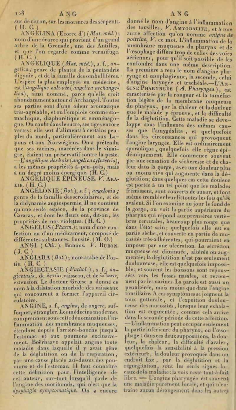 a:î^g suc (le rilron, sur les morsures des serpents. ( H. C. ) ANtiÉf.lNA (Ecorce d’) {Mat. mdd.) ; nom d’une écorce (jul provient d’un grand arbre de la Grenade, une des Antilles, et que l’on regarde comme vermifuge. (H. C.). ANGELIQUE {Mat. méd.),s. f., <m- gclica ; genre de plantes de la penlandrie digynie, et de la famille des ombcllifères. L esjtèce la plus employée en médecine est 1 angélique cultivée { angelica archange^ lica), ainsi nommé, parce qu’elle croît abondamment autour d'Arcliaiigel. Toutes ses parties sont d’une odeur aromatique très-agréable, et on l’emploie comme sto- niacbi({ue, diapborétique et einménago- giie. On confit dans le sucre, scs liges encore vertes; elle, sert d’aliments à certains peu- ples du nord, particulièrement aux La- pons cl aux Norwégieus. On a prétendu que ses racines, macérées dans le vinai- gre, étaient un préservatif contre la peste. —h'angélique desbois {angelicasylvestris), a les mêmes propriétés à-peu-pres, mais à un degré moins énergique. (H. C.) ANGÉLIQUE ÉPINEUSE. F. Ara- lie. ( H. _C. ) ANGÉLONIE {Bot.), s. f., angelonia; genre de la famille des scrofulaires, et de la didynamie angiospermie. Il ne contient (j^u’une seule espèce, de la province de Caracas , et dont les fleurs ont, dit-on , les propriétés de nos violettes. ( 11. C. ) ANGELUS {Pharm.) ; nom d’une con- fection ou d’un inédicamenl, composé de différentes substances. Inusité. (M. O.) ANGl ( Çhir.). Bubons. F. Bubon. (J. C.) ANGIARA {Bot.) ; nom arabe de l’or- tie. ( H. C. ) ANGl ECTASIE {Pathol.), s./., an- giectasis, de àwiîoi, vaisseau, et de txlaiT-ir, extension. Le docteur Grœse a donné ce nom à la dilatation morbide des vaisseaux (jui concourent à former l’appareil cir- culatoire. ANGINE, s. f., angina, de angere, suf- foquer, étrangler. Les médecins modernes comprcnnenl souscetledénomination l’in- flammation des membranes muqueuses, étendues depuis l’arrière-boucbc jusqu’à l’estomac et aux poumons exclusive- ment. Büërbaave appelait angine toute maladie dans laquelle il y avait gène de la déglutition ou de la re.^piration , par une cause placée au-dessus des pou- mons et de l’eslomar. Il faut connaître cette délinition pour l’intelligence de cet auteur, sur-tout lorsqu’il parle de l’angine des moribond.s, ijiii n e.st que la dysghagie symptomatique. On a encore AN G donné le nom d’angine à rinflammalion des tonsilles, F. AMYGDALITE, et à une aulre^ affection qu’on nomme anigne de poitrine, F. ce mot. L’inflaramat'on de la membrane muqueuse du pharynx et (le 1 œsophage diffère trop de celles des voies aériennes, pour qu’il soit possible de les confondre dans une même description. La première a reçu le nom d’angine pha- ryngé et œsophagienne, la seconde, celui d angine laryngée et trachéale.—L’An- GINE Ph.ARVNGÉe { a. Pharyngea) , est caractérisée par la rougeur et la tuméfac- tion légère de la membrane muqueuse du pharynx, par la chaleur et la douleur qm; le malade y éprouve, et la difficulté de la déglutition. Celle maladie se déve- loppe sous 1 influence des mêmes cau- ses que l’amygdalite , et quelquefois dans les circonstances qui provoquent l’angine laryngée. Elle est ordinairement sporadique , qiieliiuefois elle règne épi- deniiquement. Elle commence souvent jpar une sensation de sécheresse et de cha- leur dans la gorge , avec une douleur plus ou nioins vive qui augmente dans la dé- glutition; dans quelques cas celle douleur est portée à un tel point que les malades frémissent, sont couverts de sueur, et font même trembler leur lit tontes les fois qu’ih avalent Si l’on e.xamine au jour le fond de la gorge, on voit la partie supérieure du pharynx qui répond aux premières vertè- bres cervicales, beaucoup plus rouge que dans létal sain; quelquefois elle est eu partie sèche, et couverte en partie de mu- cosités très-adhérentes, qui pourraient en imposer par une ulcération. La sécrétion muqueuse est diminuée, altérée ou aug- mentée; la déglutition n’est pas seulement douloureuse, elle est quelquefois impossi- ble; et souvent les boissons sont repous- sées vers les fosses nasales, et revien- nent par les narines. La parole est aussi un peualtérée, mais moins que dans l’angine lonsillaire. A ces symptômes se joignent la toux giillurale, cl l’cxpuition doulou- reuse des mucosités, lorsque leur exhala- tion est augmentée , comme cela arrive dans la seconde période de cette affection. —L’innammalion peut occuper seulement la partie inférieure du pharynx, ou l’œso- phage : dans ces deux suppositions, la dou- leur, la chaleur, la difficulté d’avaler, queli^ucfois la sensibilité à la pression exlérieurt', la douleur provoquée dans un endroit fixe , par la di-glutilion cl la régurgitation, sont les seuls signes lo- caux de la maladie; la voix reste lout-à-fait libre. — L’angine pharyngée est souvent une maladie piiremeul locale, et qui ii’eu- Uainc aiuun dérangement da.is Ic^ autres