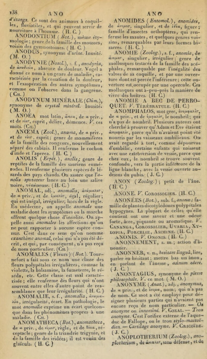 ^ étangs. Cp sont «les animaux à foquil- •S, llnvlaliles, et qui peuvent servir de noiirrilure à riiomiae. ( II. C. ) rjliM ( Bot.), inèinc ely- inologie; genre de la raniille des mousses, voisin des gymnosloiiies. ( H. C. ) > synonyme A'unne. Inusité. ANODYNIE (léosol.), $. f., anodynia, de absence de douleur. Vogel a doiimi ce nom à un genre de maladie, ra- l'actérisée par la ce.ssation de la douleur, et 1 exaspération des autres symptômes, on l’observe dans la gangrène. ANODYNUM iMINKUALE {Chlm.), synonyme de crystal minéral. Inusité. (M. O.) ANOEA mot latin , âtoict, «le U priv., et de voor, esprit, délire, démence. K. ces mots. (ClI.) ANŒMA (ZooE), ancenia, de * priv., et de loor, esprit; genre de mammifères de la famille «les rongeurs, nouvellement séparé des cabiais. Il renferme le coclion d’inde et l’aperea. ( H. C. ) ANOLIS (Erpét.), anolis ; genre de reptiles de la famille des sauriens eumé- rodes. Il renferme plusieurs espères de lé- xards des pays chauds. On assure que l’«z— rwVis sputateur lance au loin une salive noire, vénéneuse. (H. C.) ANOMAL, adj., anomalis, ktùp.a.\iT, de «priv., et de , égal, régulier; «jui est inégal, irrégulier, hors de la règle. En médecine, on appelle anomale une maladie dont les symptômes ou la marche offrent quelque chose d’insolite. On ap- pelle aussi anomales les affections qu’on ne peut rapporter à aucune espèce con- nue. C’est dans ce sens qu’on nomme exanthème anomal, celui qui n’a pas été dé- crit, et qui, par conséquent, n’a pas reçu de nom particulier. (Ch.) ANOMALES (Fleurs) {Bot.). Tour- nefort a fait sous ce nom une classe des fleurs polypétales irrégulières, comme, la violette, la balsamine, la fumeterre, le ré- séda, etc. Cette classe est mal caracté- risée ; elle renferme des fleurs qui n’ont souvent entre elles d’autre point de res- semblance que leur Irrégularité. ( H. C. ) ANOMAl.lE, s. f., anomalia. x««, irrégularité, écart. En pathologie, le mot anomalie exprime un écart quelcon- que dans les phénomènes propres à une maladie. ( Cil. ) ANOM ATII EC.V {Bot.), anomathcca, de « priv., de règle, et de 9à*«, ré- ceptacle ; genre de la triandric trigynie, et de la famille des iridées; il est voisin des glaïeuls. ( IL G ) A NOM IDES ( Entomol.) , anomides, de arü/xor, singulier, et de iJi*, ligure; famille d’insectes orthoptères, qui ren- ferme les mantes, et quelques genres voi- sins, remarquables par leurs formes bi- zarres. ( IL C. ) ANO.M1E {Zoolog.), s. f., anomia, de âiifAtT, singulier, irrégulier ;' genre de mollusques testacés de la famille des acé- phales, remarquable par l’inégalité des- valves de sa coquille, et par une ouver- ture dont est percée l’inférieure; cette ou- verture est,occupée par une opercule. Ces mollusques ont à-peu-près la manière de vivre des huîtres. (IL C) ANOMIE A DEC DE PERRO- QUET. E. Térébr.\tui.e. (H. c.) ANüMPHALOS, mot grec, de « priv., et de o/zipaAtr, le nombril ; qui n’a pas de nombril. Plusieurs auteurs ont rherebé à prouver qu’Adam et Eve étaient , parce qu’ils n’avaient point été nourris par les vaisseaux ombilicaux. Oi» avait regardé à tort, comme dépourvus d’ombilic, certains enfants qui naissent avec une extrbversion de vessie, parce que chez eux, le nombril se trouve souvent confondu, vers la partie inférieure de la ligne blanche, avec la vessie ouverte au- dessus du pubis. (J. C. ) ANON (Zoolog.): petit de l’àne. (ILC.) ANONE. V. CoRossoLiER. (H. C.) ANONÉES (Bot.), sub. {.,anonœ; fa- nilllc de plantes dicotylédones polypétales hypogynes. La plupart de celles qu’elle contient ont une saveur et une odeur f«>rte, âcre, piquante ou aromatique. E. C.\N\NGA, COROSSOLIER, UvARt.A , Xy- LOPIA, PORCELIE, ASIMINE. (IL C.) aNüNTS. E. Onünis. (IL c. ) ANONNEiMENT, s. m.; action d’â- uonner. ANONN ER, V. n., hesitare Unguâ, lire, parler en hésitant ; mettre bas un ànon , en parlant de l’ànesse , asinum edere. ( J. C. ) ANONI'.UGIUS, synonyme de pierre philosophale. V. ce mot. ( M. O. ) ANONAME {Anat.),aA]., anonymus, de « priv., et de nom; qa\ n’a pas de nom. Ce mot a été employé pour dé- signer plusieurs parties qui n’avalent pas encore reçu de nom particulier. — Os anonyme ou innominé. V. CoxAL. Trois anonyme. C’est l’oriüce externe de l’aque- duc de Fallope, ou le trou styl^mastoi- dicn. — Cartilage anonyme, V. CriCOïuK- (J-C.) ANOPLOTHERIUM (Zoolog.), ano- plotherium y de <M<»A(ir,satk* defeuse, eide