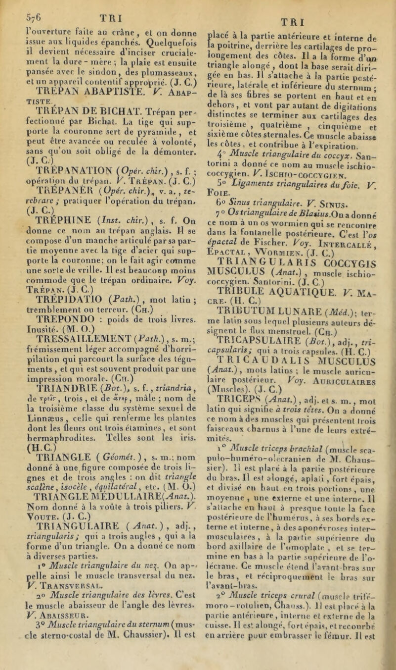 l’ouverture faite au crâne, et on donne issue aux liquides épanchés. Quelquefois il devient nécessaire d’inciser cruciale* ment la dure - mère ; la plaie est ensuite pansée avec le sindon, des plumasseaux, et un appareil contentif approprié. (J. C.) TREPAN ABAPTISTE. V. Abap- TISTE , '1 REPAN DE BICHAT. Trépan per- fectionné par Bichat. La tige qui sup- porte la couronne sert de pyramide, et peut être avancée ou reculée à volonté, sans qu’on soit obligé de la démonter. (J.C.) TREPANATION (Opér. chic.) , s. f. ; opération du trépan. V. Trépan. (J. C.) TREPANER [Opér. chir.), v. a. , le- rebrare ; pratiquer l’opération du trépan. (J. C.) TREPU1NE (Inst, chir.), s. f. On donne ce nom an trépan anglais. Il se compose d’un manche articulé parsa par- tie moyenne avec la tige d’acier qui sup- porte la couronne; on le fait agir comme une sorte de vrille. Il est beaucoup moins commode que le trépan ordinaire. Voy. Trépan. (J. C.) TRÉP1DATIO (Path.) , mot latin; tremblement ou terreur. (Ch.) TREPONDO : poids de trois livres. Inusité. (M. O.) TRESSAILLEMENT (Fath.), s. m.; frémissement léger accompagné d’horri- pilation qui parcourt la surface des tégu- ments , et qui est souvent produit par une impression morale. (Ch.) TRIANDRIE (Bot.), s. f., triandria, de vpeîr, trois , et de «û»p, mâle ; nom de la troisième classe du système sexuel de Linnæus , celle qui renferme les plantes dont les fleurs ont trois étamines, et sont hermaphrodites. Telles sont les iris. (H.C.) TRIANGLE (Géomét.) , s. m.. nom donné à une^gure composée de trois li- gnes et de trois angles : on dit triangle scalène, isocèle , équilatéral, etc. (M. U.) TRIANGLE MÉDELLAIRE(-4nar.). Nom donné à la voûte à trois piliers. V. Voûte. (J. C.) TRIANGULAIRE ( Anat. ) , adj., triangularis; qui a trois angles , qui a la forme d’un triangle. On a donné ce nom à diverses parties. i° Muscle triangulaire du nef. On ap-< pelle ainsi le muscle transversal du nez. V. Transversal. 20 Muscle triangulaire des lèvres. C’est le muscle abaisseur de l’angle des lèvres. V. Araisseur. 3° Muscle triangulaire du sternum (mus- cle sterno-costal de M. Chaussier). 11 est TRI placé à la partie antérieure et interne de la poitrine, derrière les cartilages de pro- longement des côtes. Il a la forme d’«n triangle alongé , dont la base serait diri- gée en bas. il s’attache à la partie posté- rieure, latérale et inférieure du sternum • de là ses libres se portent en haut et en dehors, et vont par autant de digitations distinctes se terminer aux cartilages des troisième , quatrième , cinquième et sixième côtes sternales. Ce muscle abaisse les côtes , et contribue à l'expiration. 4 Muscle triangulaire du coccyx. San- torini a donné ce nom au muscle ischio- coccygien. U. IsCHtO-COCCYGIEN. 5° Ligaments triangulaires du foie. V. Foie. 11° Sinus triangulaire. V. SlNUS. 7 o Os triangulaire de Blasius. On adonné ce nom à un os wormien qui se rencontre dans la fontanelle postérieure. C’est l’os épactal de Fischer. Voy. InteRCALlk, Epactai. , Wormien. (J. U.) TRIANGULARIS COCCYGIS MUSCULUS (Anat.) , muscle ischio- coccygien. Sanlorini. (j. C.) TRIE CLE AQUATIQUE. V. Ma- CRE. (II. C.) TRIBUTUM LU N ARE (Méd.)- ter- me latin sous lequel plusieurs auteurs dé- signent le flux menstruel. (Ch.) tricapsulaire (A*.),adj., m- capsularis; qui a trois capsules. (H. C.) TRICAUDALIS MUSCULUS (Anat.) , mots latins ; le muscle auricu- laire postérieur. Voy. Auriculaires (Muscles). (J. C.) TRlCEP's (Anat.) , adj. et s. ni., mot latin qui signifie à trois têtes. On a donné ce nom à des muscles qui présentent trois faisceaux charnus à l’une de leurs extré- mités. i° Muscle triceps brachial (muscle sca- pulo-huméro-olecranien de M. Chaus- sier). 11 est placé à la partie postérieure du bras. Il est alongé, aplati , fort épais, et divisé en haut en trois portions, une moyenne , une externe et une internr. Il s’aitarhe en haut à presque toute la face postérieure de l’huniertis, à ses bords ex- terne et interne, à des aponévroses inter— musculaires, à la pailie supérieure du bord axillaire de l’omoplate , et se ter- mine en bas a la partie supérieure de l'o- lécrane. Ce muscle étend l’avant-bras sur le bras, et réciproquement le bras sur l’avant-bras. 2° Muscle triceps crural (muscle triIV— moro-rolulien, Cliaoss.). 11 est placé à la partie antérieure, interne et externe de la cuisse. Il est alungé, fort épais, et recourbé en arrière puur embrasser le fémur. 11 est