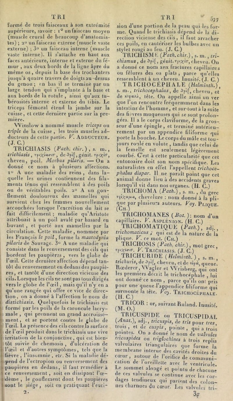 TRI formé de trois faisceaux à son extrémité supérieure, savoir : i° un faisceau moyen (muscle crural de beaucoup d’anatomis- tes) ; un faisceau externe (muscle vaste externe) ; 3° un faisceau interne (muscle vaste interne). 11 s’attache en haut aux faces antérieure, interne et externe du fé- mur , aux deux bords de la ligne âpre du même os, depuis la base des trochanters jusqu’à quatre travers de doigts au-dessus du genou; en bas il se terminé par un large tendon qui s’implante à la base et aux bords de la rotule , ainsi qu’aux tu- bérosités interne et externe du tibia. Le triceps fémoral étend la jambe sur la cuisse, et cette dernière partie sur ia pre- mière. Winslow a nommé muscle triceps ou triple de la cuisse , les trois muscles ad- ducteurs de cette partie. V. ADDUCTEUR. (J. C.) TRICHIASIS (Path. chir.) , s. m., trichiasis , de3fif,génit. rpi^ir, cheveu, poil. Morbus pilans. —On a donné ce nom à plusieurs affections. i° A une maladie des reins , dans la- quelle les urines contiennent des fila- ments ténus qui ressemblent à des poils ou de véritables poils. 2° A un gon- flement douloureux des mamelles qui survient chez les femmes nouvellement accouchées lorsque l’excrétion du lait se fait difficilement ; maladie qu’Aristole attribuait à un poil avalé par hasard en buvant , et porté aux mamelles par la circulation. Cette maladie, nommée par les Français le poil, forme la mastodynia pilaris de Sauvage. 3° Aune maladie qui consiste dans le renversement des cils qui bordent les paupières , vers le globe de l’œil. Celte dernière affection dépend tan- i tôt du renversement en dedans des paupiè- res, et tantôt d’une direction vicieuse des i cils. Lorsque les cils ne sont pas tous dirigés I vers le globe de l’œil, mais qu’il n’y en a qu’une rangée qui offre ce vice de direc- : tion , on a donné à l’affection le nom de >. distichiasis. Quelquefois le trichiasis est i formé par les poils de la caroncule lacry- ( male , qui prennent un grand accroissc- t ment, et se portent contre le globe de ! l’œil. La présence des cils contre la surface de l’œil produit dans le trichiasis une vive t irritation de la conjonctive, qui est bien- tôt suivie de chemosis , d’ulcération de '( l’œil et d’autres symptômes, tels que la i fièvre , l’insomnie , etc. Si la maladie dé- i pend de l’ectropion ou renversement des i paupières en dedans, il faut remédier à i ce renversement, soit en dissipant l’œ- i dème , le gonflement dont les paupières ! sont le siège, soit en pratiquant l’exci- 2. TRI * 5? y sion d’une portion de la peau qui les for- me. Quand le trichiasis dépend de la di- rection vicieuse des cils , il faut arracher ces poils, en cautériser les bulbes avec un stylet rougi au feu. (J. C.) TR1CH ISM E (Path. chir.) , s. m., tri- chismus, de^pif. génit.rp/^ôr, cheveu. On a donné ce nom aux fractures capillaires ou fêlures des os plats , parce qu’elles ressemblent à un cheveu. Inusité. (J. C ) TRICHOCÉPIIA L F. (Helminth.j, s. m., trichocephalus, de ^pif, cheveu, et de tète. On appelle ainsi un ver que l’on rencontre fréquemment dans les intestins de l’homme, et sur tout à la suite des fièvres muqueuses qui se sont prolon- gées. Il a le corps claviforme, de la gros- seur d’une épingle, et terminé antérieu- rement par un appendice filiforme qui porte la bouche. Le corps du mâle est tou- jours roulé en volute , tandis que celui de la femelle est seulement légèrement courbé. C’est à cette particularité que cet entozoaire doit son nom spécifique. Les naturalistes en effet l’appellent trichoce- phalus dispar. Il ne paraît point que cet animal donne lieu à des accidents graves lorsqu’il vit dans nos organes. (H. C.) 1 R (CHOMA (Path.), s. m. , du grec rçi'^u^ût, chevelure : nom donné à ia pli- que par plusieurs auteurs. Voy. Plique (Ch.) TRICHOMANES {Bot.)-, nom d’un capillaire. V. Asplénion. (H. C.) TRICHOMATIQCE (Path.), adj., trichomaticus • qui est de ia nature de la plique. V. ce mot. (Ch.) TRICHOSIS (Path. chir.) , mot grec V. Trichiasis. (J. C.) TRICHUR1DE (Helmmth.) , s. m., trichuris, de SpiÇ, cheveu, et de oipàj queue Rœderer , Wagler et Wrisberg, qui ont les premiers decnl le trichocéphale , lui ont donné'ce nom , parce qu’ils onl pris poui une queue 1 appendice blilorme qui sur.rn.nte la tète. Voy. Trichocéphale. (U. L.) TR 1COR : or, suivant Roland. Inusité. (M. ().; TRICUSP1DE ou TRICUSPIDAL (Anat.), adj., trtcuspis, de tris pour très trois, et de cuspis, pointe, qui a trois pointes. On a donné le nom de valvules tncuspides ou triglochines à trois replis valvulaires triangulaires que forme la membrane interne des cavités droites du cœur, autour de l’orifice de communi- cat„, de 1 oreillette avec le ventricule. Le sommet alo:igé et pointu de chacune de ces valvules se continue avec les cor- dages tendineux qui partent des colon- nes charnues du cœur. Les valvules tri-