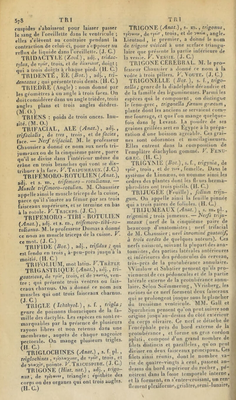 57S cuspides s’abaissent pour laisser passer le sang de l’oreillette dans le ventricule ; elles s’élèvent au contraire pendant la contraction de celui-ci, pour s’opposer au reflux de liquide dans l’oreillette. (J. C.) TRI DACTYLE (Zoo/.), ad]., tridac- tylus, de Tfûr, trois, et de JaicruXor, doigt ; qui a trois doigts à chaque pied. (H. C.) TRI DENTÉ, ÉE {Bot.) , adj., tri- dent a tu s ; qui présente trois dents. (H. C.) TRIEDRE (Angle) : nom donné par les géomètres à un angle à trois faces. Un doitconsidérer dans un angle trièdre, trois angles plans et trois angles dièdres. (M.O.) TRI ENS : poids de trois onces. Inu- sité. (M • O.) s TRIFACIAL, ALE (Anat.), ad)., trijacialis, de très, trois, etde/âcics, face. — Nerf trijacial. M. le professeur Chaussier a donné ce nom aux nerfs tri- jumeaux ou de la cinquième paire , parce qu’il se divise dans l’intérieur même du crâne en trois branches qui vont se dis- tribuer à la face. V. Trijumeaux. (J.C.) TR 1FÉMORO-ROTULI EN (Anat.), adj. et s. m., trlfemoro - rotulianus.— Muscle trifmoro-rotulien. M. Chaussier appelle ainsi le muscle triceps de la cuisse, parce qu’il s’insère au fémur par ses trois faisceaux supérieurs, et se termine en bas à la rotule. V- TlUCKPS. (J. C.) TR1FEMORQ - TIBl - ROTUT.IEN (Anat.), adj. et s. m., trifemoro-tibi-ro- tulianus. M. le professeur Dumas a donné ce nom an muscle triceps de la cuisse. V. ce mol. (J. C.) TR1FIDE (Bot.) , adj., trtfidus ; qui est fendu en trois , à-peu-près jusqu’à la moitié. (H-C ) , , TRIFOLIUM, mot latin. F.Trefek TRIO ASTRIQUF. (Anat.), adj., tri- gastricus, de vfôs-, trois, et de yao-rhf, ven- tre ; qui présente trois ventres ou fais- ceaux charnus. On a donne ce nom aux muscles qui ont trois faisceaux charnus. (JC.) TR1GLE ( Ichthyol. ), s. f. , tngla ; genre de poissons thoraciques de la fa- mille des dactylés. Les espèces en sont re- marquables par la présence de plusieurs rayons libres et non retenus dans une membrane, auprès de chaque nageoire pectorale. On mange plusieurs triglcs. (H C.) 1 V TRIGLOCHINES (Anat.) , s. f.pl., triglochincs , TfiyX«xmr, de vptîr, trois, et de pointe. Ki TR.1 CUSP IDE. ( J. C.) TRIGONE (Hist. nat.) , adj. , trigo- nus , de Tpb“io», triangle; épithète des corps ou des organes qui ont trois augles. (H-G.) TRIGONE (Anat.), s. m., trigonus, rplywm, de rpôr, trois, et de yuiia , angle. Lieutaud , le premier, a donné le nom de trigone vésical à une surface triangu- laire que présente la partie inférieure de la vessie. V. VESSIE. (J- C.) TRIGONE CÉRÉBRAL. AI. le pro- fesseur ('haussier a donné ce nom à la voûte à trois piliers. V. Voûte. (J. C.) TR1GONELLE (Bot.), s. f., trigo- nclla; genre de la diadelpbie dérandrie et de la famille des légumineuses. Parmi les espères qui le composent, on distingue le fenu-grec , trigonella fxnum gracum , plante dont les anciens se servaient com- me fourrage, et que l’on mange quelque- fois dans lç Levant. La poudre de ses graines grillées sert en Egypte à la prépa- ration d’une boisson agréable. Ces grai- nes sont odorantes et mucilagiueuses. Elles entrent dans la composition de l’emplâtre diachylon gommé, f. Fenu- GBEC. (H. C.) TRIGYME (jBof.), s. f., trlgynla, de Tpîîr, trois, et de -yvi» , femelle. Dans le système de Linnæns, on nomme aiusi les ordres des plantes dont les fleurs herma- phrodites ont trois pistils. (H. C.) TRIJUGÉE (Feuille), folium triju- gum. On appelle ainsi la feuille pinnéç qui a trois paires de folioles. (H. C.) TRIJUMEAUX (Anat.) , s. m. çl., £ rigémi ni ; trois jumeaux. — Nerfs triju- meaux ( nerf de la cinquième paire de beaucoup d’anatomistes ; nerf trifacial de M. Chaussier; nerf innommé gustatif, à trois cordes de quelques auteurs). Ces nerfs naissent, suivant la plupart des ana- tomistes, des parties latérales antérieures et inférieures des pédoncules du cerveau, très-près de la protubérance annulaire. Winslow et Sabatier pensent qu’ils pro- viennent de ces pédoncules et de la partie latérale externe de la protubérance annu- laire. Selon Soè'mmering , YVrisberg, les racines de ce nerl forment deux faisceaux qui se prolongent jusque sous Icpl.mrhcr du troisième ventricule. MM. Gall et Spurzheim pensent qu’on peut suivre son origine jusqu’au-dessus du côté extérieur du corps olivairc. Ce nerf se détache de l’encéphale près du bord externe de la protubérance , et forme un gros cordon aplati, composé d’un grand nombre de filets distincts et parallèles, qu’on peut diviser en deux faisceaux principaux. Ces filets ainsi réunis, dont le nombre va- rie de quatre-vingts à cent, passent au- dessus du bord supérieur du rocher, pé- nètrent dans la fosse temporale interne , et là forment, en s’entre-croisant, un ren- flement plcxiformr, grisâtre, semi-lunaire,