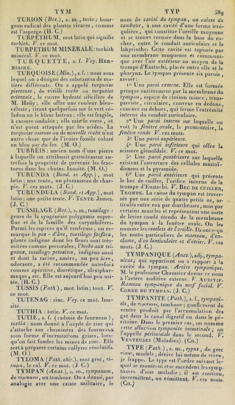 TURION (Bot.), s. ai., turio ; bour- geon radical îles plantes vivaces , comme est l’asperge. (H. C.) TURPETHUM, mot latin qui signifie turbith. V. ce mot. TURPETHllM MINERALE: turbith minéral. V. ce mot. T URQÜETTE, s. f. Voy. Her- niaire. TURQUOISE (Afin.), s. f. : nom sous lequel on a désigné des substances de ma- tière différente. On a appelé turquoise pierreuse , de vieille roche ou turquoise orientale , le cuivre hydraté silicifère de M. llaiiy; elle offre une couleur bleu- céleste, tirant quelquefois sur le vert cé- ladon ou le blanc laiteux ; elle est fragile, à cassure, ondulée ; elle raie1 le verre , et n’est point attaquée par les acides. La turquoise osseuse ou de nouvelle roche n’est autre chose que de l’ivoire fossile coloré en bleu par du fer. (M. O.) TURRÉ1S : ancien nom d’une pierre à laquelle on attribuait gratuitement au- trefois la propriété de prévenir les frac- tures dans les chutes. Inusité. (M. O.) TURUNDA (Band. et App.) , mot latin ; une tente, un plumasseau de char- pie. V. ces mots. (J. C.) TURUNDULA (Band. et App.), mot latin ; une petite tente. V. Tente. James. (J. G.) TUSSILAGE (Bot.), s. m.,tussilago : genre de la syngénésie polygamie super- flue et de la famille des corymbifères. Parmi les espèces qu’il renferme, on re- marque le pas - d'âne, tussilago farfara, plante indigène dont les fleurs sont très- usitées comme pectorales; Y herbe aux tei- gneux, tussilago petasites, indigène aussi et dont la racine, amère, un peu âcre, odorante, a été recommandée autrefois comme apéritive, diurétique, alexiphar- maque, etc. Elle est aujourd’hui peu usi- tée. (H. C.) TUSSIS (Path.) , mot latin; toux. V. ce mot. TUTENAG : zinc. Voy. ce mot. Inu- sité. TUTHIA : tutie. V. ce mot. TUTIE, s. f. ( cadmie de fourneau ) , tuthia : nom donné à l’oxyde de zinc qui s’attache aux cheminées des fourneaux sous forme d’incrustations grises, lors- qu’on fait fondre les mines de zinc. Elle sertà préparer certains collyres résolutifs. (M. O.) TYLOMA (Path. chir.), mot grec, rv- le cal. V. ce inot. (J. C.) TYMPAN (Anat.), s, \n., tympanum, de tv/x'b-ccrov, un tambour. On a donné, par analogie avec une caisse militaire, le nom de cavité du tympan , ou caisse du tambour, à une cavité d’une forme irré- gulière , qui constitue l’oreille moyenne et se trouve creusée dans la base du ro- cher, entre le conduit auriculaire et le labyrinthe. Cette cavité est tapissée par une membrane muqueuse et communi- que avec l’air extérieur au moyen de la trompe d’Enstachi, placée entre elle et le pharynx. Le tympan présente six parois , savoir : i° Une paroi externe. Elle est formée presque entièrement par la membrane du tympan , espèce de cloison mince , trans- parente, circulaire, convexe en dedans, concave en dehors, qui ferme l’extrémité interne du conduit auriculaire. ia Une paroi interne sur laquelle on voit la fenêtre ovale, le promontoire, la fenêtre ronde V. ces mots. 3° Une paroi supérieure. 4° Une paroi inférieure qui offre la scissure glénoïdale. V. ce mot. 5° Une paroi postérieure sur laquelle existent l’ouverture des cellules mastoï- diennes et la pyramide. 6° Une paroi antérieure qui présente le bec de cuiller, l’orifice interne de la trompe d’Eustarhi. V. Bec de cuiller Trompe. La caisse du tympan est traver- sée par une série de quatre petits os, ar- ticulés entre eux par diarlhroses , mus par certains muscles et représentant une sorte de lévier coudé étendu de la membrane du tympan à la fenêtre ovale. On les nomme les osselets de l'oreille. Ilsont reçu les noms particuliers de marteau, d’e/i- clume, d’os lenticulaire et d'étrier. V. ces mots. (J. C.) TYMPANIQUE (Anat.),aij.,tympa- nicus; qui appartient ou a rapport à la cavité du tympan. Artère tympanique. M. le professeur Chaussier donne ce nom à l’artère auditive externe. V. Auditif- Rameau tympanique du nerf facial. V. Corde du tympan. (J. C.) TYMPANITE (Path.), $. f., tympani- tis, de Tv/j.ircc m, tambour; gonflement du ventre produit par l’accumulation des gaz dans le canal digestif ou dans le pé- ritoine. Hans le premier cas, on nomme cette affection tympanite intestinale ; on l’appelle péritonéale dans le second. V. Venteuses (Ma ladies). (Ch.) 1 YPE (Path. ) , s. m., typus , du grec Tv7rtry modèle , dérive lui-même de TV7rr« y je frappe. Le type est l’ordre suivant le- quel se montrent et se succèdent les symp- tômes _ d’une maladie; il est continu, intermittent, ou rémittent. V. ces mot*. (ChQ