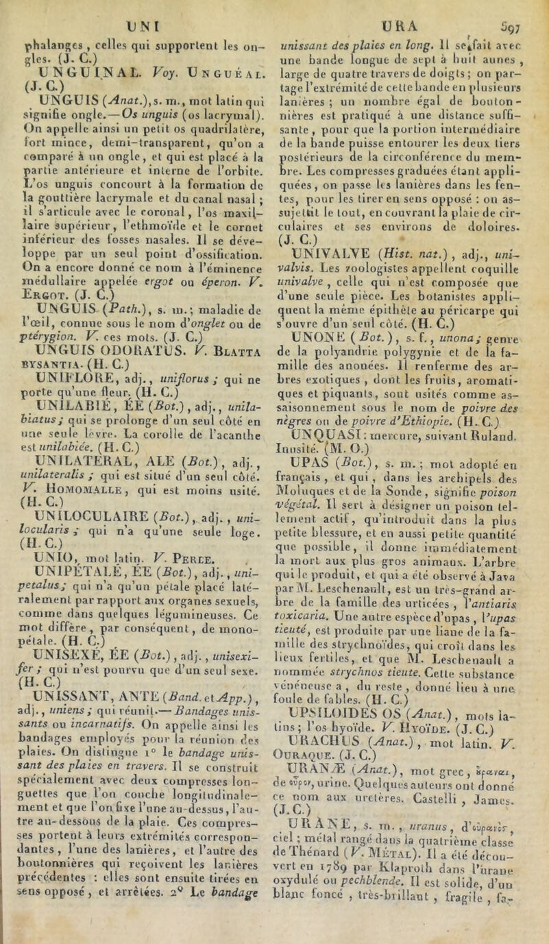 UNI phalanges , celles qui supportent les on- gles. (J. C.) UNGDIMAL. Voy. Usguéai. (J.C.) UNGUIS (Anat.),s. rri., mot latin qui signifie ongle.— Os unguis (os lacrymal). On appelle ainsi un petit os quadrilatère, Tort mince, demi-transparent, qu’on a comparé à un ongle, et qui est placé à la partie antérieure et interne de l’orbite. L’os unguis concourt à la formation de la gouttière lacrymale et du canal nasal ; il s’articule avec le roronal, l’os maxil- laire supérieur, l’ethmoïde et le cornet intérieur des fosses nasales. 11 se déve- loppe par un seul point d’ossification. On a encore donné ce notn à l’éminenre médullaire appelée ergot ou éperon. V. ^ J Q j UNGUIS (Path.), s. in.; maladie de l’œil, connue sous le nom d’onglet ou de ptérygion. V. ces mots. (J. C.) UNGUIS ODORATUS. V. Blatta BVSANTTA. (H. C.) _ UN IL LOBE, adj., unijlorus ; qui ne porte qu’une fleur. (H. C.) UNILABIÉ, ÉE {Bot.), adj., unila- biatus; qui se prolonge d’un seul côté en une seule lèvre. La corolle de l’acanthe est unilabiée. (H.C.) UNILATERAL, ALE (Bot.), adj., unilateralis ; qui est situé d’un seul côté. P. HOMOMALLE, qui est moins usité. (H.C.) UNILOCULAIRE (Bot.), adj., uni- locularis qui n’a qu’une seule loge. (H.C.) UNIO, mot latin. V. Perce. UNIPETALÉ, ÉE (Bot.), adj., uni— petalrts; qui n’a qu’un pétale placé laté- ralement par rapport aux organes sexuels, comme dans quelques légumineuses. Ce mot diffère, par conséquent, de mono- pétale. (H. C.) UNISEXÉ, ÉE (Bot.), adj., unisexi- fer ; qui n’est pourvu que d’un seul sexe. (H. C.) UNISSANT, ANTE (Band. ciApp.), adj., uniens; qui réunit.— Bandages unis- sants ou incarnatijs. On appelle ainsi les bandages employés pour la réunion des plates. On distingue i° le bandage unis- sant des plaies en travers. Il se construit spécialement avec deux compresses lon- guettes que l’on couche longitudinale- ment et que 1 on fixe l’une au-dessus, l’au- tre au-dessous de la plate. Ces compres- ses portent à leurs extrémités correspon- dantes, l’une des lanières, et l’autre des boutonnières qui reçoivent les lanières précédentes : elles sont ensuite tirées en sens opposé, et arrêtées. 2° Le bandage U RA S97 unissant des plaies en long. Il se^fait avec une bande longue de sept à huit aunes , large de quatre travers de doigts ; on par- tage l’extrémité de cette bande en plusieurs lanières; un nombre égal de bouton- nières est pratiqué à une distance suffi- sante , pour que la portion intermédiaire de la bande puisse entourer les deux tiers Î>oslérieurs de la circonférence du mem- >re. Les compresses graduées étant appli- quées, on passe 1rs lanières dans les fen- tes, pour les tirer en sens opposé : on as- sujettit le tout, en couvrant la plaie de cir- culaires et ses environs de doloires- (J. C.) UNI VALVE (Hist. nat.), adj., uni- valvis. Les zoologistes appellent coquille univalve , celle qui n’est composée que d’une seule pièce. Les botanistes appli- quent la même épithète au péricarpe qui s’ouvre d’un seul côté. (HC.) UNONE(5of. ), s. f., unona; genre de la polyandrie. polygynie et de ia fa- mille des anonées. Il renferme des ar- bres exotiques , dont, les fruits, aromati- ques et piquants, sout usités comme as- saisonnement sous le nom de poivre des nègres on de poivre d’Ethiopie. (H. C.) UNQUASI : mercure, suivant Ruland. Inusité. (M. (3.) UPAS (Bot.), s. ni.; mot adopté en français , et qui , dans les archipels des Mol u ques et de la Sonde, signifie poison végétal. Il sert à désigner un poison tel- lement actif, qu’introduit dans la plus petite blessure, et en aussi petite quantité que possible, il donne immédiatement la mort aux plus gros animaux. L’arbre qui le produit, et qui a été observé à Java parM. Leschenault, est un très-grand ar- bre de la famille des urticécs , 1 ’antiaris toxicaria. Une autre espèced’upas , Vupas tienté, est produite par une liane de la fa- mille des slrychnoïdes, qui croît dans les lieux fertiles, et que M. Leschenault a nommée strychnos dente. Celle substance vénéneuse a , du reste , donne lieu à unes foule de fables. (U. C.) UPSILOIDES OS (Anat.) , mots la- tins; l’os hyoïde. V. Hyoïde. (J.C.) URACHUS (Anat.), mot latin. V. OURAQUE. (J. C.) URANÆ (Anat.), mot grec, ùfa-vut, de «vpor, urine. Quelques auteurs ont donné ce nom aux uretères. Castelli , James. (J- c.) U R À N E , s. m. , nranus , d’oùp«rtr ciel , mêlai range dans la quatrième classe de Thénard (V. Métal). Il a été décou- vert eu 17S9 par Klaproth dans l’uraue oxydulé ou pechblende. Il est solide, d’un blanc foncé , très-brillant , fragile , fa-