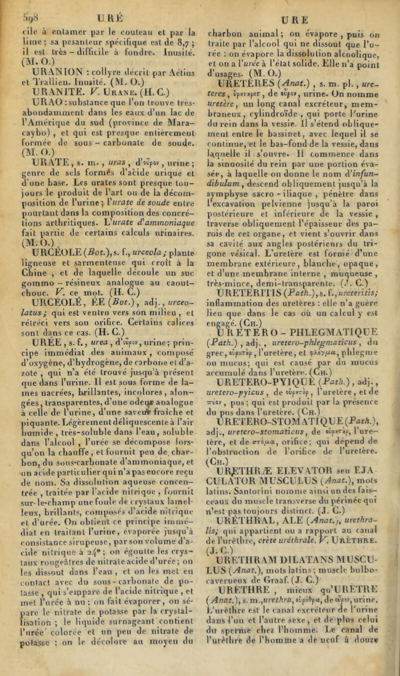 elle à enlamcr par le rouleau et par la lime; sa pesanteur spécifique est de 8,7 ; il est très - difficile à fondre. Inusité. (M.O.) URANION : collyre décrit par Aétius et Trallien. Inusité. (M. O.) URANITE. V. Urane. (H. C.) URAU tsubstance que l’on trouve très- abondamment dans les eaux d’un lac de l’Amérique du sud (province de Mara- eaybo) , et qui est presque entièrement formée de sous - carbonate de soude. (M. O.) URATE , s. m. , liras , d’oOpoe, urine ; genre de sels formés d’acide urique et d’une base. Les urates sont presque tou- jours le produit de l’art ou de la décom- position de l’urine;. Ymate de soude entre pourtant dans la composition des concré- tions arthritiques. h'urate d'ammoniaque fait partie de certains calculs urinaires. (M.O.) , URCÉOLE (Bot.),s. f., urceola; plante ligneuse et sarmenteuse qui croit à la Chine , et de laquelle découle un suc gommo - résineux analogue au caout- chouc. P. ce mot. (H. C.) URCEOLÉ, ÉE [Bot.), adj., ureeo- latus ; qui est ventru vers son milieu , et rétréci vers son orifice. Certains calices sont dans ce cas. (H. C.) UREE , s. f., mea , d’wp», urine ; prin- cipe immédiat des animaux, composé d’oxygène, d’hydrogène, de carbone et d’a- zote , qui n’a été trouvé jusqu’à présent que dans l’urine. Il est sous forme de la- mes nacrées, brillantes, incolores, alon- gées, transparentes, d’une odei^v analogue à celle de l’urine, d’une saveur fraîche et piquante. Légèrement déliquescente à l’air humide , très-soluble dans l’eau, soluble dans l’alcool , l’urée se décompose lors- qu'on la chauffe, et fournit peu de. char- bon, du sous-carbonate d’ammoniaque, et un acide particulier qui n’a pas encore reçu de nom. Sa dissolution aqueuse concen- trée , traitée par l’acide nitrique , fournit sur-le-champ une foule de crystaux lamel- leux, brillants, composés d’acide nitrique et d’urée. On obtient ce principe immé- diat en traitant l’urine, évaporée jusqu’à consistance sirupeuse, par son volume d’a- cide nitrique à ; on égoutte les crys- taux rougeâtres de nitrate acide d’urée; on les dissout dans l’eau , et on les met en contact avec du sous-carbonate de po- tasse , qui s'empare de l’acide nitrique , et met l'orée à nu : on fait évaporer, on sé- pare le nitrate de potasse par la crystal- lisation ; le liquide surnageant contient l’urée colorée et un peu de nitrate de potasse : on le décolore au moyen du U RE charbon animal ; on évapore , puis ou traite par l’alcool qui ne dissout que l’u- rée : on évapore la dissolution alcoolique, et on a Yurée à l’état solide. Elle n’a point d’usages- (M. O.) URETERES (Anat.) , s. m. pl. , ure- tères , îp»t»fîr, de tèpsr, urine. On nomme uretère, un long canal excréteur, mem- braneux, cylindroïde , qui porte l'urine du rein dans la vessie. 11 s’étend oblique- ment entre le bassinet, avec lequel il se continue, et le bas-fond de la vessie, dans laquelle il s’ouvre. Il commence dans la sinuosité du rein par une portion éva- sée, à laquelle on donne le nom A'infun- dibulum , descend obliquement jusqu’à la symphyse sacro - iliaque , pénètre dans l’excavation pelvienne jusqu’à la paroi postérieure et inférieure de la vessie , traverse obliquement l’épaisseur des pa- rois de cet organe, et vient s’ouvrir dans sa cavité aux angles postérieurs du tri - gone vésical. L’uretère est formé d’une membrane extérieure, blanche, opaque, et d’une membrane interne , muqueuse , très-minre, demi-transparente. (.T. C.) URETERITIS (Path.), s. i.,u retentis; inflammation des uretères : elle n’a guère lieu que dans le cas où un calcul y est engagé. (Ch.) U R ET ER O - PHLEGMATIQUE (Path.) , adj. , uretero-phlegmaticus , du grec, etp»T»p , l’uretère, et y/J-a, phlegme ou mucus; qui est causé par du mucus accumulé dans l’uretère. (Ch.) URETERO-PYIQUE (Path.), adj., uretero-pyieus , de»vp»v»p, l’uretère , et de ■xvtr, pus; qui est produit par la présence du pus dans l’uretère. (Ch.) U RETERO-STOM ATI QUE (Path.), adj., uretero-stomaticus, de oip»r»p, l’ure- tère, et de o-rô/iot, orifice; qui dépend de l’obstruction de l’orifice de l’uretère. (Ch.) UR^THRÆ ELEVATOR seu EJA CULATOR MUSCULUS (Anat.), mots latins. Santorini nomme ainsi un des fais- ceaux du muscle transverse du périnée qui n’est pas toujours distinct. (J. C.) URÉTHRAL, ALE (Anat.), urethra- lis; qui appartient ou a rapport au canal de l’urëthre, crête uréthrale. K. Urèthre. (J. C.) URETHRAM DILATANS MUSCU- LUS (Anat.), mots latins ; muscle btilbo- caverneux de Graaf. (J. C.) URÈTHRE , mieux qu’URÉTRE (Anat.), s. m ,,urethru, ovpà&pa, de erp»», urine. L’urèthre est le canal excréteur de l'urine dans l’un et l’autre sexe, et de plus celui du sperme chez l’homme. Le canal de l’urèthre de l’homme a de neuf à douze