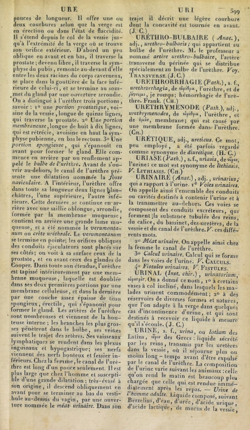 Souces de longueur. Il offre une ou eux courbures selon que la verge est en érection ou dans l’état de flaccidité. Il s’étend depuis le col de la vessie jus- qu’à l’extrémité de la verge où se trouve son orifice extérieur. D’abord un peu obi i que en avant et en bas, il traverse la prostate ; devenu libre, il traverse la sym- physe du pubis , remonte au-devant d’elle entre les deux racines du corps caverneux, se place dans la gouttière de la face infé- rieure de celui-ci, et se termine au som- ,met du gland par une ouverture arrondie. On a distingué à l’urèthre trois portions , savoir: i° une portion prostatique, voi- sine de la vessie , longue de quinze lignes, qui traverse la prostate. 2° Une portion membraneuse, longue de huit à dix lignes, qui est rétrécie, avoisine en haut la sym- phy se pubienne, en bas le rectum.3° Une portion spongieuse, qui s’épanouit eu avant pour former le gland. Elle com- mence en arrière par un renflement ap- pelé le bulbe de l’urèthre. Avant de s’ou- vrir au-dehors, le canal de l’urèthre pré- sente une dilatation nommée la Josse naviculaire. A l’intérieur, l’urèthre offre dans toute sa longueur deux lignes blan- châtres, l’une supérieure, l’autre infé- rieure. Cette dernière se continue en ar- rière avec une saillie oblongue, arrondie, tormée par la anembrane muqueuse, contient en arrière une grande lame mu- queuse, et a été nommée le verumonta- num ou crête uréthrale. Le verumontanum se termine en pointe; les orifices obliques des conduits éjaculateurs sont placés sur ses côtés; on voit à sa surface ceux de la prostate, et en avant ceux des glandes de Cooper. Dans toute son étendue, l’urèthre est tapissé intérieurement par une mem- brane muqueuse, laquelle est doublée dans ses deux premières portions par une membrane celluleuse, et dans la dernière par une couche assez épaisse de tissu spongieux , érectile , qui s’épanouit pour former le gland. Les artères de l’urèthre 1 sont nombreuses et viennent de la hon- teuse interne ; les branches les plus gros- ses pénètrent dans le bulbe, ses veines suivent le trajet des artères. Ses vaisseaux lymphatiques se rendent dans les plexus inguinaux et hypogastrique; ses nerfs viennent des nerfs honteux et fessier in- férieurs. Chez la femme ,1e canal de l’urè- thre est long d’un pouce seulement. Il est plus large que chez l’homme et suscepti- ble d’une grande dilatation ; très-évasé à son origine, il descend obliquement en avant pour se terminer au bas du vesti- bule au-dessus du vagin, par une ouver- ture nommée le méat urinaire. Dans son U El ~ 599 trajet il décrit une légère courbure dont la concavité est tournée en avant. (J. C.) URETHRO-BULBAIRE ( Anat.), adj., urethro-bulbaris; qui appartient au bulbe de l’urèthre. M. le professeur a nommé artère urethro- bulbaire, l’artère transverse du périnée qui se distribue spécialement au bulbe de l’urèthre. Voy. Th.ansver.se. (J. C.) URETHRORRHAGIE ÇPath.)t s. f., urethrbrrhagia, de ovpi’efa, l’urèthre, et de fimv/xi, je romps; hémorrhagie de l’urè- thre. Frank. (Ch.) URETHRYMENODE (Path.), adj., urethrymenodes, de ovpâôpa, l’urèthre, et de yuür, membrane; qui est causé par une membrane formée dans l’urèthre. (Ch.) , URËTIQUE, adj., ureticus. Ce mot, peu employé, a été parfois regardé comme synonyme de diurétique. (H. C.) URIASE (Path.) , s.f., uriasis, de vvpo», l’urine: ce mot est synonyme de lithiasis. V. Lithiasis. (Ch.) URINAIRE {Anat.) , adj., itrinarius; qui a rapport à l’urine, i5 Koies urinaires. On appelle ainsi l’ensemble des conduits ou cavités destinés à contenir l’urine et à la transmettre au—dehors. Ces voies se composent des conduits excréteurs, qui forment ;la substance tubulée des reins, du calice, du bassinet,des uretères, de là vessie et du canal de l’urèthre. V. ces diffé- rents mots. 2° Méat urinaire. On appelle ainsi chez la femme le canal de l’urèthre. 3° Calcul urinaire. Calcul qui se forme dans les voies de l’urine. V. Calculs. 4° Fistules urinaires. V. Fistules. URINAL {Inst, chir.) , urinatorium, cvpdTpir. On a donné ce nom , i° à certains vases à col incliné, dans lesquels les ma- lades urinent commodément; 2° à des réservoirs de diverses formes et natures, que 1 on adapte à la verge dans quelque^ cas d incontinence d’urine, et qui sont destinés à recevoir ce liquide à mesure qu il s écoule. (J. C.) URINE, s. f., urinat ou lotium des Latins, ovp&f des Grecs : liquide sécrété par les reins , transmis par les uretères dans la vessie, où il séjourne plus ou moins long - temps avant d’être expulsé pai le canal de 1 urèthre. La composition “e, urine varie suivant les animaux :celie qu on îcnd le matin est beaucoup plus chargée que celle qui est rendue immé- diatement après les repas. — Urine de l homme adulte. Liquide composé, suivant Berzclms,d eau, d’urée, d’acide urique, d acide lactique, de mucus de U vessie