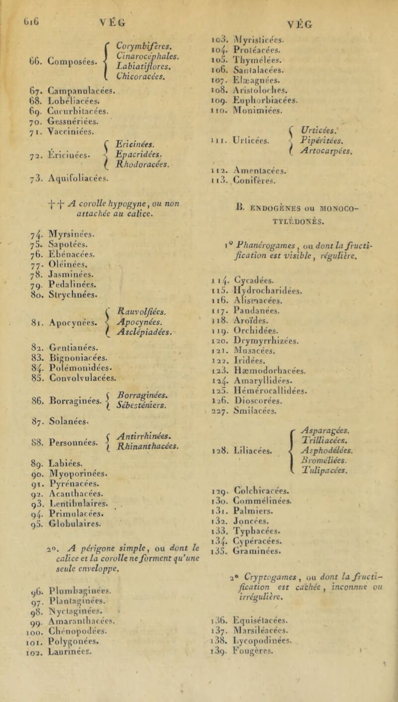 Ç Corymbifères. ic3. iViyristicécs. 104. Proléacées. ce r< ■ J Cinarocéphales. 66. Composées, j Laiiat^ores_ 105. Thymélées. 106. Sanlalacées. l Chicoracées. 107. Elæagnées. 67. Campanulacées. 108. Aristoloches. 68. Lobéliacées. 109. Eupborbiacées. 69. Curnrbilacées. 110. Monimiées. 70. Gessnériées. 71. Vacciniées. c Urticées. f Ericinées. 111. Urticées. Pipéritées. Ti. Ériciuées. s Epacridées. I Artocarpées. f Rfwiloracées. y3. Aquifoliacées. 11'2. Amonlacees. 113. Conifères. -j- -j-A corolle hypogync, ou non attachée au calice. 74- Myrsine'es. 75. Sapotées. 76. Ebénacées. 77. Oléinécs. 78. Jasminées. 7g. Pedalinées. 80. Slrychnées. I Rauvolfiées. 81. Apocynées. \ Apocynées. / Asclépiadées. 8a. Gentianées. 83. Bignoniacées. 84- Polémonidécs. 85. Convolvulacées. 86. Borraginées. { Borraginées. Sébesténiers. 87. Solanées- 88. Personnées. Ç Antirrhinées. ( Rhinanthacées. 89. Labiées. 90. Myoporinécs. 91. Pyrénacées. 92. Acanlhacées. 93. Lentibnlaires. 94. Primulacées. 95. Globulaires. ao. A périgone simple, ou dont le calice et la corolle ne forment qu’une seule enveloppe. ^6. Plumbaginées. 97. Plantaginées. 98. TSyctaginc'es. 99. Amarantbacées. 100. Chénopodées. 101. Polygonées. 102. Laurinées. B. ENDOGÈNES OU MONOCO- TYLÉDONÉS. 10 Phanérogames, ou dont la fructi- fication est visible, régulière. 1 14- Oycadées. 115. Ilydrocbaridées. 116. Alismacées. 117. Pandanées. 118. Aroïdes. 1 19. Orchidées. 120. Drymyrrhizées. 121. JVI usacées. 122. Iridées. 1 a3. Hæinodorbacées. ia4- Ainaryllidées. 125. Ilémérocallidées. 126. Dioscorées. 227. Smilacées. 128. Liliacées. Asparagées. Trilliacées, Asphodélées. Broméliées. l'ulipacces. 129. Colchicacées. 130. Coinmélinées. 131. Palmiers. 132. Joncées. 133. Typbacées. 134. Cypéracées. 135. Graminées. 20 Cryptogames, ou dont la fructi- fication est cachée, inconnue ou irrégulière. 136. Equisélacées. 137. Marsiléacées. 138. Lycopodinées. 139. Fougères.