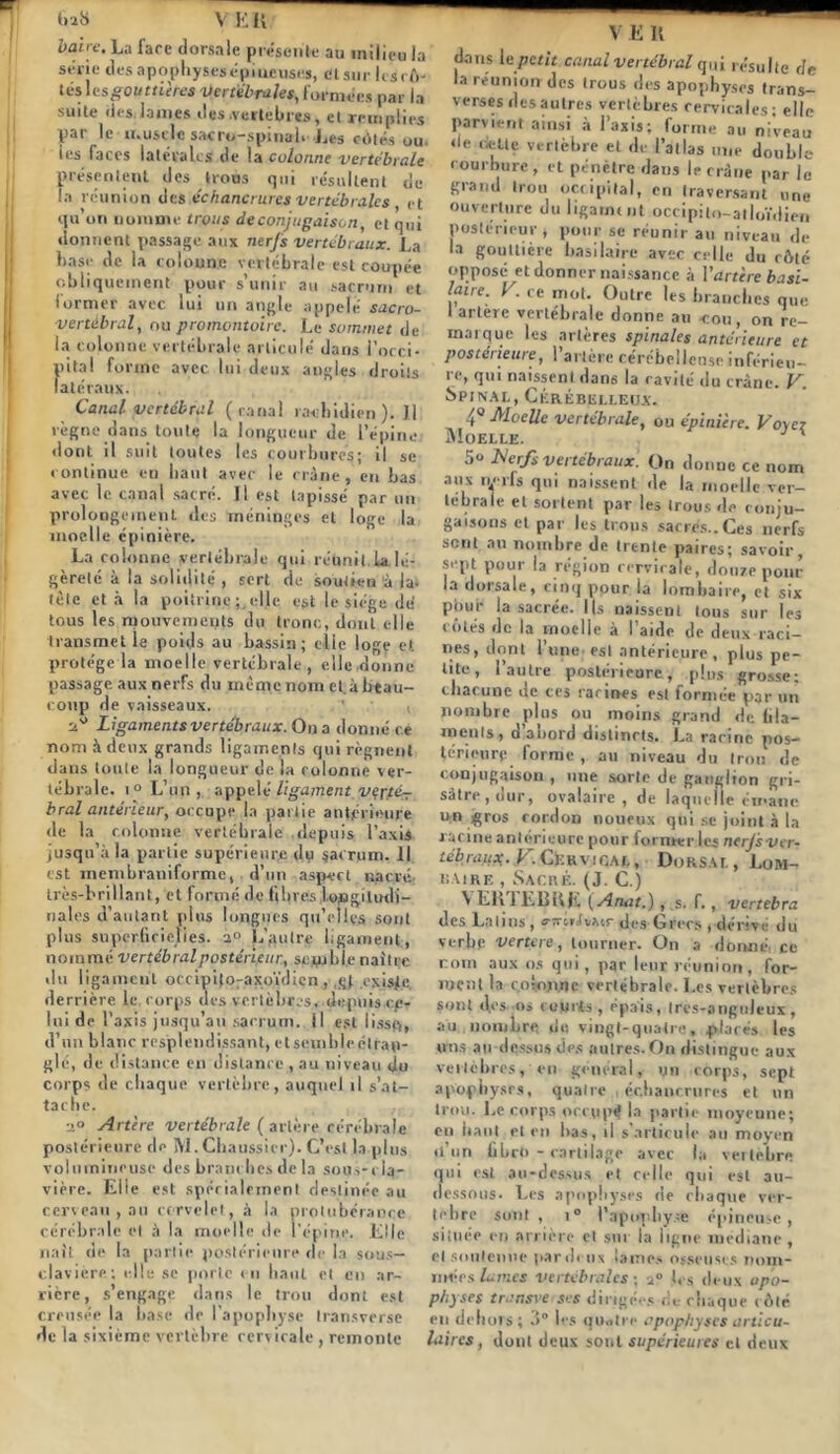 bairc. La l'arc dorsale présente au milieu la série des apophyses épineuses, dtsurlesrô- tés les soufrières Vertébrales, formées par la suite des lames des vertébrés, et remplies par le muscle sacro-spinab Les cités ou. ies faces latérales de la culonne vertébrale présentent des trous qui résultent de la réunion des,échancrures vertébrales et qu’on nomme trous de conjugaison, et qui donnent passage aux nerfs vertébraux. La base de la colonne vertébrale est coupée obliquement pour s’unir au sacrum et former avec lui un angle appelé sacro- vertébral, ou promontoire. Le sommet de la colonne vertébrale articulé dans l’occi- pital forme avec lui deux angles droits latéraux. Canal vertébral (ranal raubidien ). Il règne dans toute la longueur de l’épine dont il suit toutes les courbures; il se continue en liant avec le crâne, en bas avec le canal sacré. Il est tapissé par un prolongement des méninges et loge la moelle épinière. La colonne vertébrale qui réunit La lé- gèreté à la solidité , sert de soutien à la- tète et à la poitrine pelle est le siège dé tous les mouvements du tronc, dont elle transmet le poids au bassin; elle loge et protège la moelle vertébrale, elledoime passage aux nerfs du même nom ct.à beau- coup de vaisseaux. ‘ , ■j? Ligaments vertébraux. On a donné ce nom à deux grands ligaments qui régnent daus toute la longueur de la colonne ver- tébrale. i° L’un, appelé ligament vçrfé- bral antérieur, occupe la partie antérieure de la colonne vertébrale depuis l’axis jusqu’à la partie supérieure du sacrum. 11 est membraniforme, d’un aspect nacré très-brillant, et formé de fibres longitudi- nales d’autant plus longues qu’elles sont plus superficielles. a° L’autre ligament, nommé vertébralposténjeur., semble naître du ligament occipijp-axoïdicn , existe, derrière le. corps des vertèbres, depuis cp- lui de l’axis jusqu’au sacrum. Il est lissq, d’un blanc resplendissant, etscmbleéirap- glé, de distance en distance , au niveau du corps de chaque vertèbre, auquel il s’at- tache. a Artère vertébrale ( artère cérébrale postérieure de IVl. Chaussier). C’est la plus volumineuse des branches de la sou,-rlq- vière. Elle est spécialement destinée au cerveau , au cervelet, à la protubérance cérébrale et à la moelle de l’épine. Elle naît, de la partie postérieure de la sous- claviere: elle se porte en liant et en ar- rière, s’engage dans le trou dont est creusée la base de l’apophyse transverse de la sixième vertèbre rerv icale , remonte V E R dans le petit canal vertébral qui résulte de la réunion des trous des apophyses trans- verses des autres vertèbres cervicales: elle parvient ainsi à l’axis; forme au niveau «le dette vertèbre et de l’allas une double courbure, et pénètre dans le crâne par le grand trou occipital, en traversant une ouverture du ligament occipilo-atloïdien postérieur, pour se réunir au niveau de la gouttière basilaire avec celle du côté opposé et donner naissance à l’artère basi- laire. V. ce mot. Outre les branches que I artère vertébrale donne au <0u, on re- marque les artères spinales antérieure et postérieure, l’artère cérébelleuse inférieu- re, qui naissent dans la cavité du crâne. V. Spinal, Cérébelleux. 4° Moelle vertébrale, ou épinière. Voyc? Moelle. 5° Nerfs vertébraux. On donne ce nom aux n.«rfs qui naissent de la moelle ver- tébrale et sortent par les trous de conju- gaisons et par les trous sacrés..Ces nerfs sent au nombre de trente paires; savoir, sept pour la région cervicale, douze pour la dorsale, cinq pour la lombaire, et six pour la sacrée. Ils naissent tous sur les côtés de la moelle à l’aide de deux raci- nes, dont l’une, est antérieure, plus pe- tite, 1 autre postérieure., plus grosse: chacune de ces racines est formée par un nombre plus ou moins grand de fila- ments, d’abord distincts. La racine pos- térieure forme , au niveau du trou de conjugaison, une sorte de ganglion gri- sàtie, dur, ovalaire , de laquelle émane un gros cordon noueux qui se joint à la r acine antérieure pour former les nerjsver- tébraux.y. Cervical, Dorsal, Lom- baire , Sacré. (J. C.) V E le J ERRE (Anat.) , s. f., vertebra des Latins, s-sm/vAtr dcs Grecs , dérive du verbe vertere, tourner. On a donné., ce rom aux os qui, par leur réunion, for- ment la c.n!.oji.ne vertébrale. Les vertèbres sont des os cuurts, épais, Ires-anguleux, au nombre du vingt-quatre, plaies les uns au dessus des autres. On distingue aux vertèbres, en général, un corps, sept apophyses, quatre échancrures et un trou. Le corps occupé la partie moyenne; en liant et en bas, il s’articule au moyen «l’un fibet» - cartilage avec la vertèbre qui est au-dessus et celle qui est au- dessous. Les apophyses de chaque ver- tèbre sont , i° l’apophyse épineuse, située en arrière et sut la ligne médiane , et soutenue par deux lames osseuses nom- mées lames vertébrales ; a° tes deux apo- physes transve'ses dirigées fie chaque côté en dehors; les quatre apophyses articu- laires, dont deux sont supérieures et deux