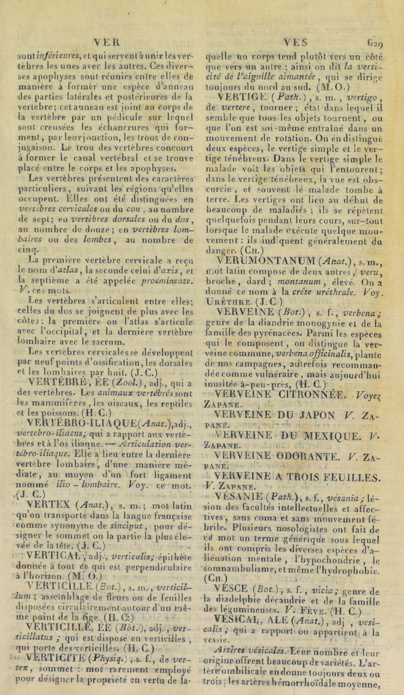 V E R sont inférieures, et qui servent à unir les ver- tèbres les unes avec les autres. Ces diver- ses apophyses sout réunies entre elles de manière à former une espèce d’anneau des parties latérales et postérieures de la vertèbre; cet anneau est joint au corps de la vertèbre par un pédicule sur lequel sont creusées les échancrures qui for- ment, par leur jonction, les trous de con- jugaison. Le trou des vertèbres concourt à former le canal vertébral et se trouve placé entre le corps et les apophyses. Les vertèbres présentent des carartères particuliers, suivant les régions qu’elles occupent. Elles ont été distinguées en vertèbres cervicales ou du cou , au nombre de sept; en vertèbres dorsales ou du dos, au nombre do douze; en vertèbres lom- baires ou des lombes, au nombre de cinq. La première vertèbre cervicale a reçu le nom d’atlas, la seconde celui d'avis, et la septième a été appelée proéminente. Vi ces mois. Les vertèbres s’articulent entre elles; celles du dos se joignent de plus avec les côtes; la première ou l’atlas s’articule a'-ec l’occipital, et la dernière vertèbre lombaire avec le sacrum. Les vertèbres cervicales se développent par neuf points d’ossification, les dorsales et les lombaires par huit. (J. C.) VERTÉBRÉ, ÉE (ZooL), adj., qui a des vertèbres. Les animaux vertébrés s ont les mammifères , les oiseaux, les reptiles et les poissons. (IL C.) VERTÉBRÜ-lLlAQUE(^7wE),adj., vertebro- ilia eus; qui a rapport aux vertè- bres et à l’os iliaque.—— Articulation ver- tébro-iliaque. Elle a lieu entre la dernière vertèbre lombaire, d’une manière mé- diate, au moyen d’un fort ligament nommé ilio - lombaire. Voy. ce mot. .(J. C.) VERTEX (Anat.), s. m.; mot latin qu’on transporte dans la langue française • comme synonyme de sinciput, pour dé- signer le sommet ou la partie la plus éle- vée de la tète. (J. C.) • . VERTICAL , adj , verticales; épithète donnée à tout <fe qui est perpendiculaire à l’horizon. (M. O.) A ERTIClLLE (Sot.), s. m., verticil- lum ; assemblage de fleurs on de feuilles disposées circulairemont autour d un mê- me point de la éige. (II. C:) VERTICILLÉ, ÉE (Bot. ), adj., ver- ticillatus ; qui est disposé en verticiiies , qui porte desTcrticillés; (11. C.) ■ VERTICfTE (Physiq.) ,.s. f ., de ver- tex, sommet : mot rarement employé pour désigner la propriété en vertu de la- VES f»29 quelle un corps tend plutôt vers un côté que vers un antre ; ainsi on dit la verti- cité de l'aiguille aimantée, qui se dirige toujours du nord au sud. (M.O.) VERTIGE (Path.) , s. m. , vertigo , de vertere , tourner; étal dans lequel il semble que tous les objets tournent , ou que l’on est soi-même entraîné dans un mouvement de rotation. On en distingue deux espèces, le vertige simple et le ver- tige ténébreux. Dans le vertige simple le malade voit les objets qui l’entourent; dans le vertige ténébreux, la vue est obs- curcie , et souvent le malade tombe à terre. Les vertiges ont lieu au début de beaucoup de maladiés ; ils se répètent quelquefois pendant leurs cours, sur-tout lorsque le malade exécute quelque mou- vement : ils ind quent généralement du danger. (Ch.) VERUMONTANUM (Ar.at.), s.m., mot latin composé de deux autres,’ veru. broche , dard ; montamim , élevé. On a donné ce nom à la crête uréthrale. Voy. Urèthre. (J. C.) VERVEINE (Bot.), s. f., verbena; genre de la diandrie monogynie et de la famille des pyrénacées. Parmi les espèces qui le composent , on distingue la ver- veine commune, verbenaofficinalis, plante de nos campagnes, autrefois recomman- dée comme vulnéraire , mais aujourd’hui inusitée à-peu-près, (H. C.) VERVEINE CITRONNÉE. Voyer Zapawe. ; . VERVEINE DU JAPON V. Z\- PANIÎ. VERVEINE DU MEXIQUE. V- Zapatxe. I VERVEINE ODORANTE. V. Za- PAIV'E. VERVEINE A TROIS FEUILLES. V. Zapane. VÉSANIE (Path.), s. f., vesania; lé- sion des facultés intellectuelles et affec- tives, sans coma et sans mouvement fé- brile. Plusieurs nosologistes ont fait de cê mol un terme générique sous lequel ils ont compris les diverses espèces d’a- liénation mentale , l’hypochondrie , le somnambulisme, et même l’hydrophobie. (Ch.) VESCE (Bot.)., s. f. , vicia; genre de la diadelphie décandrie et de la famille des légumineuses. V. Fève. (’H C ) VÉSICAL, ALE (Anat.), adj ,vesi- calis ; qui a rapport'ou appartient à la vessie. « Artères vésicales. Leur nombre et leur origine offrent beaucoup de variétés. L’ar- tèreombilicale en donne toujours deux ou trois les artères hemorrhoïdalemoyenne,