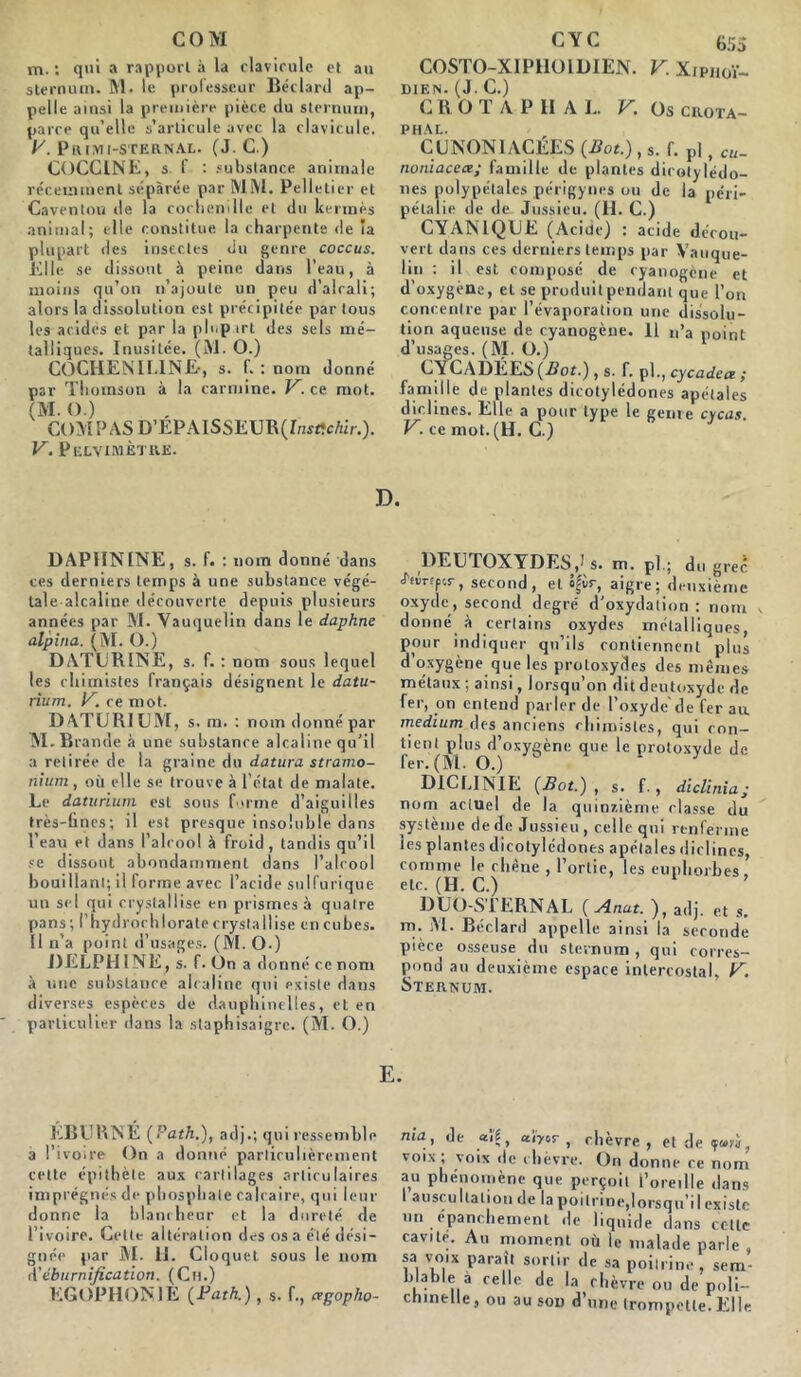 COM m. : qui a rapport à la clavicule et au sternum. M. le professeur Béclard ap- pelle ainsi la première pièce du sternum, parce qu’elle s’articule avec la clavicule. y. PtUMI-S'CERNAL. (J. C.) COCCINE, s f. : substance animale récemment séparée par MM. Pelletier et Caventou de la cocliemlle et du kermès animal; elle constitue la charpente de la plupart des insectes du genre coccus. Elle se dissout à peine dans l’eau, à moins qu’on n’ajoute un peu d’alcali; alors la dissolution est précipitée par tous les acides et par la pI>.p irt des sels mé- talliques. Inusitée. (M. O.) COCHEN II.1NE-, s. f. : nom donné par Thomson à la carminé. V. ce mot. (M. O.) COMPAS D’EPAlSSEUR(/uitîc/dr.). V. Pblvimètre. CYC 655 COSTO-XIPHOIDIEN. V. Xipuoï- DIEN. (J. C.) C R O T A P II A L. V. Os crota- PHAL. CUNONIACÉES {Bot.), s. f. pl, cu- noniaceœ; famille de plantes dicotylédo- nes polypétales périgynes ou de la péri- pétalie de de Jussieu. (H. C.) CYANIQLE (Acide) : acide décou- vert dans ces derniers temps par Vauque- lin : il est composé de cyanogène et d’oxygène, et se produit pendant que l’on concentre par l’évaporation une dissolu- tion aqueuse de cyanogène. Il u’a point d’usages. (M. O.) CYCADÉES {Bot.) , s. f. pl., cycadea ; famille de plantes dicotylédones apétales diclines. Elle a pour type le genre cvcas. V. ce mot. (H. C.) D. DAPHN1NE, s. f. : nom donné dans ces derniers temps à une substance végé- tale alcaline découverte depuis plusieurs années par M. Yauquelin dans le daphne alpina. (M. O.) DATLR1NE, s. f. : nom sous lequel les chimistes français désignent le datu- rium. y. ce mot. DATURI LM, s. ra. : nom donné par M.Brande à une substance alcaline qu’il a retirée de la graine du datura stramo- nium , où elle se trouve à l’état de malate. Le daturium est sous forme d’aiguilles très-fines; il est presque insoluble dans l’eau et dans l’alcool à froid, tandis qu’il se dissout abondamment dans l'alcool bouillant; ii forme avec l’acide sulfurique un sel qui crystallise en prismes à quatre pans; Phydrochlorate crystallise en cubes. Il n’a point d’usages. (M. O.) DELPHINE , s. f. On a donné ce nom à line substance alcaline qui existe dans diverses espèces de dauphinelles, et en particulier dans la staphisaigre. (M. O.) DELTOXYDES/s. m. pl ; du grec •Lvnpir, second, et ôfvr, aigre; deuxième oxyde, second degré d’oxydation : nom , donné à certains oxydes métalliques, pmir indiquer qu’ils contiennent plus d’oxygène que les protoxydes des mêmes métaux ; ainsi, lorsqu’on dit deutoxyde de 1er, on entend parler de l’oxyde de fer au. medium des anciens chimistes, qui con- tient plus d’oxygène que le protoxyde de fer. (M. O.) D1CUNIE (Bot.), s. f., diclinia; nom actuel de la quinzième classe du système de de Jussieu, celle qui renferme les plantes dicotylédones apétales diclines, comme le chêne , l’ortie, les euphorbes, etc. (H. C.) DUO-STERNAL { Anat. ), adj. et s. m. M. Béclard appelle ainsi la seconde pièce osseuse du sternum , qui corres- pond au deuxième espace intercostal. V~. Sternum. E. KBURNÉ (Path.), adj.; qui ressemble a l’ivoire On a donné particulièrement cette épithète aux cartilages articulaires imprégnés de phosphate calcaire, qui leur donne la blancheur et la dureté de l’ivoire. Cette altération des os a été dési- gnée par M. H. Cioquet sous le nom d’éburnification. (Ch.) EGOPHONIE (J?ath.), s- f., cegopho- nia, de «i'(, aïyor , chèvre, et de furù, voix; voix de chèvre. On donne ce nom au phénomène que perçoit l’oreille dans auscu nation de la poi l ri ne, lors qu’il existe un épanchement de liquide dans cette cavité. Au moment où le malade parle sa voix parait sortir de sa poitrine , sem- blable à relie de la chèvre ou de poli- chinelle, ou au sou d’une trompette.Elle