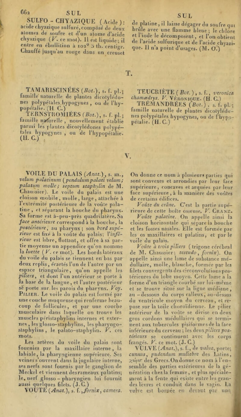 G6i S U L SULFO- CHYAZIQUE (Acide): acide chyazique sulfuré, compose de deux atomes de soufre et d’un atome d’acide cliyaziquc (V. ce mot). Il est liquide; il entre en ébullition à 1029 tb. centigr. Chauffé jusqu’au rouge dans un creuset TAMARISCINÉES (Bot.), s. f. pl.; famille naturelle de plantes dicotylédo- nes polypélales hypogynes , ou de l’hy- popélalie. (H C.) T K RNST R O MIË ES (Bot.), s. f. rl.; famille naturelle , nouvellement établie parmi les plantes dicotylédones polypé— taies hypogynes , ou de l’hypopctalie. S U L de platine , il laisse dégager du soufre qui brûle avec une flamme bleue; le chlore et l’iodé le décomposent, et l’on obtient de l’acide sulfurique et de l’acide chyazi- que. 11 n’a point d’usages. (M. O.) T. 1 EUCHIETE ( Bot. ) , s. f., veronica chamœdrys. V. VÉRONIQUE. (H. C.) TREiVlANDRÉES (Bot.) , s. f. pi.; famille naturelle de plantes dicotylédo- nes polypélales hypogynes, ou de i’bypo- pe'talie. (II. C.) V. VOILE DU PALAIS (Anat.), s. m., vélum palatinum (pendulum palati vélum; palatum molle; septum staphylin de M. Chaussier). Le voile du palais est une cloison mobile, molle, large, attachée à 1 extrémité postérieure de la voûte pala- tine , et séparant la bouche du pharynx. Sa forme est à-peu-près quadrilatère.Sa jace antérieure correspond à la bouche, la postérieure, au pharynx; son bord supé- rieur est fixé à la voûte du palais; l'infé- rieur est libre, flottant, et offre à sa par- tie moyenne un appendice qu’on nomme la luette (lé. ce mot). Les bords latéraux du voile du palais se tiennent en bas par deux replis, écartés l’un de l’autre par un espace triangulaire, qu’on appelle les piliers, et dont l’un antérieur se porte à la base de la langue, et l’autre postérieur sè' porte sur les parois du pharynx. Voy. Pilier. Le voile du palais est formé par une couche muqueuse qui renferme beau- coup de follicules, et par une couche musculaire dans laquelle on trouve les muscles péristaphylins internes et exter- nes , les glosso-staphylins, lespharyngo- staphylins , le palato-staphylin. V. ces mots. Les artères du voile du palais sont fournies par la maxillaire interne, la labiale, la pharyngienne supérieure. Ses veines s’ouvrent dans la jugulaire interne, ses nerfs sont fournis par le ganglion de Merkel et viennent desrameaux palatins; le, nerf ^glosso - pharyngien lui fournit aussi quelques filets. (J.C.) VOUTE (Anat.), s. f. ,/brnix, caméra. On donne ce nom à plusieurs parties qui sont convexes et arrondies par leur face supérieure, concaves et arquées parleur face supérieure, à la manière des voûtes de certains édifices. Voûte du crâne. C’est la partie supé- rieure de celte boîte osseuse. V. Crâne. Voûte palatine. On appelle ainsi la cloison horizontale qui sépare la bouche et les fosses nasales. Elle est formée par les os maxillaires et palatins, et parle voile du palais. Voûte à trois piliers ( trigone cérébral de M. Chaussier; testudo, fornix). On appelle ainsi une lame de substance mé- dullaire, molle, blanche, formée par les filets convergents des circonvolulionspos- léricures du lobe moyen. Celte lame a la forme d’un triangle courbé sur lui-même et se trouve situé sur la ligne médiane, au - dessous du corps calleux, au-dessus du ventricule moyen du cerveau, et re- pose sur la toile choroïdienne. Le pilier antérieur de la voûte se divise en deux gros cordons médullaires qui se termi- nent aux tubercules pisiformes de la face inférieure du cerveau ; les deux piliers pos- térieurs se continuent avec les corps frangés. V. ce mot. (J. C ) VULVE (Anat.), s. f., de valva, porte; cttnnus, pudendum mulicbre des Latins, ^oîpor des Grecs.On donne ce nom à l’en- semble des parties extérieures de la gé- nération chez la femme, et plus spéciale- ment à la fente qui existe entre les gran- des lèvres et conduit dans le vagin. La vulve est bornée en devant par une