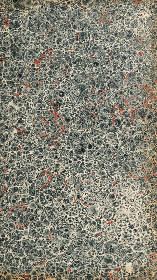 digitised image 3