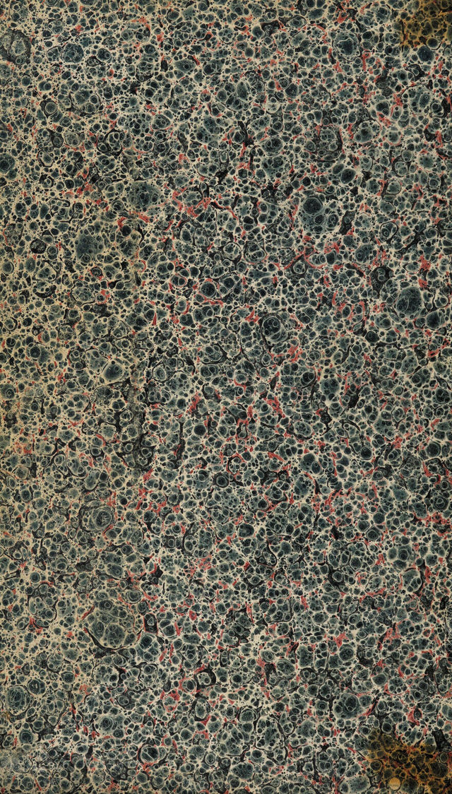 digitised image 2