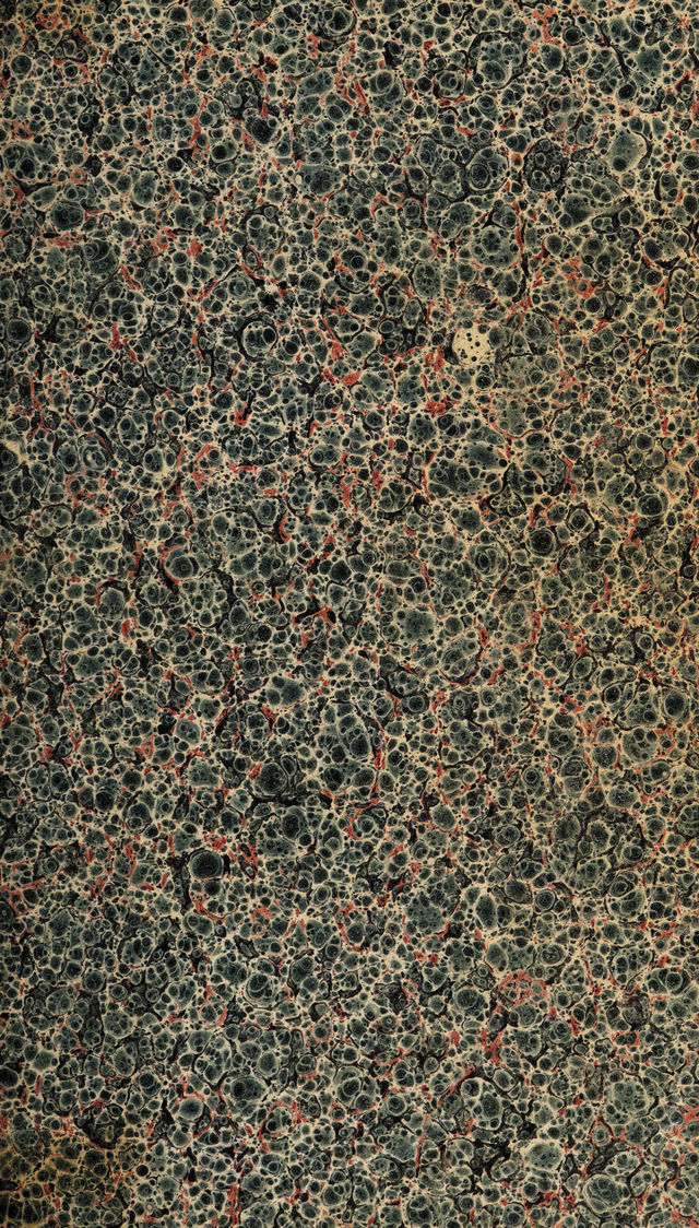 digitised image 3