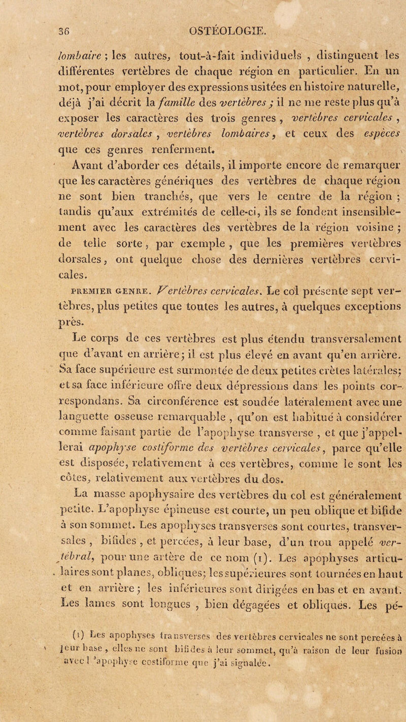 lombaire ; les autres^ tout-à-fait individuels , distinguent les différentes vertèbres de chaque région en particulier. En un mot, pour employer des expressions usitées en histoire naturelle, déjà j’ai décrit la famille des vertèbres ^ il ne me reste plus qu’à exposer les caractères des trois genres , vertèbres ceivicales , vertèbres dorsales , vertèbres lombaires, et ceux des espèces que ces genres renferment. Avant d’aborder ces détails, il importe encore de remarquer que les caractères génériques des vertèbres de chaque région ne sont bien tranchés, que vers le centre de la région ; tandis qu’aux extrémités de celle-ci, ils se fondent insensible- ment avec les caractères des vertèbres de la région voisine ^ de telle sorte, par exemple , que les premières vertèbres dorsales, ont quelque chose des dernières vertèbres cervi- cales. PREMIER GENRE. ertèbrcs cervicales. Le col présente sept ver- tèbres, plus petites que toutes les autres, à cjuelcjues exceptions près. Le corps de ces vertèbres est plus étendu transversalement que d’avant en arrière; il est plus élevé en avant qu’en arrière. Sa face supérieure est surmontée de deux petites crêtes latérales; et sa face inférieure ofïVe deux dépressions dans les points cor-, respondans. Sa circonférence est soudée latéralement avec une languette osseuse remarc|uable , qu’on est iiabitué à considérer comme faisant partie de l’apopbi^se transversc , et que j’appel- lerai apophyse costiforme des vertèbres cervicales parce qu’elle est disposée, relativement à ces vertèbres, comme le sont les côtes, relativement aux vertèbres du dos. La masse apophysaire des vertèbres du col est généralement petite. L’apophyse épineuse est courte, un peu oblique et bifide à son sommet. Les apophyses transverses sont courtes, transver- sales , bifides , et percées, à leur base, d’un trou appelé ver- tébral^ pour une artère de ce nom (i). Les apophyses articu- laires sont planes, obliques; les supérieures sont tournées en haut et en arrière ; les inférieures sont dirigées en bas et en avant. Les lames sont longues , bien dégagées et obliques. Les pé- (i) Les apophyses transv jour base , elles ne sont hiii avecl ’apophyre costiforme ej'ses des vertèbres cervicales ne sont percées à des à leur sommet, qu’à raison de leur fusion que j’ai signalée.