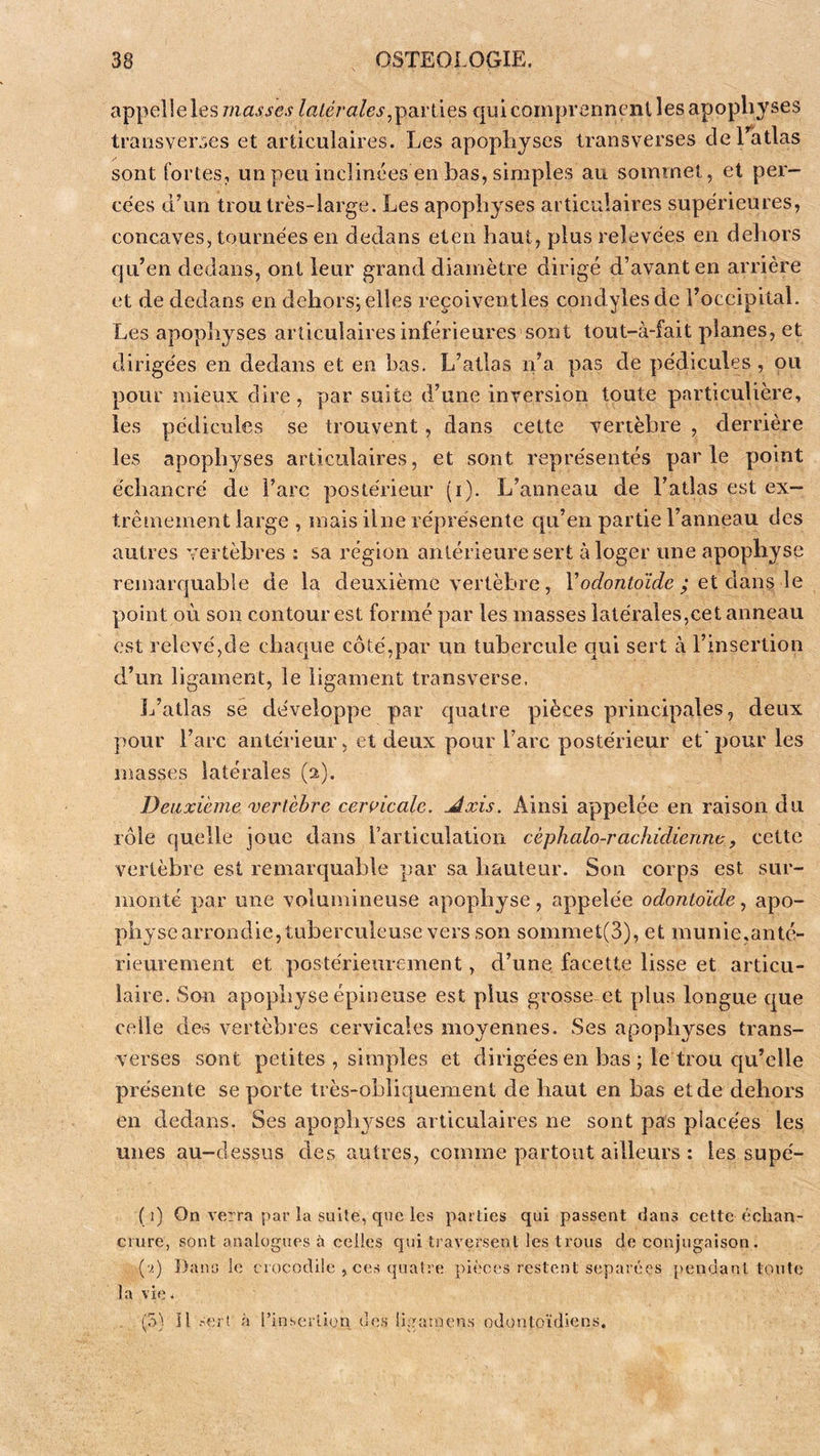 appelle les masses latéralesqui comprennent les apophyses transverses et articulaires. Les apophyses transverses de l’atlas sont fortes, un peu inclinées en bas, simples au sommet, et per- cées d’un trou très-large. Les apophyses articulaires supérieures, concaves, tournées en dedans eten haut, plus relevées en deliors qu’en dedans, ont leur grand diamètre dirigé d’avant en arrière et de dedans en dehors;elles reçoiventles condylesde l’occipital. Les apophyses articulaires inférieures sont tout-à-fait planes, et dirigées en dedans et en bas. L’atlas n’a pas de pédicules, ou pour mieux dire, par suite d’une inversion toute particulière, les pédicules se trouvent, dans cette vertèbre, derrière les apophyses articidaires, et sont représentés parle point échancré de l’arc postérieur (i). L’anneau de l’atlas est ex— trêtnement large , mais ilne réprésente qu’en partie l’anneau des autres vertèbres : sa région antérieure sert à loger une apophyse remarquable de la deuxième vertèbre, l’od’onioi'^/e ; et dans le point où son contour est formé par les masses latérales,cet anneau est relevé,de chaque côté,par un tubercule qui sert à l’insertion d’un ligament, le ligament transverse. L’atlas sé développe par quatre pièces principales, deux pour l’arc antérieur, et deux pour l’arc postérieur et' pour les masses latérales (2). Deuxième xerlèbre cerç^icale. Jlxis. Ainsi appelée en raison du rôle quelle joue dans l’articulation céphalo-rachidienne, cette vertèbre est remarquable par sa hauteur. Son corps est sur- monte par une volumineuse apophyse, appelée odontoïde^ apo- physe arrondie, tuberculeuse vers son sommet(3), et munie,anté- rieurement et postérieurement, d’une facette lisse et articu- laire. Son apophyse épineuse est plus grosse et plus longue que celle des vertèbres cervicales moyennes. Ses apophyses trans- verses sont petites , simples et dirigées en bas ; le trou c[u’olle présente se porte très-obliquement de haut en bas et de dehors en dedans. Ses apoph3^ses articulaires ne sont pas placées les unes au-dessus des autres, comme partout ailleurs : les supé- (1) On verra par la suite, qnc les parties qui passent dans cette échan- crure, sont analogues à celles qui traversent les trous de coirjugaison. (v.) Banale crocodile , ces quatre pièces restent séparées pendant toute la vie. (5) Il .-ert à rinserlion des ligatnens odonioïdiens.