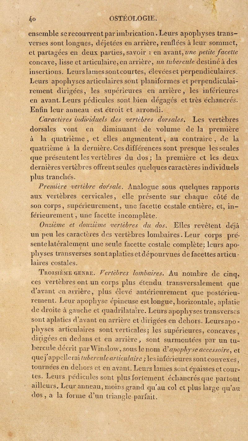 ensemble se recouvrent par imbrication. Leurs apophyses trans- verses sont longues, déjetées en arrière, renflées à leur sommet, et partagées en deux parties, savoir : en avant, zme peLite facette concave, lisse et articulaire, en arrière, un tubercule destiné à des insertions. Leurs lames sont courtes, élevées et perpendiculaires. Leurs apoplij'ses articulaires sont planiformes et perpendiculai- rement dirigées, les supérieures en arrière, les inférieures en avant. Leurs pédicules sont bien dégagés et très écliancrés. Enfin leur anneau est étroit et arrondi. Caractères iudwiduels des vertèbres dorsales» Les vertèbres dorsales vont en diminuant de volume de la première à la quatrième , et elles augmentent, au contraire , de la quatrième à la dernière. Ces différences sont presque les seules que présentent les vertèbres du dos y la première et les deux dernières vertèbres offrent seules quelques caractères individuels plus tranchés. Première vertèbre dorsale. Analogue sous quelques rapports aux vertèbres cervicales, elle présente sur chaque côté de son corps, supérieurement, une facette cestale entière, et, in- férieurement , une facette incomplète. Onzième et douzième vertèbres du dos. Elles revêtent déjà un peu les caractères des vertèbres lombaires.Leur corps pré- sente latéralement une seule facette costale complète; leurs apo- physes transverses sont aplaties et dépourvues de facettes articu- laires costales. Troisième genre. Certèbres loifibaires. Au nombre de cinq, ces vertèbres ont un corps plus étendu transversalement que d’avant en arrière, plus élevé antérieurement que postérieu- rement. Leur apophyse épineuse est longue, horizontale, aplatie de droite a gauche et quadrilataire. Leurs apophyses transverses sont aplaties d’avant en arrière et dirigées en dehors. Leurs apo- physes articulaires sont verticales; les supérieures, concaves, dirigées en dedans et en arrière^ sont surmontées par un tu- bercule décrit parWinslow, sous lenom à' apophyse accessoire y et que j appellerai tubercule articulaire fes inférieures sonteonvexes, tournées en dehors et en avant. Leurs lames sont épaisses et cour- tes. Leurs pédicules sont plus fortement échancrés que partout ailleurs. Leur anneau, moins grand quhiu col et plus large qu’au dos, a la forme d’un triangle parfait.