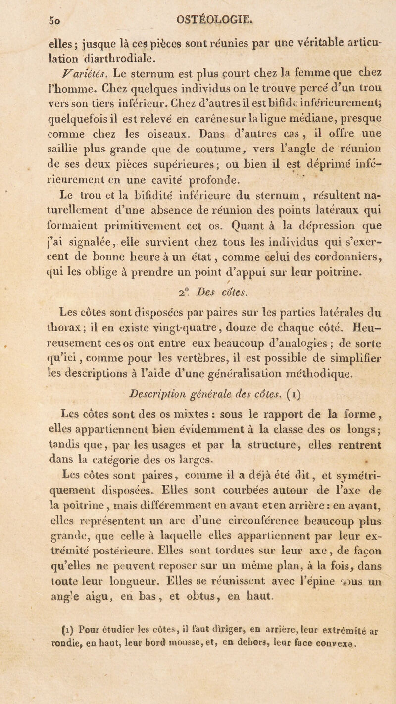 elles ; jusque là ces pièces sont re'unies par une véritable articu- lation diarthrodiale. J^ariétés. Le sternum est plus court chez la femme que chez l’homme. Chez quelques individus on le trouve percé d’un trou vers son tiers inférieur. Chez d’autres il est bifide inférieurement; quelquefois il est relevé en carène sur la ligne médiane, presque comme chez les oiseaux. Dans d’autres cas , il offre une saillie plus grande que de coutume, vers l’angle de réunion de ses deux pièces supérieures ; ou bien il est déprimé infé- rieurement en une cavité profonde. Le trou et la bifidité inférieure du sternum , résultent na- turellement d’une absence de réunion des points latéraux qui formaient primitivement cet os. Quant à la dépression que j’ai signalée, elle survient chez tous les individus qui s’exer- cent de bonne heure à un état, comme celui des cordonniers, qui les oblige à prendre un point d’appui sur leur poitrine. / 2° Des cotes. Les côtes sont disposées par paires sur les parties latérales du thorax; il en existe vingt-quatre, douze de chaque côté. Heu- reusement ces os ont entre eux beaucoup d’analogies ; de sorte qu’ici, comme pour les vertèbres, il est possible de simplifier les descriptions à l’aide d’une généralisation méthodique. Description générale des côtes, (i) Les côtes sont des os mixtes : sous le rapport de la forme , elles appartiennent bien évidemment à la classe des os longs ; tandis que, par les usages et par la structure, elles rentrent dans la catégorie des os larges. Les côtes sont paires, comme il a déjà été dit, et symétri- quement disposées. Elles sont courbées autour de l’axe de la poitrine, mais différemment en avant et en arrière : en avant, elles représentent un arc d’une circonférence beaucoup plus grande, cjue celle à laquelle elles appartiennent par leur ex- trémité postérieure. Elles sont tordues sur leur axe, de façon qu’elles ne peuvent reposer sur un même plan, à la fois, dans toute leur longueur. Elles se réunissent avec l’épine '^«.aus un ang'C aigu, en bas, et obtus, en haut. (i) Pour étudier les côtes, il faut diriger, en arrière, leur extrémité ar rondie, en haut, leur bord mousse,et, en dehors, leur face convexe.