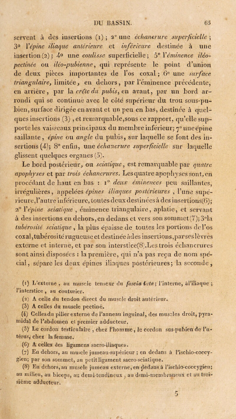 servent à des insertions (i) ; 2 une éclianerure superficielle ; 3® Vépine iliaque aalcrleiire et inférieure destine'e à une insertion(2) ; une coulisse superficielle; Véminence iléo- pectinée ou iléo-puhienne^ qui représente le point d’union de deux pièces importantes de Tos coxal ; 6° une surface triangulaire, WmïiéQ, en deliors, par l’éminence précédente, en arrière, par la crête du pubis, en avant, par un bord ar- rondi qui se continue avec le côté supérieur du trou sous-pu- bien, surface dirigée en avant et un peu en bas, destinée à c|uel- ejues insertions (3) , et remarquable,sous ce rapport, c|u’elle sup- porte les vaisseaux principaux du membre inférieur; '7° une épine saillante, épine ou angle du pubis, sur laquelle se font des in- sertions (4); 8® enfin, une échancrure superficielle, sur lac[uelle glissent quelques organes (5). Le bord postérieur^ ou sciatique, est remarquable par quatre apophyses et par trois échancrures. Lescjuatre apophyses sonU en procédant de haut en bas : i® deux éminences peu saillantes, irrégulières, appelées épines iliaques postérieures , Tune supé- rieure,l’autre inférieure, toutes deux destinées à des insertions(6); 2® Vépine sciatique , éminence triangulaire, aplatie, et servant à des insertions en dehors, en dedans et vers son sommet (7); 3®la tubérosité sciatique , la plus épaisse de toutes les portions de l’os coxal,tubérosité rugueuse et destinée àdes insertions,parseslèvres externe et interne, et par son interstice(8).Les trois échancrures sont ainsi disposées ; la première, qui n’a pas reçu de nom spé- cial, sépare les deux épines iliaques postérieures; la seconde, (1) L’externe, au muscle tenseur du fascia iaia\ Vinlevne, afiliaque ; l’interstice , au couturier. (2) A celle du tendon direct du muscle droit antérieur. (5) A celles du muscle pectine. (4) Celles du pilier externe de l’anneau inguinal, des muscles droit, pyra- midal de Fabdomen et premier adducteur. (5) Le cordon testiculaire , chez l’homme, le cordon sus-pubien de l’u- térus, chez la femme. (6) A celles des ligamens sacro-iliaques. (7) En dehors, au muscle jumeau-supérieur ; en dedans à l’ischio-coccy- gien; par son sommet, au petit ligament sacro-sciatique. (8) En dehors, au muscle jumeau externe, en dedans à i’ischio-coccygien; au milieu, au biceps, au demi-tendineux , au demi-membraneux et au troi- sième adducteur.