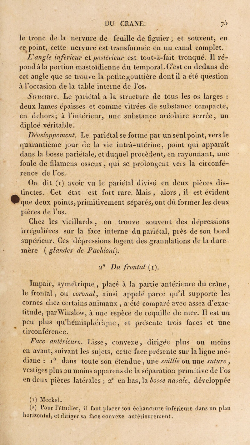 y ^ le tronc de la nervure de feuille de figuier ; et souvent, en ce point, cette nervure est transformée en un canal complet. angle inférieur et postérieur est tont-à-fait tronque'. Il ré- pond à la portion mastoïdienne du temporal. G^est en dedans de cet angle que se trouve la petite gouttière dont il a e'té question à l’occasion de la table interne de l’os. Structure. Le pariétal a la structure de tous les os larges : deux lames épaisses et comme vitrées de substance compacte, en dehors; à l’intérieur, une substance aréolaire serrée, un diploé véritable. Développement. Le pariétal se forme par un seul point, vers le quarantième jour de la vie intra-utérine, point qui apparaît dans la bosse pariétale, et duquel procèdent, en rayonnant, une foule de fdamens osseux, qui se prolongent vers la circonfé- rence de l’os. ' On dit (r) avoir vu le pariétal divisé en deux pièces dis- tinctes. Cet état est fort rare. Mais , alors , il est évident que deux points, primitivement séparés, ont dû former les deux pièces de l’os. Chez les vieillards, on trouve souvent des dépressions irrégulières sur la face interne du pariétal, près de son bord supérieur. Ces dépressions logent des granulations de la dure- mère ( glandes de Pachioni). 2® Du frontal (i). Impair, symétrique, placé à la partie antérieure du crâne, le frontal, ou coronaf ainsi appelé parce qu’il supporte les cornes chez certains animaux, a été comparé avec assez d’exac- titudCj parWinslovv, à une espèce de coquille de mer. Il est un peu plus qu’hémisphérique, et présente trois faces et une circonférence. Face antérieure. Lisse, convexe, dirigée plus ou moins en avant, suivant les sujets, cette face présente sur la ligne mé- diane : dans toute son étendue, une saillie ou une suture, vestiges plus ou moins apparens de la séparation primitive de l’os (în deux pièces latérales ; en bas, la bosse nasale^ développée (0 Mcckel. (?) Pour l’étudier, il faut placer son échancrure inférieure dans un plan horizontal, et diriger sa face convexe anlérieureinent.