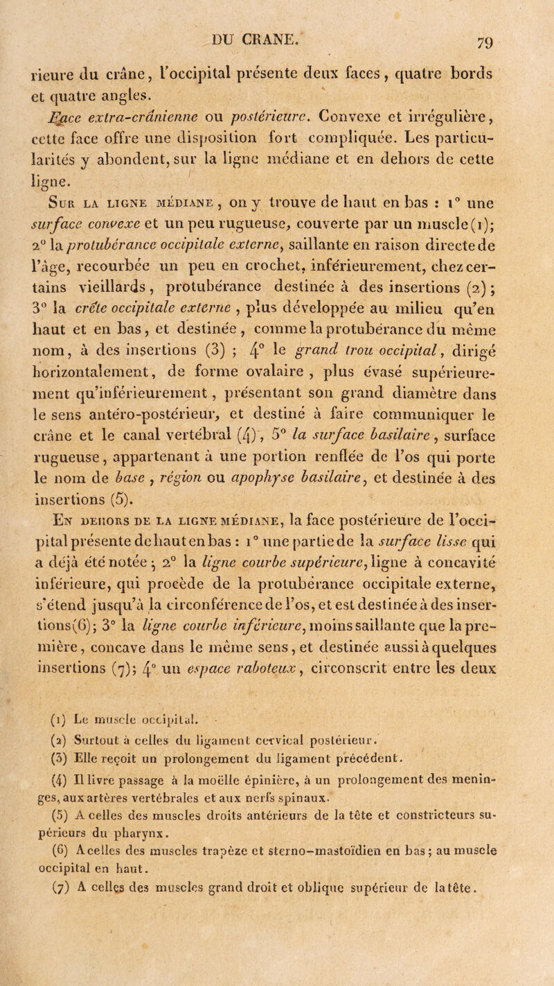 rieure du crâne, l’occipital présente deux faces, quatre bords et quatre angles. Ejficc extra-crânienne ou postérieure. Convexe et irrégulière, cette face offre une disposition fort compliquée. Les particu- larités y abondent, sur la ligne médiane et en dehors de cette ligne. Sur la ligne médiane , on y trouve de haut en bas : i° une surface convexe et un peu rugueuse, couverte par un muscle (i); 2^^ la protubérance occipitale externe^ saillante en raison directe de l’âge, recourbée un peu en crochet, inférieurement, chez cer- tains vieillards , protubérance destinée à des insertions (2) ; 3® la crete occipitale externe , plus développée au' milieu qu’en haut et en bas, et destinée, comme la protubérance du même nom, à des insertions (3) ; 4® le grand trou occipital, dirigé horizontalement, de forme ovalaire , plus évasé supérieure- ment qu’inférieurement, présentant son grand diamètre dans le sens antéro-postérieur, et destiné à faire communiquer le crâne et le canal vertébral (4), 5° la surface basilaire, surface rugueuse, appartenant à une portion renflée de l’os qui porte le nom de base , région ou apophyse basilaire., et destinée à des insertions (5). En dehors de la ligne médiane, la face postérieure de l’occi- pital présente de haut en bas : 1° une partiede la surface lisse qui a déjà été notée ^ 2° la ligne courbe supérieure à concavité inférieure, qui procède de la protubérance occipitale externe, s’étend jusqu’à la circonférence de l’os, et est destinée à des inser- tions(6); 3° la ligne courbe zVîyéricMre, moins saillante que la pre- mière, concave dans le même sens, et destinée aussi à quelques insertions (7); 4 un espace raboteux, circonscrit entre les deux (1) Le muscle occipital. (2) Surtout à celles du ligament cervical postérieur. (3) Elle reçoit un prolongement du ligament précédent. (4) Il livre passage à la moelle épinière, à un prolongement des ménin- gés, aux artères vertébrales et aux nerfs spinaux. (v5) A celles des muscles droits antérieurs de la tête et constricteurs su- périeurs du pharynx. (G) A celles des muscles trapèze et sterno-mastoïdien en bas; au muscle occipital en haut, (7) A celles des muscles grand droit et oblique supérieur de la tête.