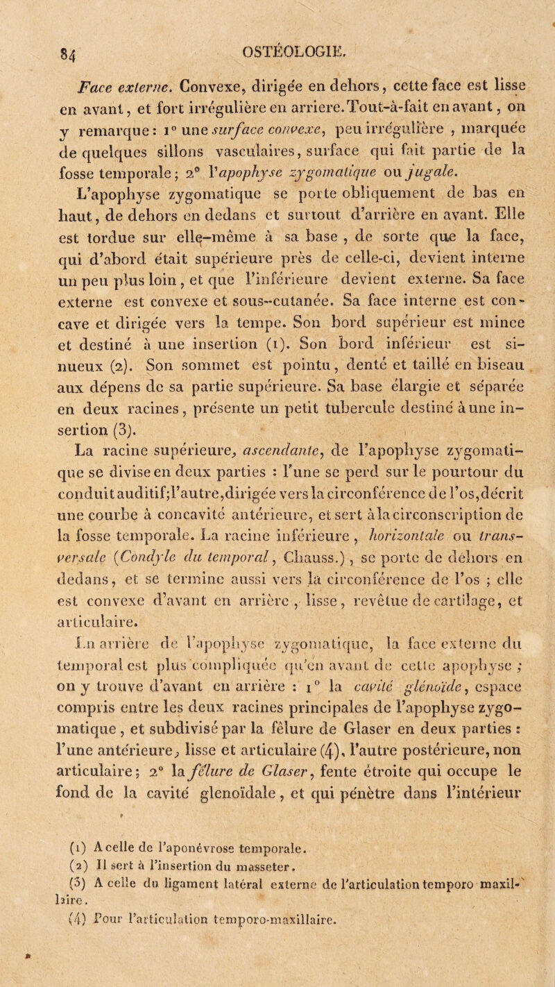 S4 Face externe. Convexe, dirige'e en dehors, cette face est lisse en avant, et fort irrégulière en arriéré. Tout-à-fait en avant, on y remarque: une surface cojwexe^ peu irre'gulîère , marque'e de quelques sillons vasculaires, surface qui fait partie de la fosse temporale ; 2® Vapophyse zygomalique ou jugale. L’apophyse zygomatique se porte obliquement de bas en haut, de dehors en dedans et surtout d’arrière en avant. Elle est tordue sur elle-même à sa base , de sorte que la face, qui d’abord e'tait supe'rieure près de celle-ci, devient interne un peu plus loin, et c{ue l’inférieure devient externe. Sa face externe est convexe et sous-cutanée. Sa face interne est con- cave et dirigée vers la tempe. Son bord supérieur est mince et destiné à une insertion (i). Son bord inférieur est si- nueux (2). Son sommet est pointu, denté et taillé en biseau aux dépens de sa partie supérieure. Sa base élargie et séparée en deux racines, présente un petit tubercule destiné à une in- sertion (3). 1 La racine supérieure, ascendante., de l’apophyse zygomati- que se divise en deux parties : Tune se perd sur le pourtour du conduit auditifd’autre,dirigée vers la circonférence de l’os,décrit une courbe à concavité antérieure, et sert àlacirconscription de la fosse temporale. La racine inférieure , horizontale ou trans- versale {Condyle du temporal, Chauss.) , se porte de dehors en dedans, et se termine aussi vers la circonférence de l’os ; elle est convexe d’avant en arrière , lisse, revêtue de cartilage, et articulaire. lai arrièie de l’apopiiyse zygomatique, la face externe du temporal est plus compliquée qu'en avant de cette apophyse; 011 y trouve d’avant en arrière ; 1° la cavité glénoïde, compris entre les deux racines principales de l’apophyse zj^go- matique , et subdivisé par la fêlure de Glaser en deux parties : l’une antérieure, lisse et articulaire (4). l’autre postérieure, non articulaire; 2“ Xd^feliire de Glaser, fente étroite qui occupe le fond de la cavité glenoïdale, et qui pénètre dans l’intérieur (1) A celle de Taponévrose temporale. (2) Il sert à l’insertion du iiiasseter. (3) A celle du ligament latéral externe de l’articulation temporo maxil-' Lire.