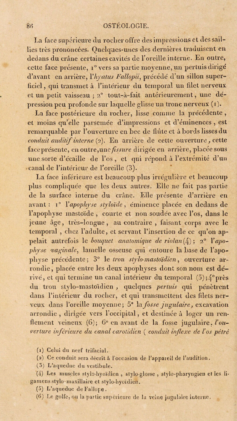 La face supérieure du rocher offre des impressions et des sail- lies très prononcées. Quelques-unes des dernières traduisent en dedans du crâne certaines cavite's de Toreille interne. En outre, cette face présente, i® vers sa partie moyenne, un pertuis dirigé d’avant en arrière, Yhyatus Fallopii^ précédé d’un sillon super- ficiel , qui transmet à l’intérieur du temporal un filet nerveux et un petit vaisseau ; 2° tout-à~fait antérieurement, une dé- pression peu profonde sur laquelle glisse un tronc nerveux ( i ). La face postérieure du rocher, lisse comme la précédente, et moins qu’elle parsemée d’impressions et d’éminences , est remarciuable par l’ouverture en bec de flûte et à bords lisses du conduit auditif interne '\p). En arrière de eette ouverture, cette faceprésente, en outre,unedirigée en arrière, placée sous une sorte d’écaille de l’os , et qui répond à l’extrémité d’un /canal de l’intérieur de Toreille (3). La face inférieure est beaucoup plus irrégulière et beaucoup plus complic|uée que les deux autres. Elle ne fait pas partie de la surface interne du crâne. Elle présente d’arrière en avant : Y apophyse styloïde, éminence placée en dedans de l’apophyse mastoïde , courte et non soudée avec l’os, dans le jeune âge, très-longue, au contraire , faisant corps avec le temporal , chez l’adulte, et servant l’insertion de ce cju’on ap- pelait autrefois le bouquet anatomique de riolan[l\) , 2® Yapo-- pliyse 'va^inale^ lamelle osseuse qui entoure la base de l’apo- physe précédente ; 3® le trou stylo-mastoïdien, ouverture ar- rondie, placée entre les deux apophyses dont son nom est dé- rivé, et qui termine un canal intérieur du temporal (5);4‘’près du trou stylo-mastoïdien , quelques pertuis qui pénètrent dans l’intérieur du rocher, et c|ui transmettent des fdets ner- veux dans l’oreille moyenne; 5® \<x fosse jugulaire, excavation arrondie , dirigée vers l’occipital, et destinée à loger un ren- flement veineux (6); 6° en avant de la fosse jugulaire, verture inférieure du canal carotidien ( conduit inflexe de Vos pétré (1) Celui du nerf trifacial. (2) Ce conduit sera décrit à l’occasion de l’appareil de l’audition. (5) L’aqueduc du vestibule. (4) Les muscles stylo-hyoïdien , slylo-glossc , stylo-pharyngien et les îi- gamens stylo-maxillaire et stylo-hyoïdien, (5) L’aqueduc de Fallope . (6) ].e golfe, ou la partie supérieure de la veine jugulaire interne.