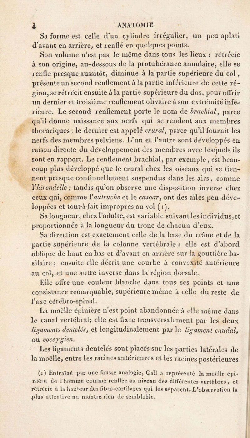 Sa forme est celle d’un cylindre irrégulier, ma peu aplati d’avant en arrière, et renflé en quelques points. Son volume n’est pas le même dans tous les lieux .* re'trécie à son origine, au-dessous de la protubérance annulaire, elle se renfle presque aussitôt, diminue à la partie supe'rieure du col, présente un second renflement à la partie inférieure de cette ré- gion, se rétrécit ensuite à la partie supérieure du dos, pour offrir un dernier et troisième renflement olivaire à son extrémité infé- > rieure. Le second renflement porte le nom de brachial^ parce c|u’il donne naissance aux nerfs qui se rendent aux membres thoraciques ; le dernier est appelé crural, parce qu’il fournit les nerfs des membres pelviens. L’un et l’autre sont développés en raison directe du développement des membres avec lesquels ils sont en rapport. Le renflement brachial, par exemple , ek beau- coup plus développé que le crural chez les oiseaux qui se tien- nent presque continuellement suspendus dans les airs, comme y hirondelle ^ tandis qu’on observe une disposition inverse chez ceux qui, comme Vautruche et le casoar, ont des ailes peu déve- loppées et toul-à-fait impropres au vol ( t). Sa longueur, chez l’adulte, est variable suivant les individus,et proportionnée à la longueur du tronc de chacun d’eux. Sa direction est exactement celle de la base du crâne et de la partie supérieure de la colonne vertébrale : elle est d’abord oblique de haut en bas et d’avant en arrière sur la gouttière ba- silaire ; ensuite elle décrit une courbe à convexité antérieure au col, et une autre inverse dans la région dorsale. Elle offre une couleur blanche dans tous^ ses points et une consistance remarquable, supérieure même à celle du reste de l’axe cérébro-spinal. La moelle épinière n’est point abandonnée à elle même dans le canal vertébral; elle est fixée transversalement par les deux ligaments dentelés, et longitudinalement par le ligament caudal, ou coccygien. Les ligaments dentelés sont placés sur les parties latérales de la moelle, entre les racines antérieures et les racines postérieures (i) Entraîné par une fausse analogie, Gall a représenté la moelle épi- nière (le l’homme comme renflée au nireau des différentes vertèbres , et rétrécie à la hauteur des fihro-cartilages qui les séparent. L'observation la plus attenlivc ne montre rien de semblable.
