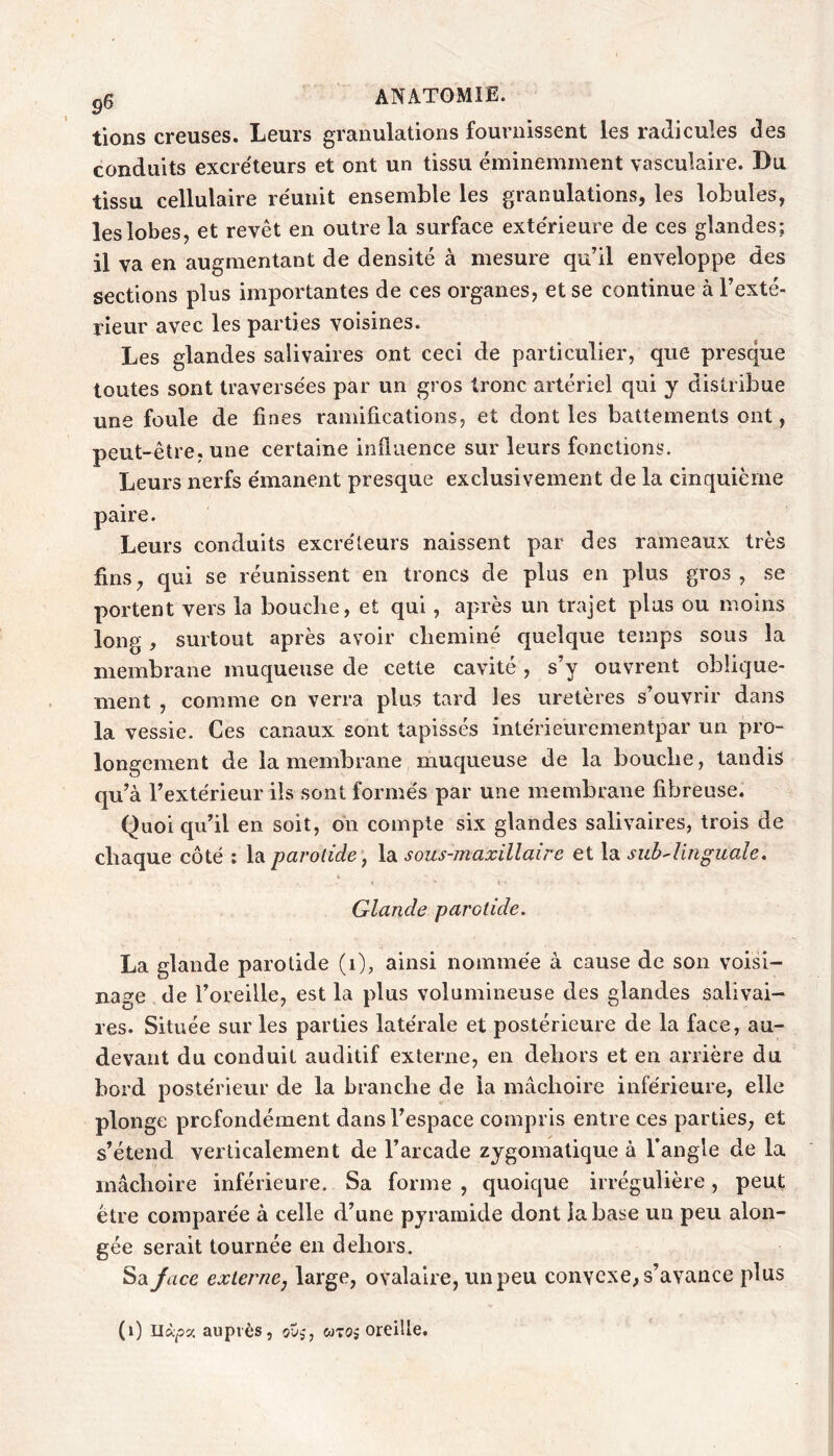 g5 ANATOMIE. tiens creuses. Leurs granulations fournissent les radicules des conduits excre'teurs et ont un tissu éminemment vasculaire. Du tissu cellulaire re'unit ensemble les granulations, les lobules, les lobes, et revêt en outre la surface extérieure de ces glandes; il va en augmentant de densité à mesure qu’il enveloppe des sections plus importantes de ces organes, et se continue à l’exté- rieur avec les parties voisines. Les glandes salivaires ont ceci de particulier, que presque toutes sont traversées par un gros tronc artériel qui y distribue une foule de fines ramifications, et dont les battements ont, peut-être, une certaine influence sur leurs fonctions. Leurs nerfs émanent presque exclusivement de la cinquième paire. Leurs conduits excréteurs naissent par des rameaux très fins, qui se réunissent en troncs de plus en plus gros , se portent vers la bouche, et qui, après un trajet plus ou moins long , surtout après avoir cheminé quelque temps sous la membrane muqueuse de cette cavité, s’y ouvrent oblique- ment , comme on verra plus tard les uretères s’ouvrir dans la vessie. Ces canaux sont tapissés intérieurementpar un pro- longement de la membrane muqueuse de la bouche, tandis qu’à l’extérieur ils sont formés par une membrane fibreuse. Quoi qu’il en soit, on compte six glandes salivaires, trois de chaque côté ; la parotide ) la sous-maxillaire et la suhAinguale» Glande parotide. La glande parotide (i), ainsi nommée à cause de son vois!- na^^e de l’oreille, est la plus volumineuse des glandes salivai- res. Située sur les parties latérale et postérieure de la face, au- devant du conduit auditif externe, en dehors et en arrière du bord postérieur de la branche de la mâchoire inférieure, elle plonge profondément dans l’espace compris entre ces parties, et s’étend verticalement de l’arcade zygomatique à l’angle de la mâchoire inférieure. Sa forme, quoique irrégulière, peut être comparée à celle d’une pyramide dont la base un peu alon- gée serait tournée en dehors. Sa Jace externej large, ovalaire, un peu convexe, s’avance plus (i) Uà^îc auprès, ovj, wtos oreille.