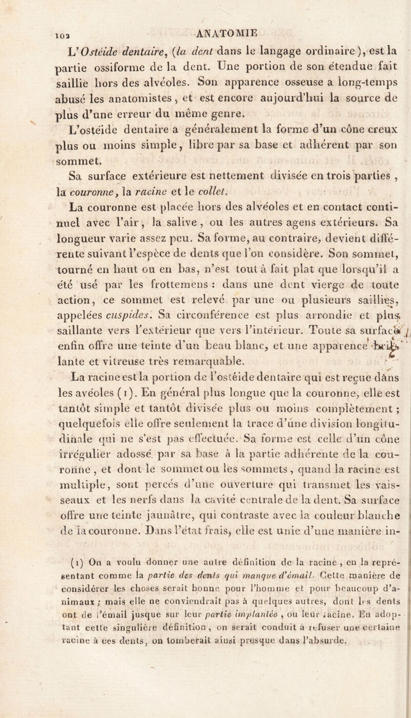 \JOstéide dentaire^ {la dent dans le langage ordinaire ), est la partie ossiforme de la dent. Une portion de son étendue fait saillie hors des alvéoles. Son apparence osseuse a long-temps abusé les anatomistes ^ et est encore aujourd’hui la source de plus d’une erreur du même genre. L’ostéide dentaire a généralement la forme d’un cône creux plus ou moins simple, libre par sa base et adhérent par son sommet. Sa surface extérieure est nettement divisée en trois parties , la couronne f la racine et le collet. La couronne est placée hors des alvéoles et en contact conti- nuel avec l’air, la salive , ou les autres agens extérieurs. Sa longueur varie assez peu. Sa forme, au contraire, devient diffé- rente suivant l’espèce de dents que l’on considère. Son sommet, tourné en haut ou en bas, n’est tout à fait plat que lorsqu’il a été'usé par les frottemens : dans une dent vierge de toute action, ce sommet est relevé par une ou plusieurs saillies, appelées cuspides. Sa circonférence est plus arrondie et plua saillante vers Textérieur que vers rintérieur. Toute sa surfack j enfin offre une teinte d’un beau blanc, et une apparence lante et vitreuse très remarquable. • ‘ A La racine est la portion de l ostéide dentaire qui est reçue dans les avéoles (i). En général plus longue que la couronne, elle est tantôt simple et tantôt divisée plus ou moins complètement ; quelquefois elle offre seulement la trace d’une division longitu- dinale qui ne s’est pas effectuée. Sa forme est celle d’un cône irrégulier adossé, par sa base à la partie adhérente de la cou- ronne , et dont le sommet ou les sommets , quand la racine est multiple, sont percés d’une ouverture qui transmet les vais- seaux et les nerfs dans la cavité centrale de la dent. Sa surface offre une teinte jaunâtre, qui contraste avec la couleui blaïuhe I de la couronne. Dans l’état frais, elle est unie d’une manière in- i (i) On a voulu donner une autre définition de la racine, en la repré- j eentant comme la partie des dents qui manque d*émail- Cette manière de | considérer les choses serait bonne pour l’homme et pour beaucoup d’a- j nimaux; mais elle ne conviendrait pas à quelques autres, dont les dents | ont de l’émail jusque sur leur partie implantée , ou leur iacine. Eu adop- tant cette singulière définition , on serait conduit à refuser une certaine racine à ces dents, on tomberait ainsi presque dans l’absurvde.