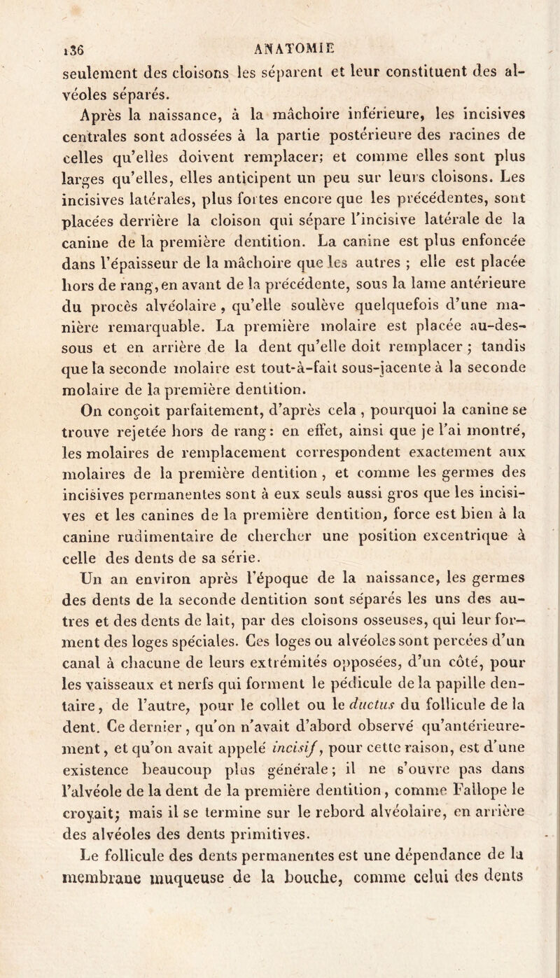 seulement des cloisons les séparent et leur constituent des al- véoles séparés. Après la naissance, à la mâchoire inférieure, les incisives centrales sont adossées à la partie postérieure des racines de celles qu’elles doivent remplacer; et comme elles sont plus larges qu’elles, elles anticipent un peu sur leurs cloisons. Les incisives latérales, plus fortes encore que les précédentes, sont placées derrière la cloison qui sépare Lincisive latérale de la canine de la première dentition. La canine est plus enfoncée dans l’épaisseur de la mâchoire que les autres ; elle est placée hors de rang, en avant de la précédente, sous la lame antérieure du procès alvéolaire , qu’elle soulève quelquefois d’une ma- nière remarquable. La première molaire est placée au-des- sous et en arrière de la dent qu’elle doit remplacer; tandis que la seconde molaire est tout-à-fait sous-jacente à la seconde molaire de la première dentition. On conçoit parfaitement, d’après cela , pourquoi la canine se trouve rejetée hors de rang: en effet, ainsi que je l’ai montré, les molaires de remplacement correspondent exactement aux molaires de la première dentition, et comme les germes des incisives permanentes sont à eux seuls aussi gros que les incisi- ves et les canines de la première dentition, force est bien à la canine rudimentaire de chercher une position excentrique à celle des dents de sa série. Un an environ après l’époque de la naissance, les germes des dents de la seconde dentition sont séparés les uns des au- tres et des dents de lait, par des cloisons osseuses, qui leur for- ment des loges spéciales. Ces loges ou alvéoles sont percées d’un canal à cliacune de leurs extrémités opposées, d’un côté, pour les vaisseaux et nerfs qui forment le pédicule delà papille den- taire, de l’autre, pour le collet ou Xe ductiis du follicule delà dent. Ce dernier, qu’on n’avait d’abord observé qu’antérieure- ment, et qu’on avait appelé incisif ^ pour cette raison, est d’une existence beaucoup plus générale ; il ne s’ouvre pas dans l’alvéole de la dent de la première dentition, comme Fallope le croyait; mais il se termine sur le rebord alvéolaire, en arrière des alvéoles des dents primitives. Le follicule des dents permanentes est une dépendance de la membrane muqueuse de la bouche, comme celui des dents