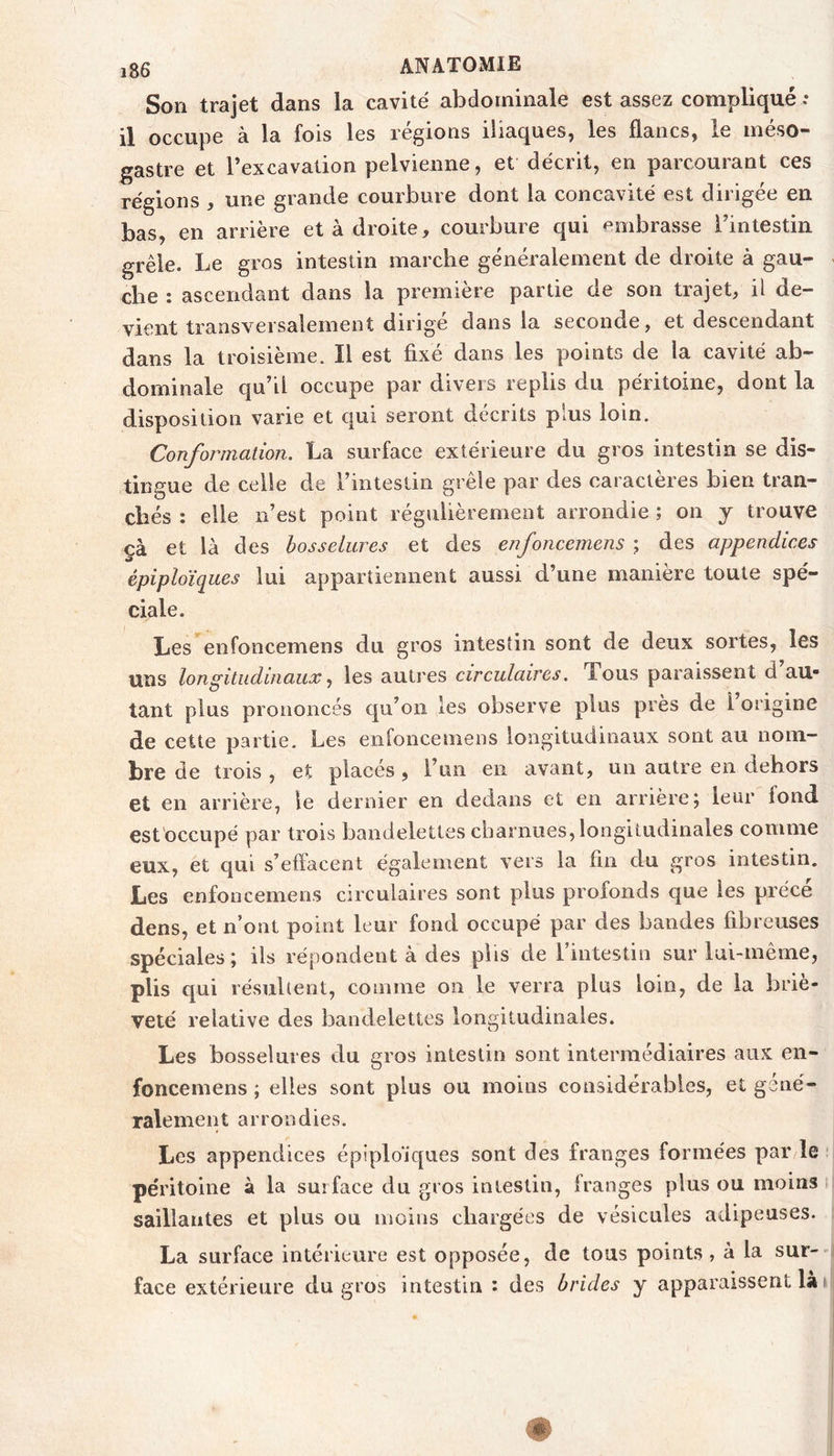 Son trajet dans la cavité abdominale est assez compliqué : il occupe à la fois les régions iliaques, les flancs, le inéso- gastre et l’excavation pelvienne, et décrit, en parcourant ces régions , une grande courbure dont la concavité est dirigée en bas, en arrière et à droite, courbure qui embrasse l’intestin grêle. Le gros intestin marche généralement de droite à gau- che : ascendant dans la première partie de son trajet, il de- vient transversalement dirigé dans la seconde, et descendant dans la troisième. Il est fixé dans les points de la cavité ab- dominale qu’il occupe par divers replis du péritoine, dont la disposition varie et c|ui seront décrits plus loin. Conformation. La surface extérieure du gros intestin se dis- tingue de celle de l’intestin grêle par des caractères bien tran- chés : elle n’est point régulièrement arrondie ; on y trouve çà et là d es bosselures et des enfoneemens ; des appendices épiploïques lui appartiennent aussi d’une manière toute spé- ciale. Les'^enfoncemens du gros intestin sont de deux sortes, les uns longitudinaux ^ les autres circulaires. Tous paraissent d au* tant plus prononcés qu’on les observe plus près de l origine de cette partie. Les enfoneemens longitudinaux sont au nom- bre de trois , et placés, l’un en avant, un autre en dehors et en arrière, le dernier en dedans et en arrière; leur fond est occupé par trois bandelettes charnues, longitudinales comme eux, et qui s’effacent également v’ers la fin du gros intestin. Les enfoneemens circulaires sont plus profonds que les précé dens, et n’ont point leur fond occupé par des bandes fibreuses spéciales; ils répondent à des plis de l’intestin sur lui-même, plis qui résultent, comme on le verra plus loin, de la briè- veté relative des bandelettes longitudinales. Les bosselures du gros intestin sont intermédiaires aux en- foncemens ; elles sont plus ou moins considérables, et géné- ralement arrondies. Les appendices épiploiques sont des franges formées par le ■ péritoine à la surface du gros intestin, franges plus ou moins i saillantes et plus ou moins chargées de vésicules adipeuses. La surface intérieure est opposée, de tous points , à la sur-- face extérieure du gros intestin : des brides y apparaissent là i