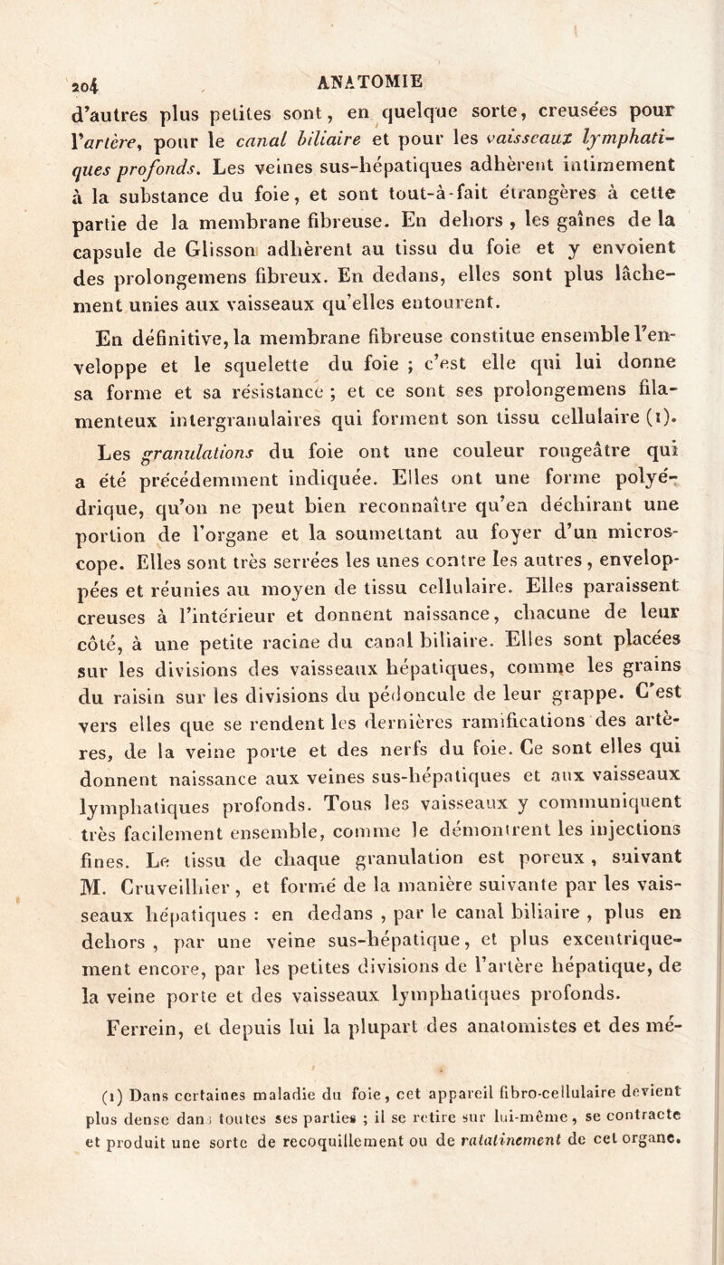 d’autres plus petites sont, en quelque sorte, creusëes pour Varlère^ pour le canal biliaire et pour les vaisseaux Ifmphati^ ques profonds. Les veines sus-hépatiques adhèrent intimement à la substance du foie, et sont tout-à-fait étrangères à cette partie de la membrane fibreuse. En dehors , les gaines de la capsule de Glisson adhèrent au tissu du foie et y envoient des prolongemens fibreux. En dedans, elles sont plus lâche- ment unies aux vaisseaux qu’elles entourent. En définitive, la membrane fibreuse constitue ensemble l’en- veloppe et le squelette du foie ; c’est elle qui lui donne sa forme et sa résistance ; et ce sont ses prolongemens fila- menteux inlergranulaires qui forment son tissu cellulaire (i). Les granulations du foie ont une couleur rougeâtre qui a été précédemment indiquée. Elles ont une forme polyé- drique, qu’on ne peut bien reconnaître qu’en déchirant une portion de l’organe et la soumettant au foyer d’un micros- cope. Elles sont très serrées les unes contre les autres, envelop- pées et réunies au moyen de tissu cellulaire. Elles paraissent creuses à l’intérieur et donnent naissance, chacune de leur côté, à une petite racine du canal biliaire. Elles sont placées sur les divisions des vaisseaux hépatiques, comnie les grains du raisin sur les divisions du pédoncule de leur grappe. G est vers elles que se rendent les dernières ramifications des artè- res, de la veine porte et des nerfs du foie. Ce sont elles qui donnent naissance aux veines sus-hepatiques et aux vaisseaux lymphatiques profonds. Tous les vaisseaux y communiquent très facilement ensemble, comme le démontrent les injections fines. Le tissu de chaque granulation est poreux, suivant M. Cruveilhier , et foriué de la manière suivante par les vais- seaux hépatiques : en dedans , par le canal biliaire , plus en dehors, par une veine sus-hépatique, et plus excentrique- ment encore, par les petites divisions de l’artère hépatique, de la veine porte et des vaisseaux lymphatiques profonds. Ferrein, et depuis lui la plupart des anatomistes et des mé- (i) Dans certaines maladie du foie, cet appareil fibro-cellulaire devient plus dense dan; toutes ses parties ; il se retire sur lui-même, se contracte et produit une sorte de recoquillement ou de raialinement de cet organe.