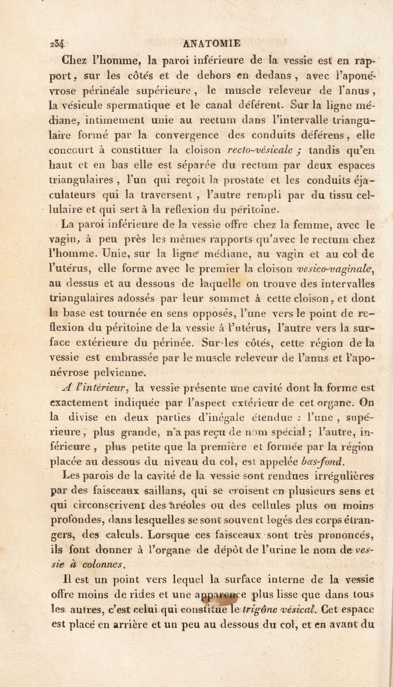 Chez rhonime, la paroi inferieure de la vessie est en rap- port. sur les côte's et de dehors en dedans, avec Fapone'- vrose périne'ale supérieure , le muscle releveur de l’anus, la vésicule spermatique et le canal déférent. Sur la ligne mé- diane, intimement unie au rectum dans l’intervalle triangu- laire formé par la convergence des conduits déférens, elle concourt à constituer la cloison recto-vésicale y tandis qu’en haut et en bas elle est séparée du rectum par deux espaces triangulaires , l’un qui reçoit la prostate et les conduits éja- culateurs qui la traversent , l’autre rempli par du tissu cel- lulaire et qui sert à la reflexion du péritoine. La paroi inférieure de la vessie offre chez la femme, avec le vagin, à peu près les mêmes rapports qu’avec le rectum chez l’homme. Unie, sur la ligne médiane, au vagin et au col de l’utérus, elle forme avec le premier la cloison vesico-vaginale^ au dessus et au dessous de laquelle on trouve des intervalles triangulaires adossés par leur sommet à cette cloison, et dont la base est tournée en sens opposés, l’une vers le point de ré- flexion du péritoine de la vessie à l’atérus, l’autre vers la sur- face extérieure du périnée. Surdes côtés, cette région de la vessie est embrassée par le muscle releveur de l’anus et l’apo- névrose pelvienne. A Vintérieur^ la vessie présente une cavité dont la forme est exactement indiquée par l’aspect extérieur de cet organe. On la divise en deux parties d’inégale étendue : l’une , supé- rieure,' plus grande, n’a pas reçu de nom spécial ; l’autre, in- férieure , plus petite que la première et formée par la région placée au dessous du niveau du col, est appelée bas-fond. Les parois de la cavité de la vessie sont rendues irrégulières par des faisceaux saillans, qui se croisent en plusieurs sens et qui circonscrivent des ïiréoles ou des cellules plus ou moins profondes, dans lesquelles se sont souvent logés des corps étran- gers, des calculs. Lorsque ces faisceaux sont très prononcés, ils font donner à l’organe de dépôt de l’urine le nom de ves- sie à colonnes. Il est un point vers lequel la surface interne de la vessie offre moins de rides et une plus lisse que dans tous les autres, c’est celui qui constitueTe trigéne vésical. Cet espace est placé en arrière et un peu au dessous du col, et en avant du