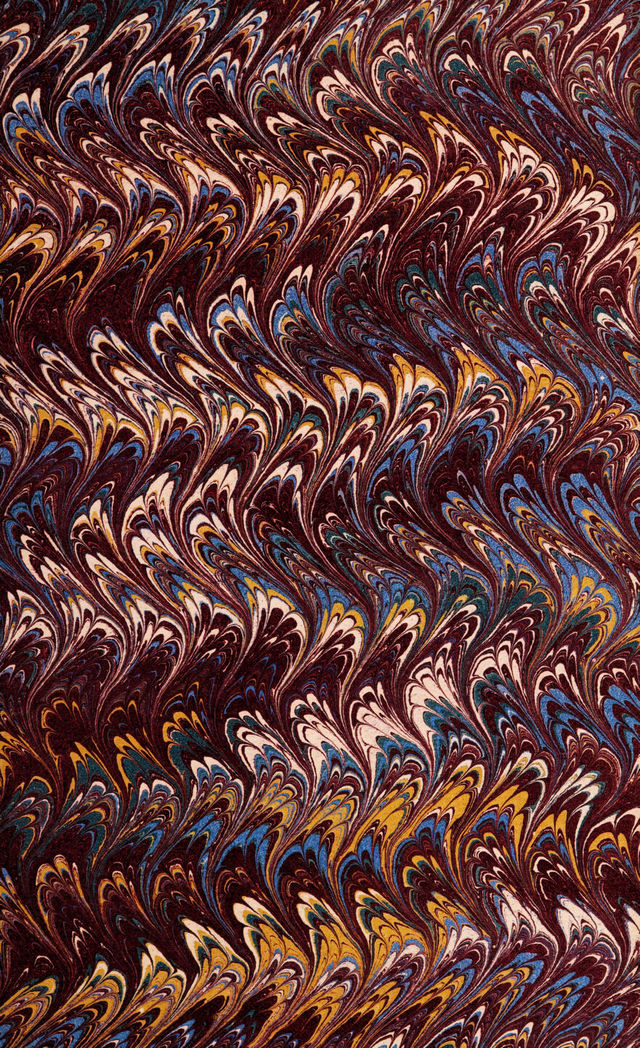 No text description is available for this image