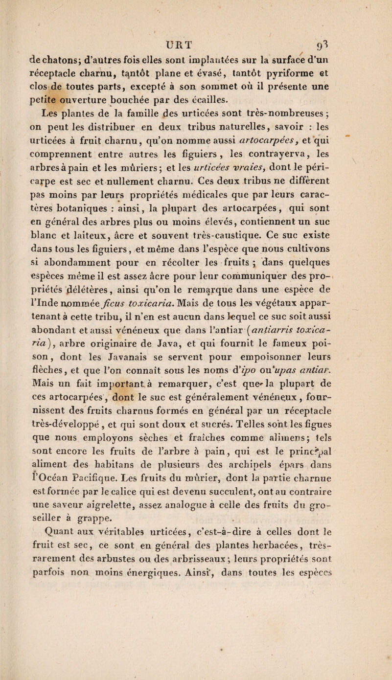 / TJ R T 9 3 de chatons; d’autres fois elles sont implantées sur la surface d’un réceptacle charnu, tantôt plane et évasé, tantôt pyriforme et clos de toutes parts, excepté à son sommet où il présente une petite ouverture bouchée par des écailles. Les plantes de la famille des urticées sont très-nombreuses ; on peut les distribuer en deux tribus naturelles, savoir : les urticées à fruit charnu, qu’on nomme aussi artocarpées , et qui comprennent entre autres les figuiers, les contrayerva, les arbres à pain et les mûriers; et les urticées vraies, dont le péri¬ carpe est sec et nullement charnu. Ces deux tribus ne diffèrent pas moins par leurs propriétés médicales que par leurs carac¬ tères botaniques : ainsi, la plupart des artocarpées, qui sont en général des arbres plus ou moins élevés, contiennent un suc blanc et laiteux, âcre et souvent très-caustique. Ce suc existe dans tous les figuiers, et même dans l’espèce que nous cultivons si abondamment pour en récolter les fruits ; dans quelques espèces même il est assez âcre pour leur communiquer des pro¬ priétés délétères, ainsi qu’on le remarque dans une espèce de l’Inde nommée ficus toxicaria. Mais de tous les végétaux appar¬ tenant à cette tribu, il n’en est aucun dans lequel ce suc soit aussi abondant et aussi vénéneux que dans l’antiar\antiarris toxica¬ ria), arbre originaire de Java, et qui fournit le fameux poi¬ son , dont les Javanais se servent pour empoisonner leurs flèches, et que l’on connaît sous les noms à’ipo ou'^^ antiar. Mais un fait important à remarquer, c’est que^la plupart de ces artocarpées, dont le suc est généralement vénéneux, four¬ nissent des fruits charnus formés en général par un réceptacle très-développé , et qui sont doux et sucrés. Telles sont les figues que nous employons sèches et fraîches comme aîimens; tels sont encore les fruits de l’arbre à pain, qui est le principal aliment des habitans de plusieurs des archipels épars dans l’Océan Pacifique. Les fruits du mûrier, dont la partie charnue est formée par le calice qui est devenu succulent, ont au contraire une saveur aigrelette, assez analogue à celle des fruits du gro- seiller à grappe. Quant aux véritables urticées, c’est-à-dire à celles dont le fruit est sec, ce sont en général des plantes herbacées, très- rarement des arbustes ou des arbrisseaux; leurs propriétés sont parfois non moins énergiques. Ainsi*, dans toutes les espèces