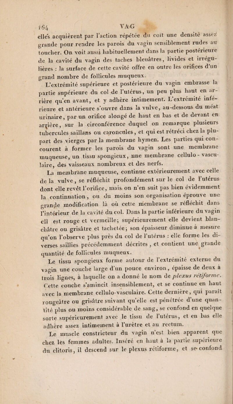 i 64 VA'G elles acquièrent par l’action répétée du coït une densité assez? grande pour rendre les parois du vagin sensiblement rudes au toucher. On voit aussi habituellement dans la partie postérieure de la cavité du vagin des taches bleuâtres, livides et irrégu¬ lières : la surface de celte cavité offre en outre les orifices d’un grand nombre de follicules muqueux. L’extrémité supérieure et postérieure du vagin embrasse la partie supérieure du col de l’utérus, un peu plus haut en ar¬ rière qu’en avant, et y adhère intimement. L’extrémité infé¬ rieure et antérieure s’ouvre dans la vulve, au-dessous du méat urinaire, par un orifice alonge de haut en bas et de devant en arrière, sur la circonférence duquel on remarque plusieurs tubercules saiilans ou caroncules , et qui est rétréci chez la plu¬ part des vierges par la membrane hymen. Les parties qui con¬ courent à former les parois du vagin sont une membrane muqueuse, un tissu spongieux, une membrane cellulo - vascm laire, des vaisseaux nombreux et des nerfs. La membrane muqueuse, continue extérieurement avec celle de la vulve , se réfléchit profondément sur le col de l’utérus dont elle revêt l’orifice, mais, on n’en suit pas bien évidemment la continuation, ou du moins son organisation éprouve une grande modification là où cette membrane se réfléchit dans l’intérieur de la cavité du col. Dans la partie inférieure du vagin ell est rouge et vermeille; supérieurement elle devient blan¬ châtre ou grisâtre et tachetée; son épaisseur diminue à mesure qu’on l’observe plus près du col de l’utérus : elle forme les di¬ verses saillies précédemment décrites , et contient une grande quantité de follicules muqueux. Le tissu spongieux forme autour de l’extrémité externe du vagin une couche large d’un pouce environ, épaisse de deux à trois lianes, à laquelle on a donné le nom de plexus rétiforme. C.ette couche s’amincit insensiblement, et se continue en haut avec la membrane cellulo-vasculaire. Cette dernière, qui paraît rougeâtre ou grisâtre suivant qu’elle est pénétrée d’une quan¬ tité plus ou moins considérable de sang, se confond en quelque sorte supérieurement avec le tissu de l’utérus, et en bas elle adhère assez intimement à l’urètre et au rectum. Le muscle constricteur du vagin n’est, bien apparent que chez, lés femmes adultes. Inséré en haut à la partie supérieure du clitoris, il descend sur le plexus rétiforme, et se-confond