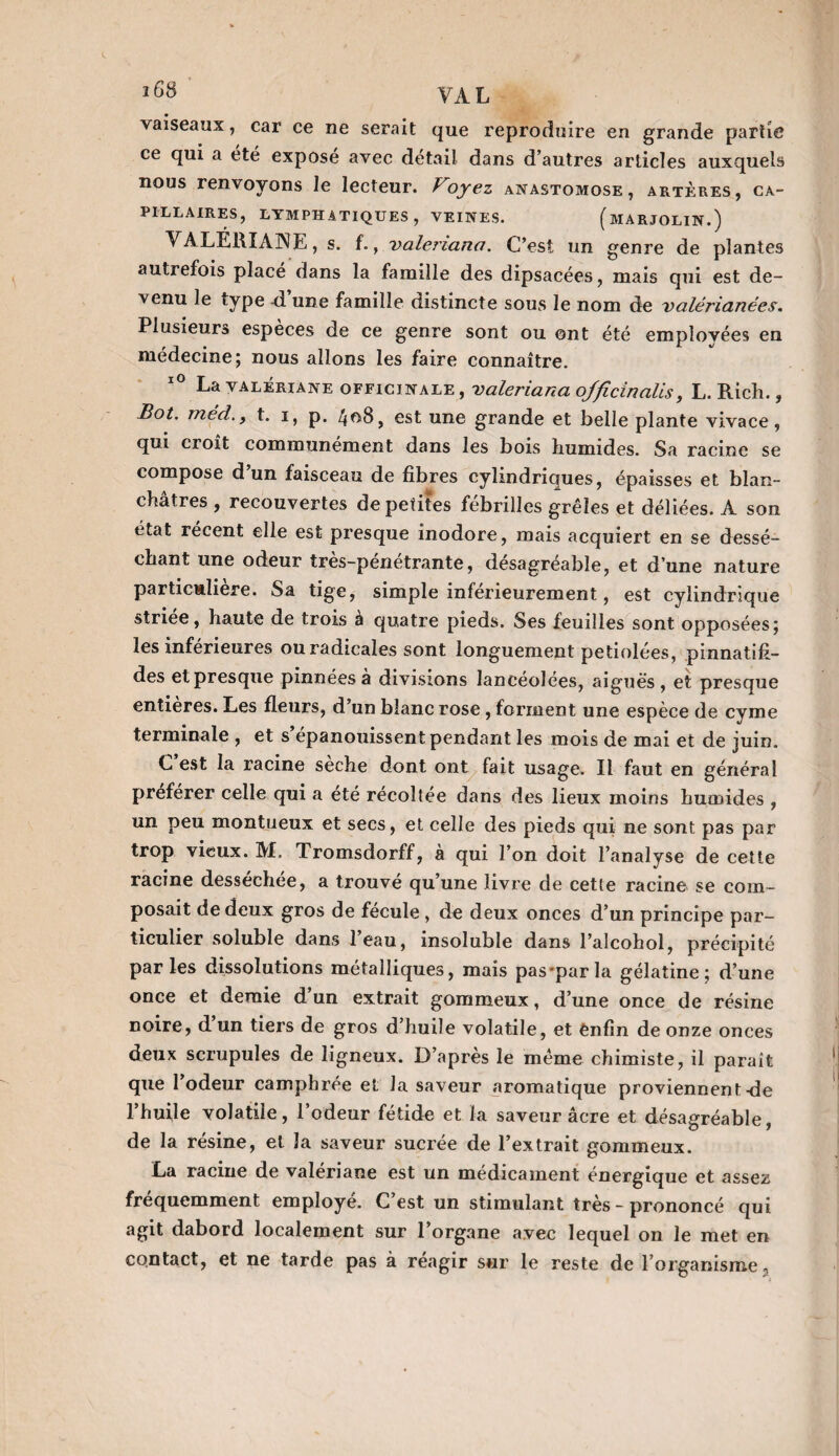 vaiseaux, car ce ne serait que reproduire en grande partie ce qui a été expose avec détail dans d’autres articles auxquels nous renvoyons le lecteur. Voyez anastomose, artères, ca¬ pillaires, LYMPHATIQUES, VEINES. (mARJOLIN.) VALÉRIANE, s. f., valeriana. C’est un genre de plantes autrefois placé dans la famille des dipsacées, mais qui est de¬ venu le type d une famille distincte sous le nom de valérianées. Plusieurs espèces de ce genre sont ou ont été employées en médecine; nous allons les faire connaître. La valériane officinale , valeriana ojflcinalis, L. Rich., Ilot, méd.f t. i, p. 4^8, est une grande et belle plante vivace, qui croît communément dans les bois humides. Sa racine se compose d’un faisceau de fibres cylindriques, épaisses et blan¬ châtres , recouvertes de petites febrilles grêles et déliées. A son état récent elle est presque inodore, mais acquiert en se dessé¬ chant une odeur tres-penetrante, désagréable, et d’une nature particulière. Sa tige, simple inférieurement, est cylindrique striée, haute de trois à quatre pieds. Ses feuilles sont opposées; les inferieures ou radicales sont longuement petiolées, pinnatifi- des et presque pinnéesà divisions lancéolées, aiguës, et presque entières. Les fleurs, d’un blanc rose , forment une espèce de cyme terminale , et s épanouissent pendant les mois de mai et de juin. C est la racine seche dont ont fait usage. Il faut en général préférer celle qui a été récoltée dans des lieux moins humides , un peu montueux et secs, et celle des pieds qui ne sont pas par trop vieux. M. Tromsdorff, à qui l’on doit l’analyse de cette racine desséchée, a trouvé qu’une livre de cette racine se com¬ posait de deux gros de fécule, de deux onces d’un principe par¬ ticulier soluble dans leau, insoluble dans l’alcohol, précipité parles dissolutions métalliques, mais pas par la gélatine; d’une once et demie d’un extrait gommeux, d’une once de résine noire, d un tiers de gros d’huile volatile, et ênfin de onze onces deux scrupules de ligneux. D’après le même chimiste, il paraît que 1 odeur camphrée et la saveur aromatique proviennent-de l’huile volatile, l’odeur fétide et la saveur âcre et désagréable, de la résine, et la saveur sucrée de l’extrait gommeux. La racine de valériane est un médicament énergique et assez fréquemment employé. C est un stimulant très - prononcé qui agit dabord localement sur l’organe avec lequel on le met en contact, et ne tarde pas à réagir sur le reste de l’organisme „