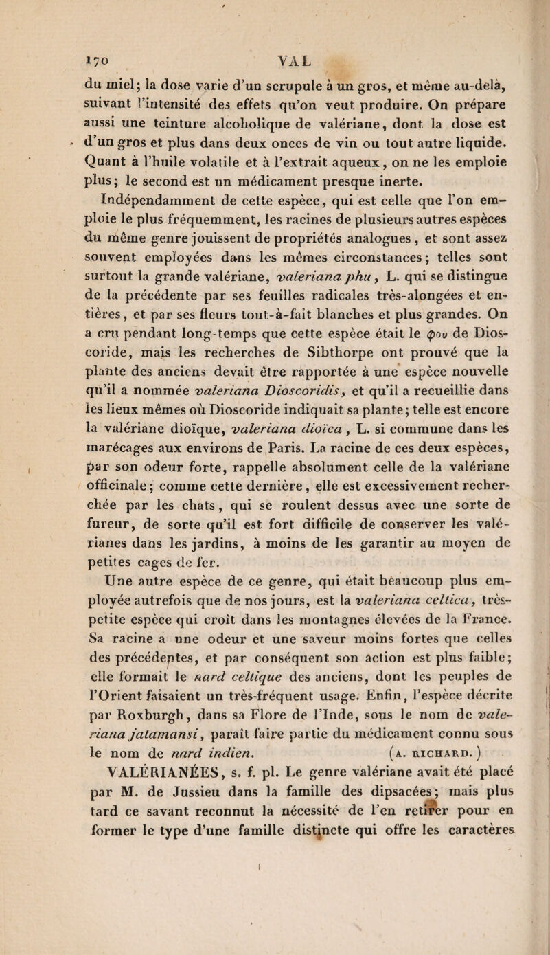 du miel; la dose varie d’un scrupule à un gros, et meme au-delà, suivant l’intensité des effets qu’on veut produire. On prépare aussi une teinture alcoliolique de valériane, dont la dose est d’un gros et plus dans deux onces de vin ou tout autre liquide. Quant à l’huile volatile et à l’extrait aqueux, on ne les emploie plus; le second est un médicament presque inerte. Indépendamment de cette espèce, qui est celle que l’on em¬ ploie le plus fréquemment, les racines de plusieurs autres espèces du même genre jouissent de propriétés analogues , et sont assez souvent employées dans les mêmes circonstances ; telles sont surtout la grande valériane, valeriana phu , L. qui se distingue de la précédente par ses feuilles radicales très-alongées et en¬ tières, et par ses fleurs tout-à-fait blanches et plus grandes. On a cru pendant long-temps que cette espèce était le <pou de Dios- coride, mais les recherches de Sibthorpe ont prouvé que la plante des anciens devait être rapportée à une espèce nouvelle qu’il a nommée valeriana Dioscoridis, et qu’il a recueillie dans les lieux mêmes où Dioscoride indiquait sa plante; telle est encore la valériane dioïque, valeriana dioïca, L. si commune dans les marécages aux environs de Paris. La racine de ces deux espèces, par son odeur forte, rappelle absolument celle de la valériane officinale ; comme cette dernière , elle est excessivement recher¬ chée par les chats, qui se roulent dessus avec une sorte de fureur, de sorte qu’il est fort difficile de conserver les valé¬ rianes dans les jardins, à moins de les garantir au moyen de petites cages de fer. Une autre espèce de ce genre, qui était beaucoup plus em¬ ployée autrefois que de nos jours, est la valeriana cellica, très- petite espèce qui croît dans les montagnes élevées de la France. Sa racine a une odeur et une saveur moins fortes que celles des précédeptes, et par conséquent son action est plus faible; elle formait le nard celtique des anciens, dont les peuples de l’Orient faisaient un très-fréquent usage. Enfin, l’espèce décrite par Roxburgh, dans sa Flore de l’Inde, sous le nom de vale¬ riana jatamansi, paraît faire partie du médicament connu sous le nom de nard indien. (a. richard.) VALÉRIANÉES, s. f. pl. Le genre valériane avait été placé par M. de Jussieu dans la famille des dipsacées; mais plus tard ce savant reconnut la nécessité de l’en retirer pour en former le type d’une famille distincte qui offre les caractères
