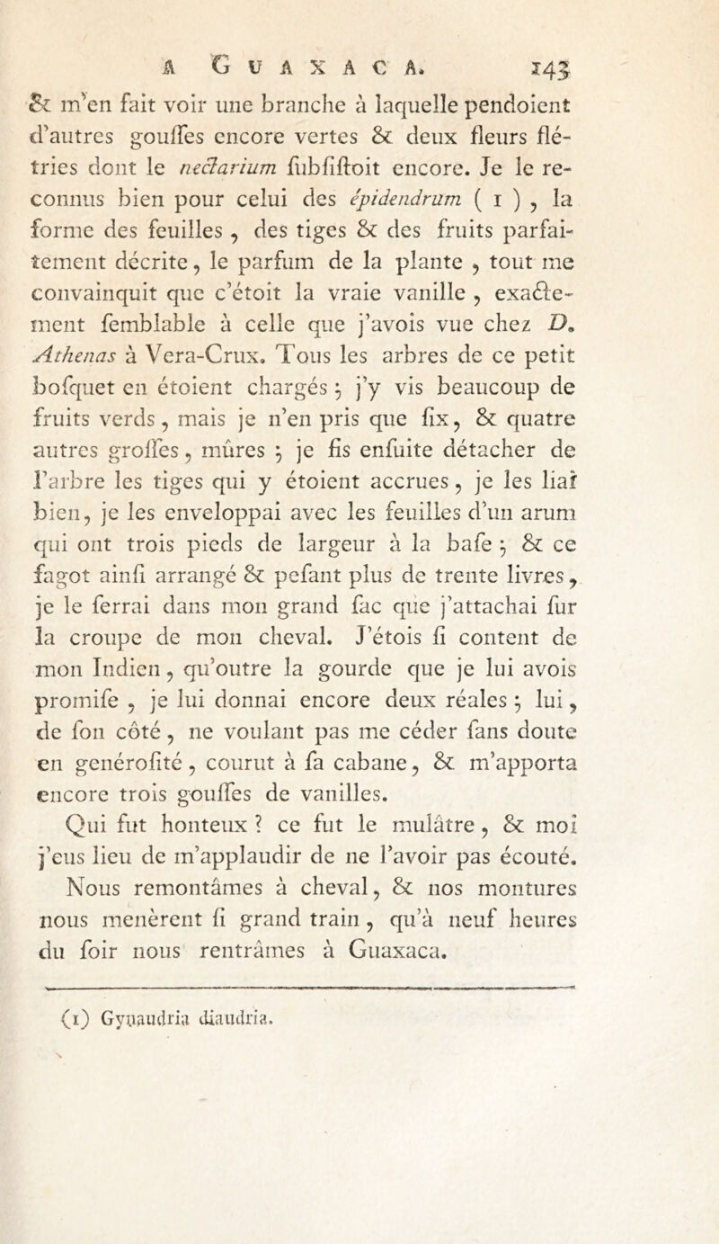 m'en fait voir une branche à laquelle pendoient d’autres goulTes encore vertes & deux fleurs flé- tries dont le tuclarium fubfiftoit encore. Je le re- connus bien pour celui des épidendrum ( i ) , la forme des feuilles, des tiges & des fruits parfai- tement décrite, le parfum de la plante , tout me convainquit que c’étoit la vraie vanille , exaéle- ment femblable à celle que j’avois vue chez !>• Athenas à Vera-Crux. Tous les arbres de ce petit bofquet en étoient chargés ^ j’y vis beaucoup de fruits verds 5 mais je n’en pris que fix, & quatre autres groifes ^ mûres ^ je fis enfuite détacher de l’arbre les tiges qui y étoient accrues ^ je les liai bien, je les enveloppai avec les feuilles d’un arum qui ont trois pieds de largeur à la bafe ^ & ce fagot ainfi arrangé & pefant plus de trente livres , je le ferrai dans mon grand fac que j’attachai fur la croupe de mon cheval. J’étois fi content de mon Indien, qu’outre la gourde que je lui avois promife , je lui donnai encore deux réales ^ lui, de fon côté, ne voulant pas me céder fans doute en genérofité , courut à fa cabane, & m’apporta encore trois gouffes de vanilles. Qui fut honteux ? ce fut le mulâtre, & moi i’eus lieu de m’applaudir de ne l’avoir pas écouté. Nous remontâmes à cheval, & nos montures nous menèrent fi grand train , qu’à neuf heures du foir nous rentrâmes à Guaxaca. (i) GyUfiiulriii diaiulria.