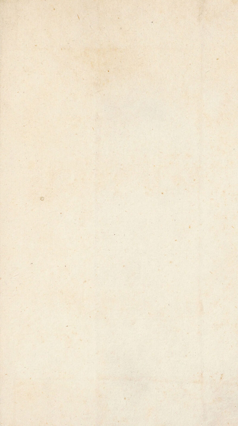 y'- ■' ' f* ‘ » N V < 'i- > 'K- À' •5: • y ■ /• ^ ' » % ✓ 4 V' IS V  J' 'v 'ïf / \