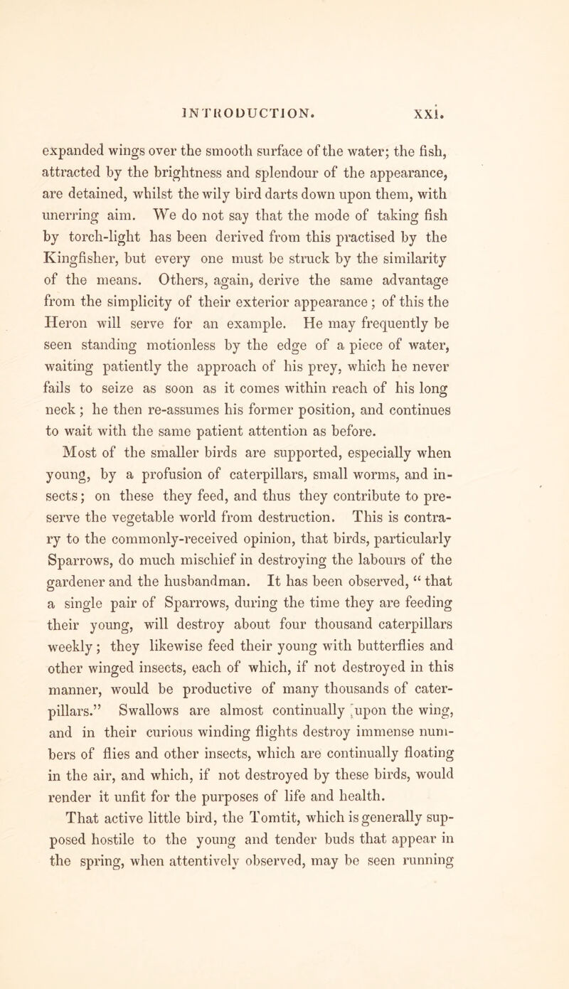 expanded wings over the smooth surface of the water; the fish, attracted by the brightness and splendour of the appearance, are detained, whilst the wily bird darts down upon them, with unerring aim. We do not say that the mode of taking fish by torch-light has been derived from this practised by the Kingfisher, but every one must be struck by the similarity of the means. Others, again, derive the same advantage from the simplicity of their exterior appearance ; of this the Heron will serve for an example. He may frequently be seen standing motionless by the edge of a piece of water, waiting patiently the approach of his prey, which he never fails to seize as soon as it comes within reach of his long neck; he then re-assumes his former position, and continues to wait with the same patient attention as before. Most of the smaller birds are supported, especially when young, by a profusion of caterpillars, small worms, and in- sects; on these they feed, and thus they contribute to pre- serve the vegetable world from destruction. This is contra- ry to the commonly-received opinion, that birds, particularly Sparrows, do much mischief in destroying the labours of the gardener and the husbandman. It has been observed, “ that a single pair of Sparrows, during the time they are feeding their young, will destroy about four thousand caterpillars weekly; they likewise feed their young with butterflies and other winged insects, each of which, if not destroyed in this manner, would be productive of many thousands of cater- pillars.” Swallows are almost continually 'upon the wing, and in their curious winding flights destroy immense num- bers of flies and other insects, which are continually floating in the air, and which, if not destroyed by these birds, would render it unfit for the purposes of life and health. That active little bird, the Tomtit, which is generally sup- posed hostile to the young and tender buds that appear in the spring, when attentively observed, may be seen running