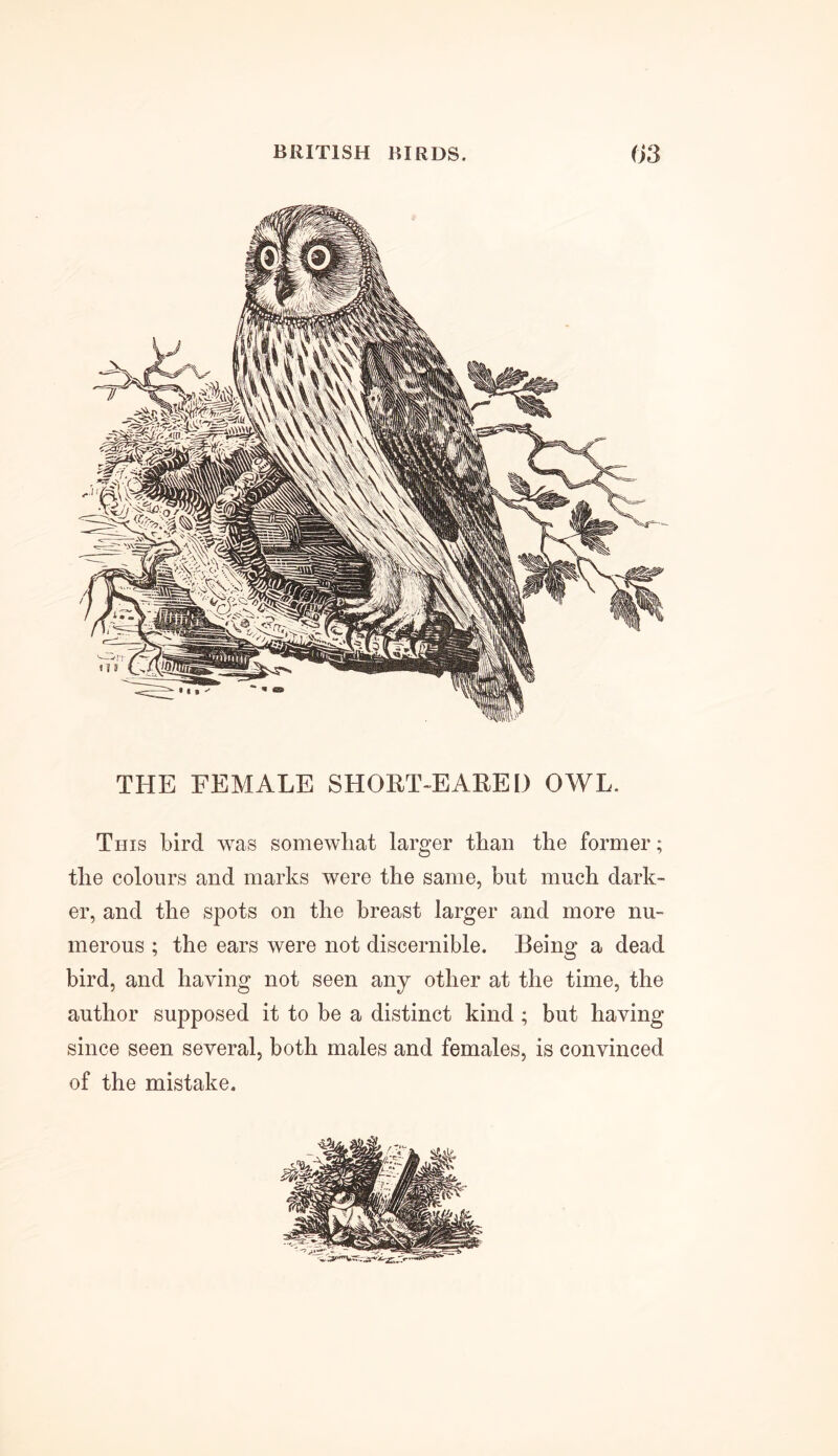 THE FEMALE SHORT-EARED OWL. This bird was somewhat larger than the former; the colours and marks were the same, but much dark- er, and the spots on the breast larger and more nu- merous ; the ears were not discernible. Being a dead bird, and having not seen any other at the time, the author supposed it to be a distinct kind; but having since seen several, both males and females, is convinced of the mistake.