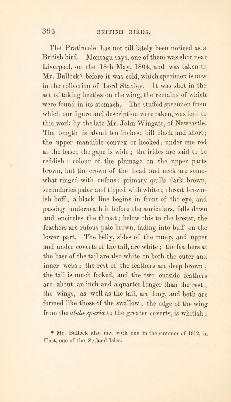 The Pratincole has not till lately been noticed as a British bird. Montagu says, one of them was shot near Liverpool, on the 18th May, 1804, and was taken to Mr. Bullock* before it was cold, which specimen is now in the collection of Lord Stanley. It was shot in the act of taking beetles on the wing, the remains of which were found in its stomach. The stuffed specimen from which our figure and description were taken, was lent to this work by the late Mr. John Wingate, of Newcastle. The length is about ten inches; bill black and short; the upper mandible convex or hooked; under one red at the base; the gape is wide ; the irides are said to be reddish : colour of the plumage on the upper parts brown, but the crown of the head and neck are some- what tinged with rufous: primary quills dark brown, secondaries paler and tipped with white ; throat brown- ish buff; a black line begins in front of the eye, and passing underneath it before the auriculars, falls down and encircles the throat; below this to the breast, the feathers are rufous pale brown, fading into buff on the lower part. The belly, sides of the rump, and upper and under coverts of the tail, are white ; the feathers at the base of the tail are also white on both the outer and inner webs ; the rest of the feathers are deep brown ; the tail is much forked, and the two outside feathers are about an inch and a quarter longer than the rest; the wings, as well as the tail, are long, and both are formed like those of the swallow ; the edge of the wing from the alula spuria to the greater coverts, is whitish ; * Mr. Bullock also met with one in the summer of 1812, in IJnst, one of the Zetland Isles.