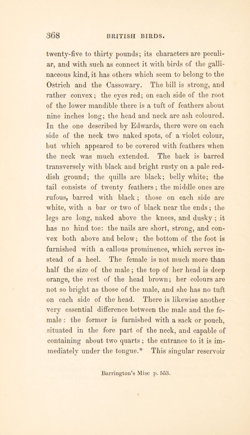 twenty-five to thirty pounds; its characters are peculi- ar, and with such as connect it with birds of the galli- naceous kind, it has others which seem to belong to the Ostrich and the Cassowary. The bill is strong, and rather convex; the eyes red; on each side of the root of the lower mandible there is a tuft of feathers about nine inches long; the head and neck are ash coloured. In the one described by Edwards, there were on each side of the neck two naked spots, of a violet colour, but which appeared to be covered with feathers when the neck was much extended. The back is barred transversely with black and bright rusty on a pale red- dish ground; the quills are black; belly white; the tail consists of twenty feathers; the middle ones are rufous, barred with black ; those on each side are white, with a bar or two of black near the ends; the legs are long, naked above the knees, and dusky ; it has no hind toe: the nails are short, strong, and con- vex both above and below; the bottom of the foot is furnished with a callous prominence, which serves in- stead of a heel. The female is not much more than half the size of the male; the top of her head is deep orange, the rest of the head brown; her colours are not so bright as those of the male, and she has no tuft on each side of the head. There is likewise another very essential difference between the male and the fe- male : the former is furnished with a sack or pouch, situated in the fore part of the neck, and capable of containing about two quarts ; the entrance to it is im- mediately under the tongue.* This singular reservoir Barrington’s Misc p. 553.