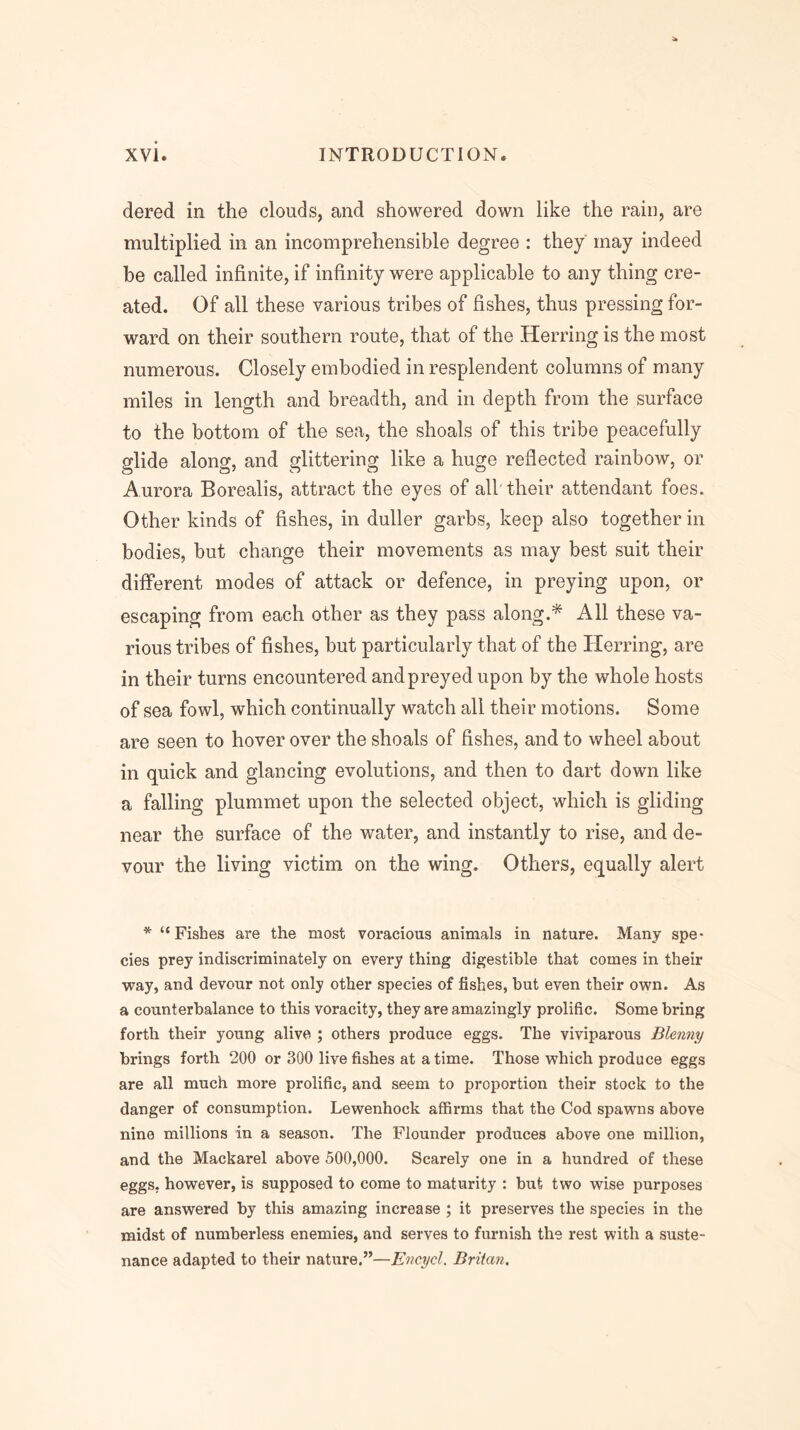 dered in the clouds, and showered down like the rain, are multiplied in an incomprehensible degree : they may indeed be called infinite, if infinity were applicable to any thing cre- ated. Of all these various tribes of fishes, thus pressing for- ward on their southern route, that of the Herring is the most numerous. Closely embodied in resplendent columns of many miles in length and breadth, and in depth from the surface to the bottom of the sea, the shoals of this tribe peacefully glide along, and glittering like a huge reflected rainbow, or Aurora Borealis, attract the eyes of all their attendant foes. Other kinds of fishes, in duller garbs, keep also together in bodies, hut change their movements as may best suit their different modes of attack or defence, in preying upon, or escaping from each other as they pass along.* All these va- rious tribes of fishes, hut particularly that of the Herring, are in their turns encountered and preyed upon by the whole hosts of sea fowl, which continually watch all their motions. Some are seen to hover over the shoals of fishes, and to wheel about in quick and glancing evolutions, and then to dart down like a falling plummet upon the selected object, which is gliding near the surface of the water, and instantly to rise, and de- vour the living victim on the wing. Others, equally alert * “Fishes are the most voracious animals in nature. Many spe- cies prey indiscriminately on every thing digestible that comes in their way, and devour not only other species of fishes, but even their own. As a counterbalance to this voracity, they are amazingly prolific. Some bring forth their young alive ; others produce eggs. The viviparous Blenny brings forth 200 or 300 live fishes at a time. Those which produce eggs are all much more prolific, and seem to proportion their stock to the danger of consumption. Lewenhock affirms that the Cod spawns above nine millions in a season. The Flounder produces above one million, and the Mackarel above 500,000. Scarely one in a hundred of these eggs, however, is supposed to come to maturity : but two wise purposes are answered by this amazing increase ; it preserves the species in the midst of numberless enemies, and serves to furnish the rest with a suste- nance adapted to their nature.”—E'ncycl. Briian.